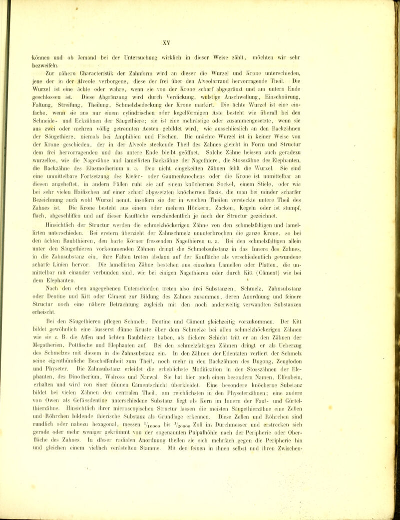 XY •können und ob Jemand bei der Untersuchung wirklich in dieser Weise zählt, möchten wir sehr bezweifeln. Zur nähern Characteristik der Zahnform wird an dieser die Wurzel und Krone unterschieden, jene der in der Alveole verborgene, diese der frei über den Alveolarrand hervorragende Theil. Die Wurzel ist eine ächte oder wahre, wenn sie von der Krone scharf abgegränzl und am untern Ende geschlossen ist. Diese Abgrenzung wird durch Verdickung, wulstige Anschwellung, Einschnürung, Faltung, Streifung, Theilung, Schmelzbedeckung der Krone markirt, Die ächte Wurzel ist eine ein- fache, wenn sie aus nur einem cylindrischen oder kegelförmigen Aste besteht wie überall bei den Schneide- und Eckzähnen der Säugethiere; sie ist eine mehrästige oder zusammengesetzte, wenn sie aus zwei oder mehren völlig getrennten Aesten gebildet wird, wie ausschlieslich an den Backzähnen der Säugethiere, niemals bei Amphibien und Fischen. Die unächte Wurzel ist in keiner Weise von der Krone geschieden, der in der Alveole steckende Theil des Zahnes gleicht in Form und Structur dem frei hervorragenden und das untere Ende bleibt geöffnet. Solche Zähne heissen auch geradezu wurzellos, wie die Nagezähne und Jamellirlen Backzähne der Nagethiere, die Stosszähne des Elephanten, die Backzähne des Elasmolherium u. a. Den nicht eingekeilten Zähnen fehlt die Wurzel. Sie sind eine unmittelbare Fortsetzung des Kiefer- oder Gaumenknochens oder die Krone ist unmittelbar an diesen angeheftet, in andern Fällen ruht sie auf einem knöchernen Sockel, einem Stiele, oder wie bei sehr vielen Haifischen auf einer scharf abgesetzten knöchernen Basis, die man bei minder scharfer Bezeichnung auch wohl Wurzel nennt, insofern sie der in weichen Theilen versteckte untere Theil des Zahnes ist. Die Krone besteht aus einem oder mehren Höckern, Zacken, Kegeln oder ist stumpf, flach, abgeschliffen und auf dieser Kaufläche verschiedentlich je nach der Structur gezeichnet. Hinsichtlich der Structur werden die schmelzhöckerigen Zähne von den schmelzfaltigen und lamel- lirten unterschieden. Bei erstem überzieht der Zahnschmelz ununterbrochen die ganze Krone, so bei den ächten Raubthieren, den harte Körner fressenden Nagethieren u. a. Bei den schmelzfaltigen allein unter den Säugethieren vorkommenden Zähnen dringt die Schmelzsubstanz in das Innere des Zahnes, in die Zahnsubstanz ein, ihre Falten treten alsdann auf der Kaufläche als verschiedentlich gewundene scharfe Linien hervor. Die lamellirlen Zähne bestehen aus einzelnen Lamellen oder Platten, die un- mittelbar mit einander verbunden sind, wie bei einigen Nagethieren oder durch Kitt (Cäment) wie bei dem Elephanten. Nach den eben angegebenen Unterschieden treten also drei Substanzen, Schmelz, Zahnsubstanz oder Dentine und Kilt oder Cäment zur Bildung des Zahnes zusammen, deren Anordnung und feinere Structur noch eine nähere Betrachtung zugleich mit den noch anderweitig verwandten Substanzen erheischt. Bei den Säugethieren pflegen Schmelz, Dentine und Cäment gleichzeitig vorzukommen. Der Kilt bildet gewöhnlich eine äussersl dünne Kruste über dem Schmelze bei allen schmelzhöckerigen Zähnen wie sie z. B. die Affen und ächten Raubthiere haben, als dickere Schicht tritt er an den Zähnen der Megalherien, Pollfische und Elephanten auf. Bei den schmelzfaltigen Zähnen dringt er als Ueberzug des Schmelzes mit diesem in die Zahnsubstanz ein. In den Zähnen der Edentaten verliert der Schmelz seine eigenthümliche Beschaffenheit zum Theil, noch mehr in den Backzähnen des Dugong, Zeuglodon und Physeler. Die Zahnsubstanz erleidet die erheblichste Modification in den Stosszähnen der Ele- phanten, des Dinotherium, Walross und Narwal. Sie hat hier auch einen besondern Namen, Elfenbein, erhalten und wird von einer dünnen Cämentschicht überkleidet. Eine besondere knöcherne Substanz bildet bei vielen Zähnen den centralen Theil, am reichlichsten in den Physeterzähnen; eine andere von Owen als Gefässdentine unterschiedene Substanz liegt als Kern im Innern der Faul- und Gürtel- thierzähne. Hinsichtlich ihrer microscopischen Structur lassen die meisten Säugethierzähne eine Zellen und Röhrchen bildende thierische Substanz als Grundlage erkennen. Diese Zellen und Röhrchen sind rundlich oder nahezu hexagonal, messen Vioooo bis V20000 Zoll im Durchmesser und erstrecken sich gerade oder mehr weniger gekrümmt von der sogenannten Pulpalhöhle nach der Peripherie oder Ober- fläche des Zahnes, ln dieser radialen Anorduung theilen sie sich mehrfach gegen die Peripherie hin und gleichen einem vielfach verästelten Stamme. Mit den feinen in ihnen selbst nnd ihren Zwischen-