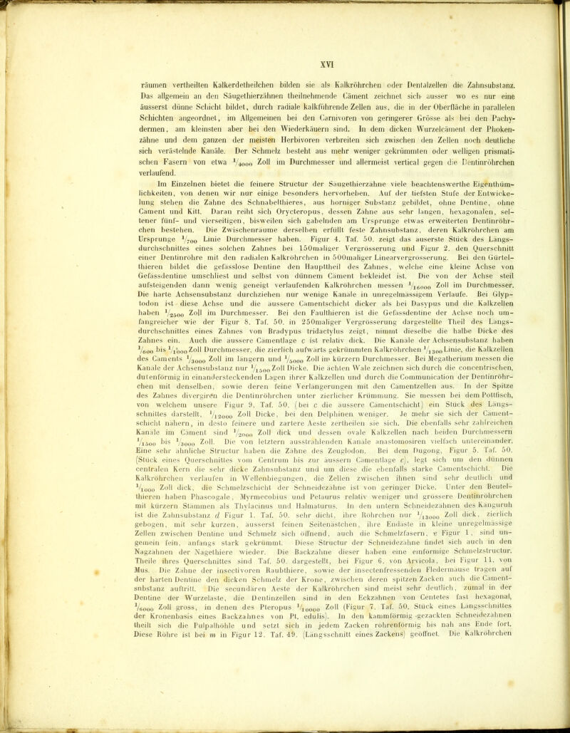 räumen vertheilten Kalkerdetheilchen bilden sie als Kalkröhrchen oder Dentalzellen die Zahnsubstanz. Das allgemein an den Säugethierzähnen theilnehmende Cäment zeichnet sich- ausser wo es nur eine äusserst dünne Schicht bildet, durch radiale kalkführende Zellen aus, die in der Oberfläche in parallelen Schichten angeordnet, im Allgemeinen bei den Carnivoren von geringerer Grösse als bei den Pachy- dermen, am kleinsten aber bei den Wiederkäuern sind. In dem dicken Wurzelcämenl der Phoken- zähne und dem ganzen der meisten Herbivoren verbreiten sich zwischen den Zellen noch deutliche sich verästelnde Kanäle. Der Schmelz besteht aus mehr weniger gekrümmten oder welligen prismati- schen Fasern von etwa V4000 Zoll im Durchmesser und allermeist vertical gegen die Dentinröhrchen verlaufend. Im Einzelnen bietet die feinere Structur der Säugethierzähne viele beachtenswerthe Eigenthüm- Jichkeiten, von denen wir nur einige besonders hervorheben. Auf der tiefsten Stufe der Entwicke- lung stehen die Zähne des Schnabelthieres, aus horniger Substanz gebildet, ohne Dentine, ohne Cäment und Kitt. Daran reiht sich Orycteropus, dessen Zähne aus sehr langen, hexagonalen, sel- tener fünf- und vierseitigen, bisweilen sich gabelnden am Ursprünge etwas erweiterten Dentinröhr- chen bestehen. Die Zwischenräume derselben erfüllt feste Zahnsubstanz, deren Kalkröhrchen am Ursprünge V700 Linie Durchmesser haben. Figur 4. Taf. 50. zeigt das äuserste Stück des Längs- durchschnittes eines solchen Zahnes bei 150maliger Vergrösserung und Figur 2. den Querschnitt einer Dentinröhre mit den radialen Kalkröhrchen in 500maliger Linearvergrösserung. Bei den Gürtel- thieren bildet die gefässlose Dentine den Haupttheil des Zahnes, welche eine kleine Achse von Gefässdentine umschliest und selbst von dünnem Cäment bekleidet ist. Die von der Achse steil aufsteigenden dann wenig geneigt verlaufenden Kalkröhrchen messen V16000 Zoll im Durchmesser. Die harte Achsensubstanz durchziehen nur wenige Kanäle in unregelmässigem Verlaufe. Bei Glyp- todon ist diese Achse und die äussere Cämentschicht dicker als bei Dasypus und die Kalkzellen haben y2ö00 Zoll im Durchmesser. Bei den Faulthieren ist die Gefässdentine der Achse noch um- fangreicher wie der Figur 8. Taf. 50. in 250maliger Vergrösserung dargestellte Theil des Längs- durchschnittes eines Zahnes von Bradypus tridactylus zeigt, nimmt dieselbe die halbe Dicke des Zahnes ein. Auch die äussere Cämentlage c ist relativ dick. Die Kanäle der Achsensubstanz haben Vöoo bis VphooZoll Durchmesser, die zierlich aufwärts gekrümmten Kalkröhrchen yi300Linie, die Kalkzellen des Cäments V3000 Zoll im langem und y5000 Zoll im kürzern Durchmesser. Bei Megatherium messen die Kanäle der Achsensubstanz nur Visoo Zoll Dicke. Die ächten Wale zeichnen sich durch die concentrischen, dutenförmig in einandersteckenden Lagen ihrer Kalkzellen und durch die Communication der Dentinröhr- chen mit denselben, sowie deren feine Verlängerungen mit den Cämentzellen aus. In der Spitze des Zahnes divergiren die Dentinröhrchen unter zierlicher Krümmung. Sie messen bei dem Pottfisch, von welchem unsere Figur 9. Taf. 50. (bei c die äussere Cämentschicht) ein Stück des Längs- schnittes darstellt, yi2000 Zoll Dicke, bei den Delphinen weniger. Je mehr sie sich der Cäment- schicht nähern, in desto feinere und zartere Aeste zertheilen sie sich. Die ebenfalls sehr zahlreichen Kanäle im Cäment sind y2000 Zoll dick und dessen ovale Kalkzellen nach beiden Durchmessern V1000 bis y3000 Zoll. Die von letztem ausstrahlenden Kanäle anastomosiren vielfach untereinander. Eine sehr ähnliche Structur haben die Zähne des Zeuglodon. Bei dem Dugong, Figur 5. Taf. 50. (Stück eines Querschnittes vom Centrum bis zur äussern Cämentlage c), legt sich um den dünnen centralen Kern die sehr dicke Zahnsubstanz und um diese die ebenfalls starke Cämentschicht. Die Kalkröhrchen verlaufen in Wellenbiegungen, die Zellen zwischen ihnen sind sehr deutlich und %ooo Zoll dick, die Schmelzschicht der Schneidezähne ist von geringer Dicke. Unter den Beutel- thieren haben Phascogale, Myrmecobius und Petaurus relativ weniger und grössere Dentinröhrchen mit kürzern Stämmen als Thylacinus und Halmaturus. In den untern Schneidezähnen des Känguruh ist die Zahnsubstanz cl Figur 1. Taf. 50. sehr dicht, ihre Röhrchen nur yi3ü0o Zoll dick, zierlich gebogen, mit sehr kurzen, äusserst feinen Seitenästchen, ihre Endäste in kleine unregelmässige Zellen zwischen Dentine und Schmelz sich öffnend, auch die Schmelzfasern, -e Figur 1, sind un- gemein fein, anfangs stark gekrümmt. Diese Structur der Schneidezähne findet sich auch in den Nagzähnen der Nagethiere wieder. Die Backzähne dieser haben eine einförmige Schmelzstructur. Theile ihres Querschnittes sind Taf. 50. dargestellt, bei Figur 6. von Arvicola, hei Figur 11. von Mus. Die Zähne der insectivoren Raubthiere, sowie der insectenfressenden Fledermäuse tragen auf der harten Dentine den dicken Schmelz der Krone, zwischen deren spitzen Zacken auch die Cäment- snbstanz auftritt. Die secundären Aeste der Kalkröhrchen sind meist sehr deutlich, zumal in der Dentine der Wurzeläste, die Oentinzellen sind in den Eckzähnen von Cenletes fast hexagonal, Voooo Zoll gross, in denen des Pteropus J/10ooo Zoll (Figur 7. Taf. 50. Stück eines Längsschnittes der Kronenbasis eines Backzahnes von Pt. edulis). In den kammförmig -gezackten Schneidezähnen theilt sich die Pulpalhöhle und setzt sich in jedem Zacken röhrenförmig bis nah ans Ende fort. Diese Röhre ist bei in in Figur 12. Taf. 49. (Längsschnitt eines Zackens) geöffnet. Die Kalkröhrchen