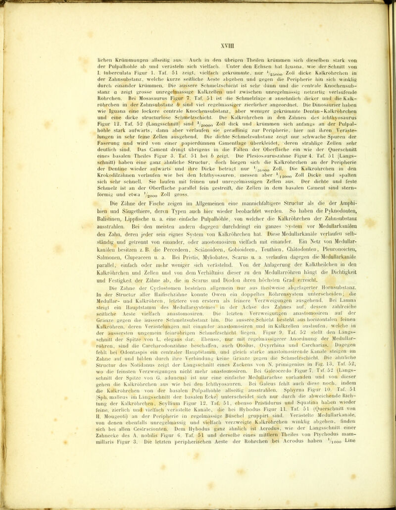 liehen Krümmungen allseitig aus. Auch in den übrigen Theilen krümmen sich dieselben stark von der Pulpalhöhle ab und verästeln sich vielfach. Unter den Echsen hat Iguana, wie der Schnitt von I. tuberculata Figur 1. Tat'. 51 zeigt, vielfach gekrümmte, nur V25000 Zoll dicke Kalkröhrchen in der Zahnsubstanz, welche kurze seitliche Aeste abgeben und gegen die Peripherie bin sich winklig durch einander krümmen. Die äussere Schmelzschicht ist sehr dünn und die centrale Knochensub- stanz a zeigt grosse unregelmässige Kalkzellen und zwischen unregelmässig netzartig verlaufende Röhrchen. Bei Mosasaurus Figur 7. Taf. 51 ist die Schmelzlage a ansehnlich dicker und die Kalk- röhrchen in der Zahnsubstanz b sind viel regelmässiger zierlicher angeordnet. Die Dinosaurier haben wie Iguana eine lockere centrale Knochensubstanz, aber weniger gekrümmte Dentin-Kalkröhrchen und eine dicke structurlose Schmelzschicht. Die Kalkröhrchen in den Zähnen des Ichthyosaurus Fig ur 12. Taf. 52 (Längsschnitt) sind V20000 Zoll dick und krümmen sich anfangs an der Pulpal- höhle stark aufwärts, dann aber verlaufen sie geradlinig zur Peripherie, hier mit ihren Veräste- lungen in sehr feine Zellen ausgehend. Die dichte Schmelzsubstanz zeigt nur schwache Spuren der Faserung und wird von einer papierdünnen Cämentlage überkleidet, deren strahlige Zeilen sehr deutlich sind. Das Cäment dringt übrigens in die Falten der Oberfläche ein wie der Querschnitt eines basalen Theiles Figur 3. Taf. 51 bei b zeigt. Die Plesiosauruszähne Figur 4. Taf. 51 (Längs- schnitt) haben eine ganz ähnliche Structur, doch biegen sich die Kalkröhrchen an der Peripherie der Dentine wieder aufwärts und ihre Dicke beträgt nur V26000 Zoll. Die Kalkröhrchen in den Krokodilzähnen verlaufen wie bei den Ichthyosauren, messen aber V12000 Zoll Dicke und spalten sich sehr schnell. Sie laufen mit feinen und unregelmässigen Zellen aus. Der dichte und feste Schmelz ist an der Oberfläche parallel fein gestreift, die Zellen in dem basalen Cäment sind stern- förmig und etwa '/20oo Zoll gross. Die Zähne der Fische zeigen im Allgemeinen eine mannichfaltigere Structur als die der Amphi- bien und Säugethiere, deren Typen auch hier wieder beobachtet werden. So haben die Pyknodonten, Balistinen, Lippfische u. a. eine einfache Pulpalhöhle, von welcher die Kalkröhrchen der Zahnsubstanz ausstrahlen. Bei den meisten andern dagegen durchdringt ein ganzes System vor Medullarkanälen den Zahn, deren jeder sein eignes System von Kalkröhrchen hat. Diese Medullarkanäle verlaufeu selb- ständig und getrennt von einander, oder anostomosiren vielfach mit einander. Ein Netz von Medullar- kanälen besitzen z. B. die Percedeen, Sciänoideen, Gobioideen, Teuthien, Chätodonten, Pleuronoicten, Salmonen, Clupeaceen u. a. Bei Pristis, Myliobates, Scarus u. a. verlaufen dagegen die Medullarkanäle parallel, einfach oder mehr weniger sich verästelnd. Von der Anlagerung der Kalktheilchen in den Kalkröhrchen und Zellen und von dem Verhältnis dieser zu den Medullarröhren hängt die Dichtigkeit und Festigkeit der Zähne ab, die in Scarus und Diodon ihren höchsten Grad erreicht. Die Zähne der Cyclostomen bestehen allgemein nur aus theilweise abgelagerter Hornsubstanz. In der Structur aller Haifischzährae konnte Owen ein doppeltes Röhrensystem unterscheiden; die Medullär- und Kalkröhren, letztere von erstem als feinere Verzweigungen ausgehend. Bei Lamna steigt ein Hauptstamm des Medullarsystemes in der Achse des Zahnes auf, dessen zahlreiche seitliche Aeste vielfach anastomosiren. Die letzten Verzweigungen anastomosiren auf der Gränze gegen die äussere Schmelzsubstanz hin. Die äussere Schicht besteht aus horizontalen feinen Kalkröhren, deren Verästelungen mit einander anastomosiren und in Kalkzellen auslaufen, welche in der äussersten ungemein feinröhrigen Schmelzschicht liegen. Figur 9. Taf. 52 stellt den Längs- schnitt der Spitze von L. elegans dar. Ebenso, nur mit regelmäßigerer Anordnung der Medullar- röhren, sind die Carcharodonzähne beschaffen, auch Otodus, Oxyrrhina und Carcharias. Dagegen fehlt bei Odontaspis ein centraler Hauptstamm, und gleich starke anastomosirende Kanäle steigen im Zahne auf und bilden durch ihre Verbindung keine Gränze gegen die Schmelzschicht. Die ähnliche Structur des Notidanus zeigt der Längsschnitt eines Zackens von N. primigenius in Fig. 13. Tat. 52, wo die feinsten Verzweigungen nicht mehr anastomosiren. Bei Galeocerdo Figur 7. Taf. 52 (Längs- schnitt der Spitze von G. aduncus) ist nur eine einfache Medullarachse vorhanden und von dieser gehen die Kalkröhrchen aus wie bei den Ichthyosauren. Bei Galeus fehlt auch diese noch, indem die Kaikröhrchen von der basalen Pulpalhöhle allseitig ausstrahlen. Sphyrna Figur 10. Taf. 51 (Sph. malleus im Längsschnitt der basalen Ecke) unterscheidet sich nur durch die abweichende Rich- tung der Kalkröhrchen, Scyllium Figur 12. Taf. 51, ebenso Pristidurus und Squatina haben wieder feine, zierlich und vielfach verästelte Kanäle, die bei Hybodus Figur 11. Taf. 51 (Querschnitt von H. Mougeoti) an der Peripherie in regelmässige Büschel gruppirt sind. Verästelte Medullarkanäle, von denen ebenfalls unregelmässig und vielfach verzweigte Kalkröhrchen winklig abgehen, linden sich bei allen Gestracionlen. Dem Hybodus ganz ähnlich ist Acrodus, wie der Längsschnitt einer Zahnecke des A. nobilis Figur 6. Taf. 51 und derselbe eines mittlern Theiles von Ptychodus mam- millaris Figur 3. Die letzten peripherischen Aeste der Röhrchen bei Acrodus haben ’/iooo Line