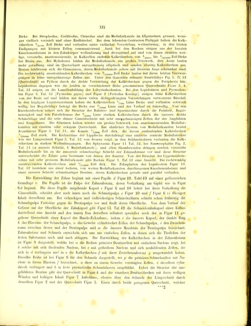 Dicke. Bei Strophodus, Cochliodus, Ctenodus sind die Medullarkanale im Allgemeinen grösser, weni- ger vielfach verästelt und ohne Endbüschel. Bei dem lebenden Cestracion Philippii haben die Kalk- röhrchen Vsnoo Zoll Dicke und verlaufen unter vielfacher Verästelung wellenförmig, in den letzten Endigungen mit kleinen Zellen communicirend. Auch bei den Rochen steigen aus der basalen Knochensubstanz in den Zahnkörper wellenförmig und divergirend auf und von ihnen strahlen wel- lige, verästelte, anastomosirende, in Kalkzellen endende Kalkröhrchen von Yiooo bis 1/37ooo! Zoll Dicke bei Rhina aus. Bei Myliobates bilden die Medullarkanale ein grobes Netzwerk, ihre Aeste laufen mehr geradlinig, sind im Querschnitt unregelmässig elliptisch und senden allseitig Kalkröhrchen aus. Hieran schliessen sich die Chimärinen, deren Medullarkanale schon mit blossem Auge erkennbar sind. Die rechtwinklig ausstrahlenden Kalkröhrchen von V12000 Zoll Dicke laufen mit ihren letzten Verzwei- gungen in feine unregelmässige Zellen aus. Unter den Ganoiden erinnert Saurichthys Fig. 1. Tf. 52 (Querschnitt) an Python durch die dichte Verästelung der Kalkröhrchen gegen die Peripherie hin; Lepidosteus dagegen wie die beiden in verschiedener Höhe genommenen Querschnitte Figur 3. 4. Taf. 52 zeigen, an die Lamellenbildung der Labyrinthodonten. Bei den Lepidotinen und Pycnodon- ten Figur 6. Taf. 52 (Pycnodus gigas) und Figur 2 (Periodus Koenigi) steigen feine Kalkröhrchen von der Basis auf und bilden mit ihren vielen dichtgedrängten Verästelungen verworrene Büschel, ln den kugligen Lepidotuszähnen haben die Kalkröhrchen ’/zoo Linie Dicke und verlaufen schwach wellig, bei Megalichthys beträgt die Dicke nur J/1500 Linie und der Verlauf ist feinwellig. Von den Knochenfischen nähert sich die Structur der Balistes- und Sparuszähne durch die Feinheit, Regel- mässigkeit und den Parallelismus der V1000 Linie starken Kalkröhrchen durch die äussere dichte Schmelzlage und die sehr dünne Cämentschicht mit sehr unregelmässigen Zellen der der Amphibien und Säugethiere. Die Silurinen haben wieder ein grobes Netzwerk von anastomosirenden Medullar- kanälen mit rundem oder eckigem Querschnitt. Ein ähnliches System von Medullarkanälen besitzt Acanthurus Figur 8. Taf. 51, die Kanäle yi200 Zoll dick, die davon auslaufenden Kalkröhrchen V25000 Zoll stark. Die Kieferzähne der Lippfische durchdringt eine einfache centrale Medullarröhre wie der Längsschnitt Figur 5. Taf. 52 von Searus zeigt, in den Schlundzähnen verlaufen die Kalk- röhrchen in starken Wellenbiegungen. Bei Sphyraena Figur 11 Taf. 52, bei Saunocephalus Fig. 2. Taf. 51 (a äussere Schicht, b Medullarkanale), und allen Skomberoiden dringen zierlich verästelte Medullarkanale bis an die äusserste schmelzartige Schicht der Zahnsubstanz vor und diese Structur unterscheidet die Zähne ganz bestimmt von denen der Saurier. Von der Structur der Cyprinoideen- zähne mit sehr grossem Medullarkanale gibt Barbus Figur 8. Taf. 52 eine Ansicht. Die rechtwinklig ausstrahlenden Kalkröhrchen sind yi6000 Zoll dick. Die Zahnplatten des Lepidosiren Figur 10. Taf. 52 bestehen aus einer lockern, von weiten Medullarkanälen durchzogenen Knochensubstanz und einer äussern Schicht schmelzartiger Dentine, deren Kalkröhrchen gerade und parallel verlaufen. Die Entwicklung der Zähne beginnt mit einer Papille d Figur 10. Tafel 49 auf einer gefässreichen Grundlage v. Die Papille ist die Pulpa der Zahnsubstanz, deren Verkalkung am Gipfel wie in Figur 6 d beginnt. Die diese Papille umgebende Kapsel c Figur 6 und 10 liefert bei ihrer Verkalkung die Cämenthülle, scheidet aber nach innen noch die Schmelzpulpa e Figur 10 und f Figur 6 (t flüssiger Inhalt derselben) aus. Bei vielzackigen und vielhöckerigen Schmelzzähnen schiebt schon frühzeitig die Schmelzpulpa Fortsätze gegen die Dentinpulpa vor und theilt deren Oberfläche. Von dem Verlauf der Gelasse auf der Oberfläche der Zahnkapsel gibt Figur 13. Taf. 49 die Schneidezahnkapsel eines Kalbes darstellend eine Ansicht und den innern Bau derselben erläutert specieller noch der in Figur 11 ge- gebene Querschnitt einer Kapsel des llunde-Eckzahnes, indem c die äussere Kapsel, der dunkle Ring b das Blastema der Schmelzpulpa, a das Gewebe cylindrischer Zellen der Schmelzpulpa, i den Zwischen- raum zwischen dieser und der Dentinpulpa und m die äussere Membran der Dentinpulpa bezeichnet. Zahnsubslanz und Schmelz entwickeln sich nun aus einfachen Zellen, in denen sich die Theilchen der festen Substanzen nach und nach ablagern. Die Entwicklung der Kalkröhrchen in der Zahnsubslanz ist Figur 9 dargestellt, welche bei a die Reihen primärer Dentinzellen mit einfachem Nucleus zeigt, bei b solche mit sich theilenden Nucleus, bei c mit getheiltem Nucleus und sich neubildenden Zellen, die sich in d verlängern und in e die Kalkröhrchen f mit ihrer Zwischensubstanz g umgewandelt haben. Dieselbe Reihe ist bei Figur 8 für den Schmelz dargestellt, wo p die primären Schmelzzellen mit Nu- cleus in ihrem Blastem f bezeichnet, a diese zu einem Gewebe vereinigten Zellen, c dieselben cylin- drisch verlängert und b in feste prismatische Schmelzfasern ausgebildet, lieber die Structur der aus- gebildeten Dentine gibt der Querschnitt in Figur 4 und die einzelnen Dentinröhrchen mit ihren welligen Wänden und kalkigen Inhalt Figur 7 Aufschluss, ebenso über den Schmelz der Längsschnitt durch denselben Figur 2 und der Querschnitt Figur 5. Einen durch beide gezogenen Querschnitt, welcher ** * O