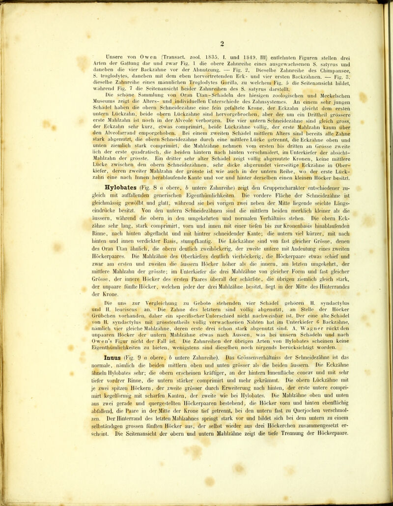 Unsere von Owen (Transact. zool. 1835. I. und 1849. III) entlehnten Figuren stellen drei Arten der Gattung dar und zwar Fig. 1 die obere Zahnreihe eines ausgewachsenen S. satyrus und daneben die vier Backzähne vor der Abnutzung. — Fig. 2. Dieselbe Zahnreihe des Chimpansee, S. Iroglodytes, daneben mit dem eben hervortretenden Eck- und vier ersten Backzähnen. — Fig. 3. dieselbe Zahnreihe eines männlichen Iroglodytes Gorilla, zu welchem Fig. 5 die Seitenansicht bildet, während Fig. 7 die Seitenansicht beider Zahnreihen des S. satyrus darstellt. Die schöne Sammlung von Oran Utan-Schädeln des hiesigen zoologischen und Meckelschen Museums zeigt die Alters- und individuellen Unterschiede des Zahnsystemes. An einem sehr jungen Schädel haben die obern Schneidezähne eine fein gefaltete Krone, der Eckzahn gleicht dem ersten untern Lückzahn, beide obern Lückzähne sind hervorgebrochen, aber der um ein Drittheil grössere erste Mahlzahn ist noch in der Alveole verborgen. Die vier untern Schneidezähne sind gleich gross, der Eckzahn sehr kurz, etwas comprimirt, beide Lückzähne völlig, der erste Mahlzahn kaum über den Alveolarrand emporgehoben. Bei einem zweiten Schädel mittlern Alters sind bereits alle Zähne stark abgenutzt, die obern Schneidezähne durch eine mittlere Lücke getrennt, die Eckzähne oben und unten ziemlich stark comprimirt, die Mahlzähne nehmen vom ersten bis dritten an Grösse zweite iich der erste quadratisch, die beiden hintern nach hinten verschmälert, im Unterkiefer der absicht- Mahlzahn der grösste. Ein dritter sehr alter Schädel zeigt völlig abgenutzte Kronen, keine mittlere Lücke zwischen den obern Schneidezähnen, sehr dicke abgerundet vierseitige Eckzähne in Ober- kiefer, deren zweiter Mahlzahn der grösste ist wie auch in der untern Reihe, wo der erste Lück- zahn eine nach Innen herablaufende Kante und vor und hinter derselben einen kleinen Höcker besitzt. Hylobates (Fig. 8 a obere, b untere Zahnreihe) zeigt den Gruppencharakter entschiedener zu- gleich mit auffallenden generischen Eigenthümlichkeiten. Die vordere Fläche der Schneidezähne ist gleichmässig gewölbt und glatt, während sie hei vorigen zwei neben der Mitte liegende seichte Längs- eindrücke besitzt. Von den untern Schneidezähnen sind die mittlern beiden merklich kleiner als die äussern, während die obern in den umgekehrten und normalen Verhältniss stehen. Die obern Eck- zähne sehr lang, stark comprimirt, vorn und innen mit einer tiefen bis zur Kronenbasis hinablaufenden Rinne, nach hinten abgeflacht und mit hintrer schneidender Kante; die untern viel kürzer, mit nach hinten und innen verdickter Basis, stumpfkantig. Die Lückzähne sind von fast gleicher Grösse, denen des Oran Utan ähnlich, die obern deutlich zweihöckerig, der zweite untere mit Andeutung eines zweiten Höckerpaares. Die Mahlzähne des Oberkiefers deutlich vierhöckerig, die Höckerpaare etwas schief und zwar am ersten und zweiten die äussern Höcker höher als die innern, am letzten umgekehrt, der mittlere Mahlzahn der grösste; im Unterkiefer die drei Mahlzähne von gleicher Form und fast gleicher Grösse, der innere Höcker des ersten Paares überall der schärfste, die übrigen ziemlich gleich stark, der unpaare fünfte Höcker, welchen jeder der drei Mahlzähne besitzt, liegt in der Mitte des Hinterrandes der Krone. Die uns zur Vergleichung zu Geboto stehenden vier Schädel gehören H. syndactylus und H. leuciscus an. Die Zähne des letztem sind völlig abgenutzt, an Stelle der Höcker Grübchen vorhanden, daher ein specifischer Unterschied nicht nachweisbar ist. Der eine alte Schädel von H. syndactylus mit grösstentheils völlig verwachsenen Nähten hat im Unterkiefer 6 Backzähne, nämlich vier gleiche Mahlzähne, deren erste drei schon stark abgenutzt sind. A. Wagner rückt den unpaaren Höcker der untern Mablzähne etwas nach Aussen, was bei unsern Schädeln und nach Owens Figur nicht der Fall ist. Die Zahnreihen der übrigen Arten von Hylobates scheinen keine Eigenthümlichkeiten zu bieten, wenigstens sind dieselben noch nirgends berücksichtigt worden. Inaus (Fig. 9 a obere, b untere Zahnreihe). Das Grössenverhältniss der Schneidezähne ist das normale, nämlich die beiden mittlern oben und unten grösser als die beiden äussern. Die Eckzähne ähneln Hylobates sehr; die obern erscheinen kräftiger, an der hintern Innenfläche concav und mit sehr tiefer vordrer Rinne, die untern stärker comprimirt und mehr gekrümmt. Die obern Lückzähne mit je zwei spitzen Höckern, der zweite grösser durch Erweiterung nach hinten, der erste untere compri- mirt kegelförmig mit scharfen Kanten, der zweite wie hei Hylobates. Die Mahlzähne oben und unten aus zwei gerade und quergestellten Höckerpaaren bestehend; die Höcker vorn und hinten ehenflächig abfallend, die Paare in der Mitte der Krone tief getrennt, hei den untern fast zu Querjochen verschmol- zen. Der Hinterrand des letzten Mahlzahnes springt stark vor und bildet sich bei dem untern zu einem selbständigen grossen fünften Höcker aus, der selbst wieder aus drei Ilöckerchen zusammengesetzt er- scheint. Die Seitenansicht der obern und untern Mablzähne zeigt die tiefe Trennung der Höckerpaare.