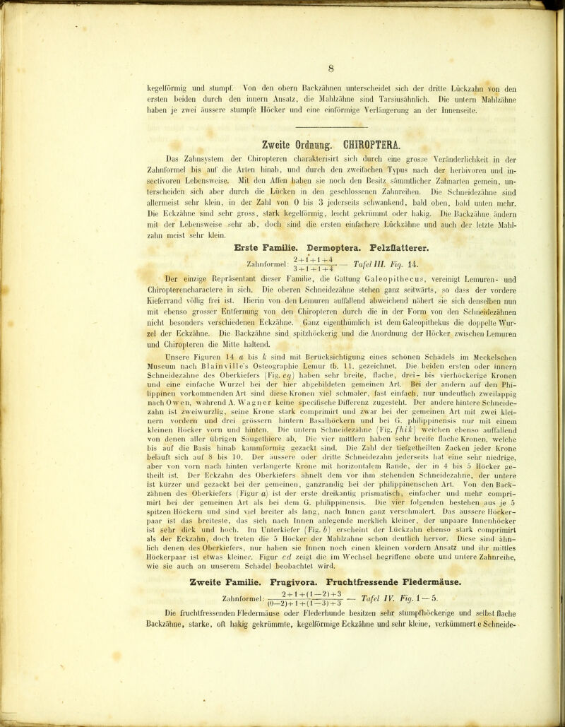 kegelförmig und stumpf. Von den obern Backzähnen unterscheidet sich der dritte Lüekzahn von den ersten beiden durcli den innern Ansatz, die Mahlzähne sind Tarsiusähnlich. Die untern Mahlzähne haben je zwei äussere stumpfe Höcker und eine einförmige Verlängerung an der Innenseite. Zweite Ordnung. CIIIROFTERA. Das Zahnsystem der Chiropteren charakterisirt sich durch eine grosse Veränderlichkeit in der Zahnformel bis auf die Arten hinab, und durch den zweifachen Typus nach der herbivoren und in- sectivoren Lebensweise. Mit den Affen haben sie noch den Besitz sämmtlicher Zahnarten gemein, un- terscheiden sich aber durcli die Lücken in den geschlossenen Zahnreihen. Die Schneidezähne sind allermeist sehr klein, in der Zahl von 0 bis 3 jederseits schwankend, bald oben, bald unten mehr. Die Eckzähne sind sehr gross, stark kegelförmig, leicht gekrümmt oder hakig. Die Backzähne ändern mit der Lebensweise sehr ab, doch sind die ersten einfachere Lückzähne und auch der letzte Mahl- zahn meist sehr klein. Erste Familie. Dermoptera. Pelzflatterer. Zahnformel: Tafel III. Fig. 14. Der einzige Repräsentant dieser Familie, die Gattung Galeopithecus, vereinigt Lemuren- und Chiroplerencharactere in sich. Die oberen Schneidezähne stehen ganz seitwärts, so dass der vordere Kieferrand völlig frei ist. Hierin von den Lemuren auffallend abweichend nähert sie sich denselben nun mit ebenso grosser Entfernung von den Chiropteren durch die in der Form von den Schneidezähnen nicht besonders verschiedenen Eckzähne. Ganz eigenlhümlich ist dem Galeopithekus die doppelte Wur- zel der Eckzähne. Die Backzähne sind spitzhöckerig und die Anordnung der Höcker zwischen Lemuren und Chiropteren die Mitte haltend. Unsere Figuren 14 a bis k sind mit Berücksichtigung eines schonen Schädels im Meckelschen Museum nach Blainville’s Osteographie Lemur tb. 11. gezeichnet. Die. beiden ersten oder innern Schneidezähne des Oberkiefers (Fig. eg) haben sehr breite, flache, drei- bis vierhöckerige Kronen und eine einfache Wurzel bei der hier abgebildeten gemeinen Art. Bei der andern auf den Phi- lippinen vorkommenden Art sind diese Kronen viel schmäler, fast einfach, nur undeutlich zweilappig nach Owen, während A. Wagp er keine specifische Differenz zugesteht. Der andere hintere Schneide- zahn ist zweiwurzlig, seine Krone stark comprimirt und zwar bei der gemeinen Art mit zwei klei- nern vordem und drei grossem hintern Basalhöckern und bei G. philippinensis nur mit einem kleinen Höcker vorn und hinten. Die untern Schneidezähne (Fig. fhik) weichen ebenso auffallend von denen aller übrigen Säugethiere ab. Die vier mittlern haben sehr breite flache Kronen, welche bis auf die Basis hinab kammförmig gezackt sind. Die Zahl der tiefgetheilten Zacken jeder Krone beläuft sich auf S bis 10. Der äussere oder dritte Schneidezahn jederseits hat eine sehr niedrige, aber von vom nach hinten verlängerte Krone mit horizontalem Rande, der in 4 bis 5 Höcker ge- theilt ist. Der Eckzahn des Oberkiefers ähnelt dem vor ihm stehenden Schneidezahne, der untere ist kürzer und gezackt bei der gemeinen, ganzrandig hei der philippinenschen Art. Von den Back- zähnen des Oberkiefers (Figur a) ist der erste dreikantig prismatisch, einfacher und mehr compri- mirt bei der gemeinen Art als bei dem G. philippinensis. Die vier folgenden bestehen aus je 5 spitzen Höckern und sind viel breiter als lang, nach Innen ganz verschmälert. Das äussere Höcker- paar ist das breiteste, das sich nach Innen anlegende merklich kleiner, der unpaare Innenhöcker ist sehr dick und hoch. Im Unterkiefer (Fig. b) erscheint der Lüekzahn ebenso stark comprimirt als der Eckzahn, doch treten die 5 Höcker der Mahlzähne schon deutlich hervor. Diese sind ähn- lich denen des Oberkiefers, nur haben sie Innen noch einen kleinen vordem Ansatz und ihr mittles Höckerpaar ist etwas kleiner. Figur cd zeigt die im Wechsel begriffene obere und untere Zahnreihe, wie sie auch an unserem Schädel beobachtet wird. Zweite Familie. Frugivora. Fruchtfressende Fledermäuse. Zahnformel: ——\ + [-1—rr—| Tafel IV. Fig. 1 — 5. (0—2)+1+(1— 3) + 3 ' J Die fruchtfressenden Fledermäuse oder Flederhunde besitzen sehr stumpfhöckerige und seihst flache Backzähne, starke, oft hakig gekrümmte, kegelförmige Eckzähne und sehr kleine, verkümmert e Schneide-