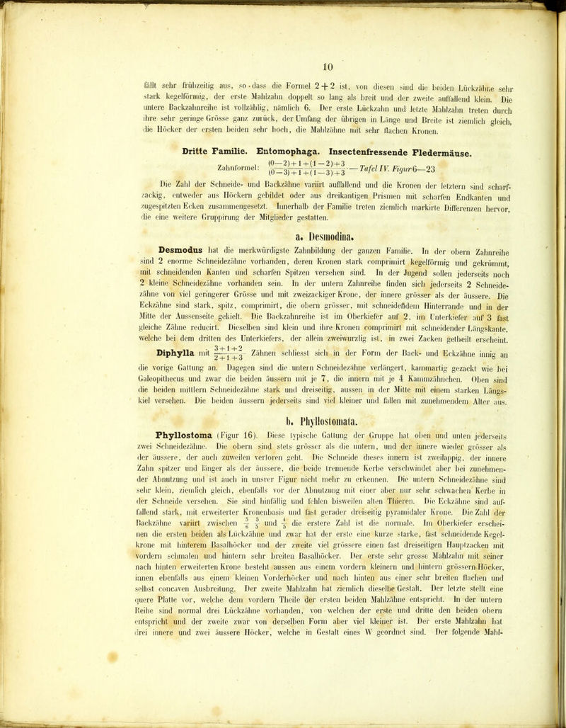 fällt sehr frühzeitig aus, so-dass die Formel 2 + 2 ist, von diesen sind die beiden Lückzähne sehr stark kegelförmig, der erste Mahlzahn doppelt so lang als breit und der zweite auffallend klein. Die untere Backzahnreihe ist vollzählig, nämlich 6. Der erste Lückzahn und letzte Mahlzahn treten durch ihre sehr geringe Grösse ganz zurück, der Umfang der übrigen in Länge und Breite ist ziemlich gleich, die Höcker der ersten beiden sehr hoch, die Mahlzähne mit sehr flachen Kronen. Dritte Familie. Entomophaga. Insectenfressende Fledermäuse. Zahnformel: ^— Tafel IV. Figur 6-23 Die Zahl der Schneide- und Backzähne variirt auffallend und die Kronen der letztem sind scharf- zackig, entweder aus Höckern gebildet oder aus dreikantigen Prismen mit scharfen Endkanten und zugespitzten Ecken zusammengesetzt. Innerhalb der Familie treten ziemlich markirte Differenzen hervor die eine weitere Gruppirung der Mitglieder gestatten. a. Desmodina. Desmodus hat die merkwürdigste Zahnbildung der ganzen Familie. In der obcrn Zahnreihe sind 2 enorme Schneidezähne vorhanden, deren Kronen stark comprimirt kegelförmig und gekrümmt, mit schneidenden Kanten und scharfen Spitzen versehen sind. In der .lugend sollen jederseits noch 2 kleine Schneidezähne vorhanden sein. In der untern Zahnreihe finden sich jederseits 2 Schneide- zähne von viel geringerer Grösse und mit zweizackiger Krone, der innere grösser als der äussere. Die Eckzähne sind stark, spitz, comprimirt, die obern grösser, mit schneidendem Hinterrande und in der Mitte der Aussenseite gekielt. Die Backzahnreihe ist im Oberkiefer auf 2, im Unterkiefer auf 3 fast gleiche Zähne reducirt. Dieselben sind klein und ihre Kronen comprimirt mit schneidender Längskante, welche bei dem dritten des Unterkiefers, der allein zweiwurzlig ist, in zwei Zacken geth-eilt erscheint. 3+1 + ° Diphylla mit . , 7- Zähnen schliesst sich in der Form der Back- und Eckzähne innig an die vorige Gattung an. Dagegen sind die untern Schneidezähne verlängert, kammartig gezackl wie bei Galeopithecus und zwar die beiden äussern mit je 7, die innern mit je 4 Kammzährichen. Oben sind die beiden mittlern Schneidezähne stark und dreiseitig, aussen in der Mitte mit einem starken Längs- kiel versehen. Die beiden äussern jederseits sind viel kleiner und fallen mit zunehmendem Alter aus. I). Phyllostomata. Phyllostoma (Figur 16). Diese typische Gattung der Gruppe hat oben und unten jederseits zwei Schneidezähne. Die obern sind stets grösser als die untern, und der innere wieder grösser als der äussere, der auch zuweilen verloren geht. Die Schneide dieses innern ist zweilappig, der innere Zahn spitzer und länger als der äussere, die beide trennende Kerbe verschwindet aber bei zunehmen- der Abnutzung und ist auch in unsrer Figur nicht mehr zu erkennen. Die untern Schneidezähne sind sehr klein, ziemlich gleich, ebenfalls vor der Abnutzung mit einer aber nur sehr schwachen Kerbe in der Schneide versehen. Sie sind hinfällig und fehlen bisweilen allen Thieren. Die Eckzähne sind auf- fallend stark, mit erweiterter Kronenbasis und fast gerader dreiseitig pyramidaler Krone. Die Zahl der Backzähne variirt zwischen -g -5~ und -g- die er.stere Zahl ist die normale. Im Oberkiefer erschei- nen die ersten beiden als Lückzähne und zwar hat der erste eine kurze starke, last schneidende Kegel- krone mit hinterem Basalhöcker und der zweite viel grössere einen fast dreiseitigen Hauptzacken mit vordem schmalen und hintern sehr breiten Basalhöcker. Der erste sehr grosse Mahlzahn mit seiner nach hinten erweiterten Krone besteht aussen aus einem vordem kleinern und hintern grossem Höcker, innen ebenfalls aus einem kleinen Vorderhöcker und nach hinten aus einer sehr breiten flachen und selbst concaven Ausbreitung. Der zweite Mahlzahn hat ziemlich dieselbe Gestalt. Der letzte stellt eine quere Platte vor, welche dem vordem Theile der ersten beiden Mahlzähne entspricht. In der untern Reihe sind normal drei Lückzähne vorhanden, von welchen der erste und drille den beiden obern entspricht und der zweite zwar von derselben Form aber viel kleiner ist. Der erste Mahlzahn hat drei innere und zwei äussere Höcker, welche in Gestalt eines W geordnet sind. Der folgende Mahl-