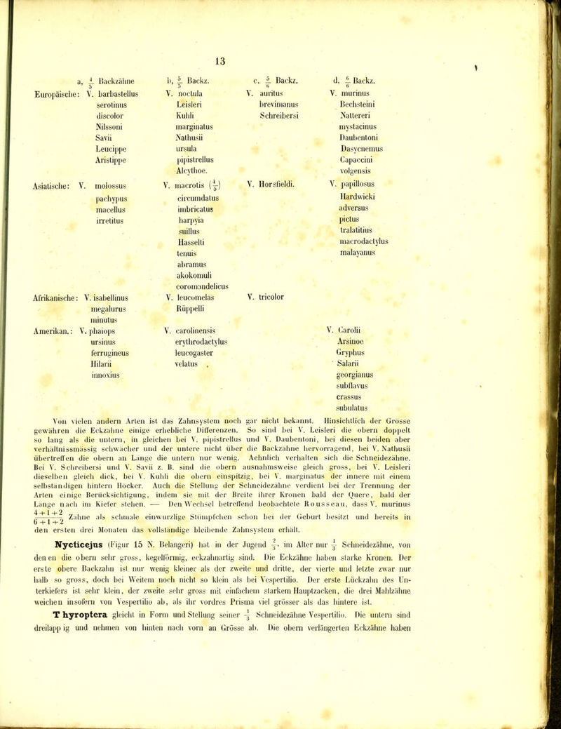 a, £ Backzähne b, A. Backz. c, ü. Backz. () d, 4. Backz. 6 Europäische: V. barbastellus V. noctula V. auritus V. murinus serotinus Leisleri brevimanus Bechsteini discolor Kuhli Schreibersi Nalter er i Nilssoni marginatus mystacinus Savii Nathusii Daubentoni Leucippe ursula Dasycnemus Aristippe pipistrellus Alcythoe. Capaccini volgensis Asiatische: V. molossus V. inacrolis (t-) V. Horsfieldi. V. papillosus pachypus circumdatus Hardwicki macellus imbricatus adversus irretitus harpyia .suillus Hasselti tenuis abramus akokomuli coromandelicus pictus tralatitius macrodactylus malayanus Afrikanische: V. isabellinus megalurus minutus V. leucomelas Rüppelli V. tricolor Amerikan.: V. phaiops V. carolinensis V. Garolii ursinus erythrodactylus Arsinoe ferrugineus leucogaster Gryphus Hilarii innoxius velatus , Salarii georgianus subflavus crassus subulalus Von vielen andern Arten ist das Zahnsystem noch gar nicht bekannt. Hinsichtlich der Grösse gewähren die Eckzahne einige erhebliche Differenzen. So sind bei V. Leisleri die obern doppelt so lang als die untern, in gleichen bei V. pipistrellus und V. Daubentoni, bei diesen beiden aber verhältnissmässig schwächer und der untere nicht über die Backzähne hervorragend, bei V. Nathusii übertreffen die obern an Lange die untern nur wenig. Aehnlich verhalten sich die Schneidezähne. Bei V. Schreibersi und V. Savii z. B. sind die obern ausnahmsweise gleich gross, bei V. Leisleri dieselben gleich dick, bei V. Kuldi die obern einspitzig, bei V. marginatus der innere mit einem selbständigen hintern Hocker. Auch die Stellung der Schneidezähne verdient hei der Trennung der Arten einige Berücksichtigung, indem sie mit der Breite ihrer Kronen bald der Quere, bald der Länge nach im Kiefer stehen. — Den Wechsel betreffend beobachtete Rousseau, dass V. murinus r,—-—- Zähne als schmale einwurzlige Stümpfchen schon bei der Gehurt besitzt und bereits in den ersten drei Monaten das vollständige bleibende Zahnsystem erhält. Nycticejus (Figur 15 N. Belangen) hat in der Jugend im Alter nur Schneidezähne, von denen die obern sehr gross, kegelförmig, eckzahnartig sind. Die Eckzähne haben starke Kronen. Der erste obere Backzahn ist nur wenig kleiner als der zweite und dritte, der vierte und letzte zwar nur halb so gross, doch bei Weitem noch nicht so klein als bei Vespertilio. Der erste Lückzahn des Un- terkiefers ist sehr klein, der zweite sehr gross mit einfachem starkem Hauptzacken, die drei Mahlzähne weichen insofern von Vespertilio ah, als ihr vordres Prisma viel grösser als das hintere ist. T hyroptera gleicht in Form und Stellung seiner Schneidezähne Vespertilio. Die untern sind dreilapp ig und nehmen von hinten nach vorn an Grösse ah. Die obern verlängerten Eckzähne haben