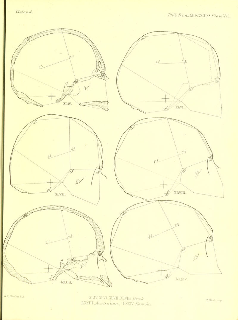 CL€^lM.rvd^ Ph,:LTra.ns:mZ{l^\M.PicUe\\\. xiivni. LlXXPs': jiXXHL W -H,WesJffy Jj Lb aiv;s,vi,.xLYn ,xlv[ii YPPl\\,jb,^a--aUa.n , .K<uz<tkxi