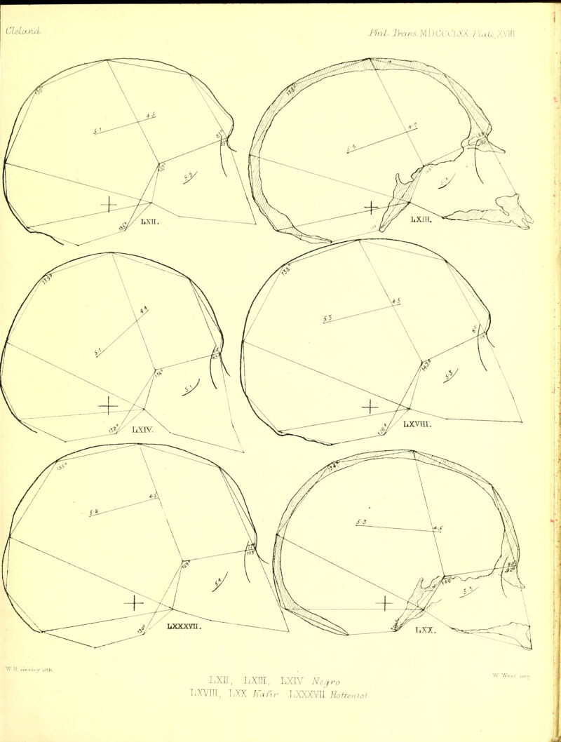 J'mns. M |) \'l ,XX. j \ ''A' H i].ih. LXII., J.XIII, I.W N,.jro T-XVm, LXX ]i^JYU Hoftenin/