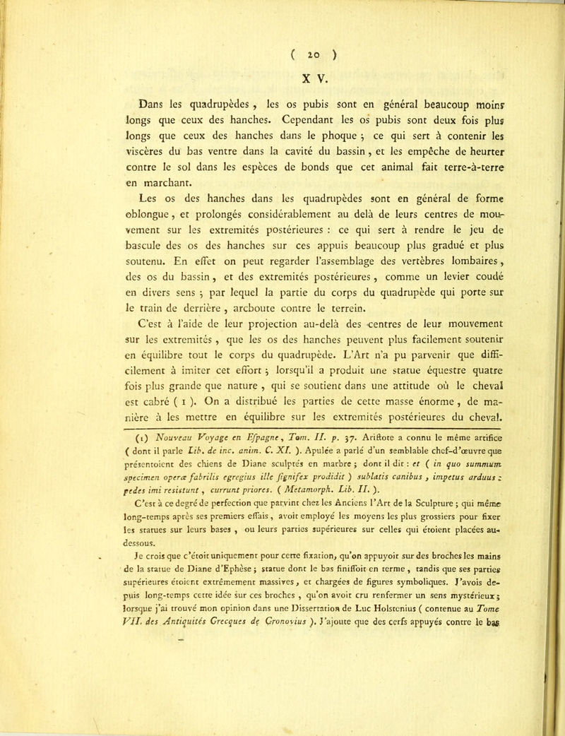 X V. Dans les quadrupèdes , les os pubis sont en général beaucoup moinr longs que ceux des hanches. Cependant les os pubis sont deux fois plus longs que ceux des hanches dans le phoque 3 ce qui sert à contenir les viscères du bas ventre dans la cavité du bassin , et les empêche de heurter contre le sol dans les espèces de bonds que cet animal fait terre-à-terre en marchant. Les os des hanches dans les quadrupèdes sont en général de forme oblongue, et prolongés considérablement au delà de leurs centres de mou- vement sur les extrémités postérieures : ce qui sert à rendre le jeu de bascule des os des hanches sur ces appuis beaucoup plus gradué et plus soutenu. En effet on peut regarder l’assemblage des vertèbres lombaires, des os du bassin, et des extrémités postérieures, comme un levier coudé en divers sens 3 par lequel la partie du corps du quadrupède qui porte sur le train de derrière , arcboute contre le terrein. C’est à l’aide de leur projection au-delà des -centres de leur mouvement sur les extrémités, que les os des hanches peuvent plus facilement soutenir en équilibre tout le corps du quadrupède. L’Art n’a pu parvenir que diffi- cilement à imiter cet effort 3 lorsqu’il a produit une statue équestre quatre fois plus grande que nature , qui se soutient dans une attitude où le cheval est cabré ( i ). On a distribué les parties de cette masse énorme , de ma- nière à les mettre en équilibre sur les extrémités postérieures du cheval. (i) Nouveau Voyage en EJpagne, Tom. II. p. 37. Ariftote a connu le même artifice ( dont il parle Lib. de inc. anitn. C. XI. ). Apulée a parlé d’un semblable chef-d’œuvre que présentoient des chiens de Diane sculptés en marbre ; dont il dit : et ( in quo summum specimen opéra fabrilis egregius ille Jignifex prodidit ) sublatis canibus , impetus arduus ; pedes imi resistunt, currunt priores. ( Metamorph. Lib. II. ). C’est à ce degré de perfection que parvint chez les Anciens l’Art de la Sculpture ; qui même long-temps après ses premiers eflais, avoit employé les moyens les plus grossiers pour fixer les statues sur leurs bases , ou leurs parties supérieures sur celles qui étoient placées au- dessous. Je crois que c’étoit uniquement pour cette fixation, qu’on appuyoir sur des broches les mains de la statue de Diane d’Ephèse ; statue dont le bas finifloit en terme , tandis que ses parties supérieures étoient extrêmement massives, et chargées de figures symboliques. J’avois de- puis long-temps cette idée sur ces broches , qu’on avoit cru renfermer un sens mystérieux; lorsque j’ai trouvé mon opinion dans une Dissertation de Luc Holstenius ( contenue au Tome VII. des Antiquités Grecques de Gronovius ). J’ajoute que des cerfs appuyés contre le bas