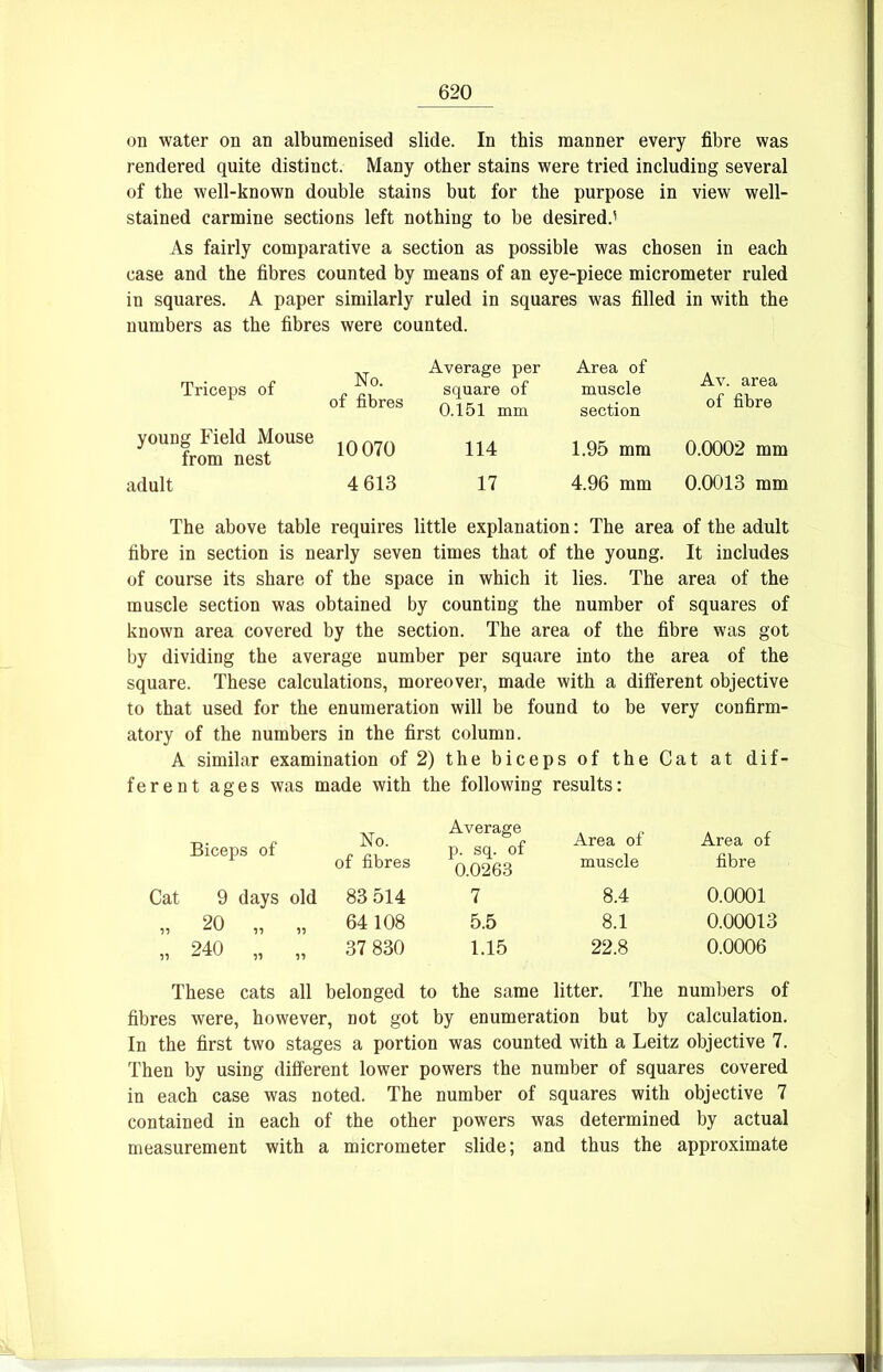 on water on an albumenised slide. In this raanner every fibre was rendered quite distinct. Many other stains were tried including several of the well-known double stains but for tbe purpose in view well- stained carmine sections left nothing to be desired.' As fairly comparative a section as possible was chosen in each case and the fibres counted by means of an eye-piece micrometer ruled in squares. A paper similarly ruled in squares was filled in with the numbers as the fibres were c< Triceps of _ ot fibres young Field Mouse irm7n from nest 10 070 adult 4 613 The above table requires little explanation: The area of the adult fibre in section is nearly seven times that of the young. It includes of course its share of the space in which it lies. The area of the muscle section was obtained by counting the number of squares of known area covered by the section. The area of the fibre was got by dividing the average number per square into the area of the square. These calculations, moreover, made with a different objective to that used for the enumeration will be found to be very confirm- atory of the numbers in the first column. A similar examination of2) the biceps of the Cat at dif- ferent ages was made with the following results: Biceps of No. of fibres Average p. sq. of 0.0263 Area of muscle Area of fibre Cat 9 days old 83 514 7 8.4 0.0001 „ 20 „ 64108 5.5 8.1 0.00013 „ 240 „ 37 830 1.15 22.8 0.0006 These cats all belonged to the same litter. The numbers of fibres were, however, not got by enumeration but by calculation. In the first two stages a portion was counted with a Leitz objective 7. Then by using different lower powers the number of squares covered in each case was noted. The number of squares with objective 7 contained in each of the other powers was determined by actual measurement with a micrometer slide; and thus the approximate Average per Area of square of muscle 0.151 mm section 114 17 1.95 mm 4.96 mm Av. area of fibre 0.0002 mm 0.0013 mm