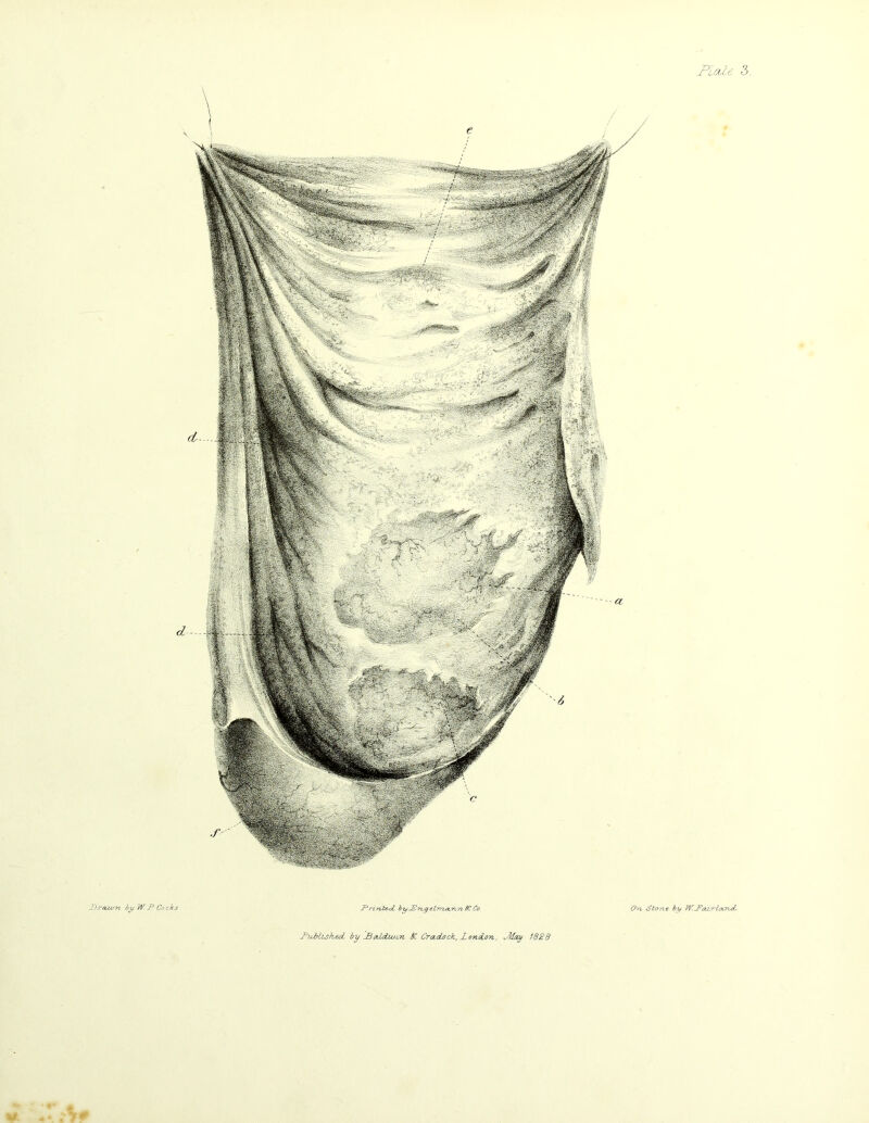 Plo,l6 3 Drawn by W.JP Co cks Printbe-d b-yJEncjelmasnn SC Co On 8lone by PKPazrlotnd DublisheoL by JBodcUuon bC CracLock, Dondon, Jkfay 1828 * :r,w