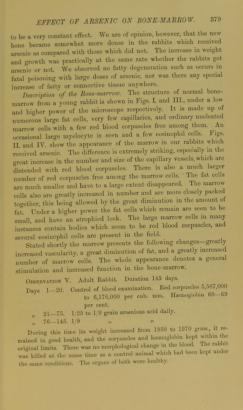 to be a very constant effect. We are of opinion, however, that the new bone became somewhat more dense in the rabbits which received arsenic as compared with those which did not. The increase in weight and growth was practically at the same rate whether the rabbits got arsenic or not. We observed no fatty degeneration such as occurs in fatal poisoning with large doses of arsenic, nor was there any special increase of fatty or connective tissue anywhere. Description of the Bone-marrow. The structure of normal bone- marrow from a young rabbit is shown in Figs. I. and III., under a low and higher power of the microscope respectively. It is made up of numerous large fat cells, very few capillaries, and ordinary nucleated marrow cells with a few red blood corpuscles free among them. An occasional large myelocyte is seen and a few eosinophil cells. Figs. II. and IV. show the appearance of the marrow in our rabbits which received arsenic. The difference is extremely striking, especially in the oreat increase in the number and size of the capillary vessels, which are distended with red hlood corpuscles. There is also a much larger number of red corpuscles free among the marrow cells. ' The fat cells are much smaller and have to a large extent disappeared. The marrow cells also are greatly increased in number and are more closely packed tocrether, this being allowed by the great diminution in the amount of fat Under a higher power the fat cells which remain are seen to be small, and have an atrophied look. The large marrow cells in many instances contain bodies which seem to be red blood corpuscles, and several eosinophil cells are present in the field. ^ Stated shortly the marrow presents the following changes—greatly increased vascularity, a great diminution of fat, and a greatly increased number of marrow cells. The whole appearance denotes a general stimulation and increased function in the bone-marrow. Observation V. Adult Rabbit. Duration 145 days. 1 20. Control of blood examination. Red corpuscles 5,587,000 to 6,176,000 per cub. mm. Hemoglobin 60—69 per cent. 21 75. 1/25 to 1/9 grain arseuious acid daily. 76—145. 1/9 Durin<y this time its weight increased from 1950 to 19/0 gnus., it le mained in good health, and the corpuscles and hemoglobin kept within the original limits. There was no morphological change m the blood. The labbit was killed at the same time as a control animal which had been kept undti the same conditions. The organs of both were healthy.