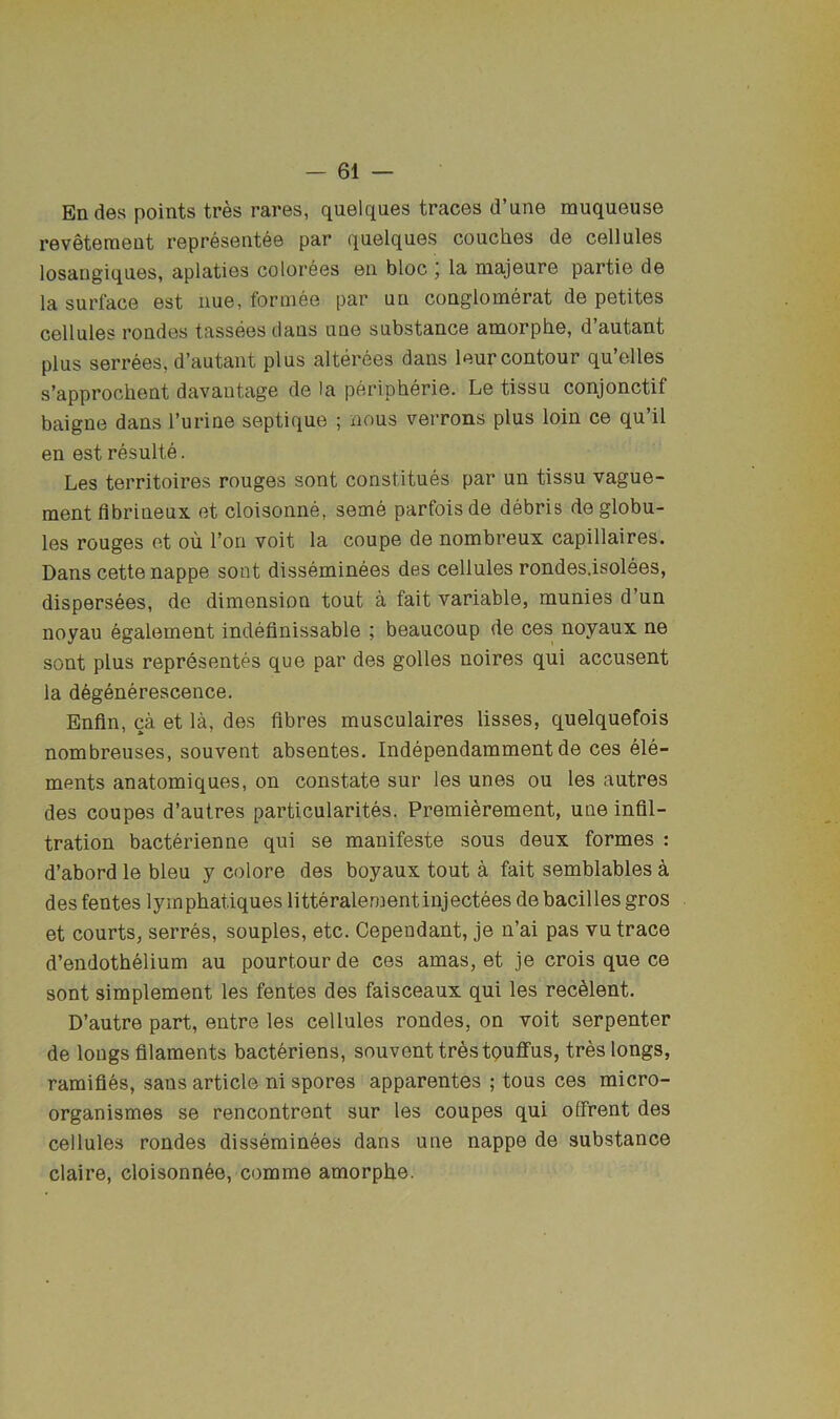 En des points tres rares, quelques traces d’une muqueuse reveteraent representee par quelques couches de cellules losangiques, aplaties color^es en bloc j la niajeure partie de la surface est iiue, formee par un conglomerat de petites cellules rondes tasseesdans une substance amorphe, d’autant plus serrees, d’autant plus alterees dans leur contour qu’elles s’approchent davautcige de la peripherie. Le tissu conjonctif baigne dans I’urine septique ; nous verrons plus loin ce qu’il en est resulte. Les territoires rouges sont constitues par un tissu vague- ment fibriueux et cloisonne, seme parfoisde debris de globu- les rouges et ou Ton voit la coupe de nombreux capillaires. Dans cette nappe sont disseminees des cellules rondes.isolees, dispersees, de dimension tout a fait variable, munies d’un noyau egalement indefinissable ; beaucoup de ces noyaux ne sont plus representes que par des golles noires qui accusent la degenerescence. Enfln, ca et la, des fibres musculaires lisses, quelquefois nombreuses, souvent absentes. Independammentde ces ele- ments anatomiques, on constate sur les unes ou les autres des coupes d’autres particularites. Premierement, une infil- tration bacterienne qui se manifesto sous deux formes : d’abord le bleu y colore des boyaux tout a fait semblables a des fentes lymphatiques litteraleraentinjectees de bacilles gros et courts, serres, souples, etc. Cependant, je n’ai pas vu trace d’endothelium au pourtour de ces amas, et je crois que ce sont simplement les fentes des faisceaux qui les rec^lent. D’autre part, entre les cellules rondes, on voit serpenter de longs filaments bacteriens, souvent tres tpuflfus, tres longs, ramifies, sans article ni spores apparentes ; tons ces micro- organismes se rencontrent sur les coupes qui offrent des cellules rondes disseminees dans une nappe de substance claire, cloisonn6e, comme amorphe.