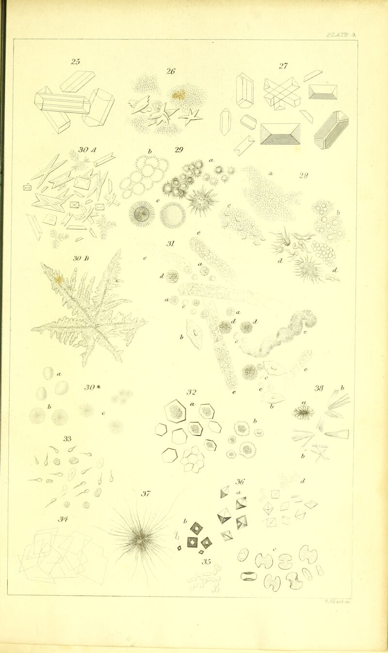 FLA.TE 3 joiWj 30 A H.ASliri