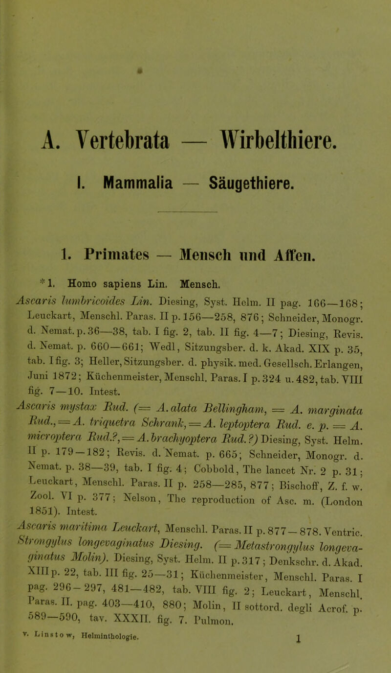A. Vertebrata — Wirbelthiere. I. Mammalia — Säugethiere. 1. Primates — Mensch und Affen. * 1. Homo sapiens Lin. Mensch. Ascaris lumhricoides Lin. Diesing, Syst. Helm. II pag. 166—168; Leuckart, Menschl. Paras. II p. 156—258, 876; Schneider, Monogr. d. Nemat. p.36 38, tab. I fig. 2, tab. II fig. 4—7; Diesing, Revis. d. Nemat. p. 660—661; Wedl, Sitzungsber. d. k. Akad. XIX p. 35, tab. Ifig. 3; Heller, Sitzungsber. d. pbysik. med. Gesellsch. Erlangen, Juni 1872; Küchenmeister, Menschl. Paras. I p.324 u. 482, tab. VIII fig. 7—10. Intest. Ascat IS mystax Lud. (= A. alata Bellingham, = A. niarginata Lud., = A. triquetra SchranJc, = A. leptoptera Lud. e. p. = A. microptera Ltid.?, = A.bracliyoptera Lud.?) Diesing, Syst. Helm. H p. 179 182; Revis. d. Nemat. p. 665; Schneider, Monogr. d. Nemat. p. 38—39, tab. I fig. 4; Cobbold, The lancet Nr. 2 p. 31; Leuckart, Menschl. Paras. II p. 258—285, 877; BischoflP, Z. f. w! Zool. VI p. 377; Nelson, The reproduction of Asc. m. (London 1851). Intest. Ascaris maritima Leuclzart, Menschl. Paras. II p. 877 —878. Ventric. Strmigi/ltis longevaginatus Diesing. (= Metastrongylus longeva- gmatus Molin). Diesing, Syst. Helm. II p.317; Denkschr. d. Akad. XIII p. 22, tab. III fig. 25—31; Kttcbenmeister, Menschl. Paras I pag. 296-297, 481-482, tab. VIII fig. 2; Lenckart, Menschl Paras. II. pag. 403-410, 880; Molin, II sottord. degli Acrof. n! 589—690, tav. XXXIl. fig. 7. Pulmon.