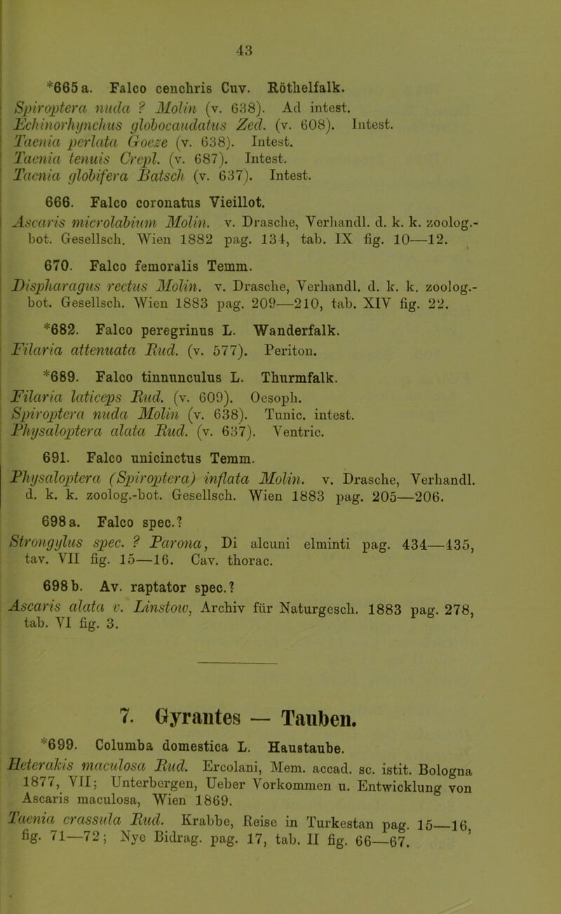 *665 a. Falco ceuchris Cuv. Röthelfalk. Spiroptera nuda ? MoUn (v. 638). Ad intest. Echinorhynchus ylohocandatus Zed. (v. 608). Intest. Taenia perlata Goeze (v. 638). Intest. Taenia tenuis Crepl. (v. 687). lutest. Taenia (jlobifera Bätsch (v. (537). Intest. 666. Falco coroiiatus Vieillot. micrölahinni Molin. v. Dräsche, Verliandl. d. k. k. zoolog.- bot. Gesellscb. Wien 1882 pag. 134, tab. IX fig. 10—12. 670. Falco femoralis Temra. Bispharagits rectus Molin. v. Dräsche, Verhandl. d. k. k. zoolog.- bot. Gesellscb. Wien 1883 pag. 209—210, tab. XIV fig. 22. *682. Falco peregrinus L. Wanderfalk. Filaria attenuata Bud. (v. 577). Peritou. *689. Falco tinnunculus L. Thurmfalk. Filaria laticeps Bud. (v. 609). Oesoph. Spiiropttera nuda Molin (v. 638). Tunic. intest. Physaloptera alata Bud. (v. 637). Ventric. 691. Falco unicinctus Teram. Physaloptera (Spiroptera) inflata Molin. v. Dräsche, Verhandl. d. k. k. zoolog.-bot. Gesellscb. Wien 1883 pag. 205—206. 698 a. Falco spec.? Strongylus spec. ? Parona, Di alcuui elminti pag. 434—435, tav. VII fig. 15—16. Cav. thorac. 698b. Av. raptator spec.? Ascaris alata v. Linstoiv, Archiv für Naturgesch. 1883 pag. 278, tab. VI fig. 3. 7. Gyraiites — Tauben. *699. Columba domestica L. Haustaube. Ileterakis maculosa Bud. Ercolani, Mem. accad. sc. istit. Bologna 1877, VII; Unterbergen, Ueber Vorkommen u. Entwicklung von Ascaris maculosa, Wien 1869. Taenia crassida Bud. Krabbe, Reise in Turkestan pag. 15—16 fig. 71—72; Nye Bidrag. pag. 17, tab. II fig. 66—67.