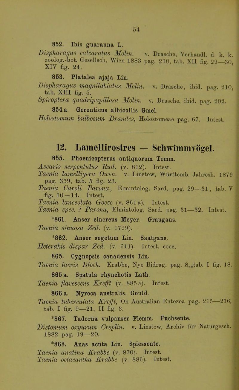 852. Ibis guarauna L. Dispharagus calcaratus Molin. v. Dräsche, Verhandl. d. k. k. zoolog.-bot. Gesellsch. Wien 1883 pag. 210, tab. Xll fig. 29—.30 XIV fig. 24. 853. Platalea ajaja Lin. Dispharagus magnilabiatus Molin. v. Dräsche, ibid. pag. 210, tab. XIII fig. 5. Spiroptera quadripapillosa Molin. v. Dräsche, ibid. pag. 202. 854 a. Geronticus albicollis Gmel. Holostomum bulhosum Brandes, Holostoraeae pag. 67. Intest. 12. Lamellirostres — Schwimmvögel. 855. Phoenicopterus antiquorum Temm. Ascaris serpentulus Rud. (v. 812). Intest. Taenia lamelligera Oiven. v. Linstow, Württemb. Jahresh. 1879 pag. 339, tab. 5 fig. 23. Taenia Caroli Parona, Elmintolog. Sard. pag. 29—31, tab. V fig. 10 —14. Intest. Taenia lanceolata Goeze (v. 861a). Intest. Taenia spec. ? Parona, Elmintolog. Sard. pag. 31—32. Intest. *861. Anser cinoreus Meyer. Graugans. Taenia sinuosa Zed. (v. 1799). *862. Anser segetum Lin. Saatgans. HeteraJds dispar Zed. (v. 611). Intest, coec. 865. Cygnopsis canadensis Lin. Taenia laevis Bloch. Krabbe, Nye Bidrag. pag. 8, ,tab. I fig. 18. 865 a. Spatula rhynchotis Lath. Taenia flavescens Krefft (v. 885 a). Intest. 866 a. Nyroca australis. Gould. Taenia tuberculata Krefft, On Australian Entozoa pag. 215—216, tab. I fig. 9—21, II fig. 3. *867. Tadorna vulpanser Flemm. Fuchsente. Distomum oxyurum Creplin. v. Linstow, Archiv für Naturgesch. 1882 pag. 19—20. *868. Anas acuta Lin. Spiessente. Taenia anatina Krabbe (v. 870). Intest. Taenia octacantha Krabbe (v. 886). Intest.