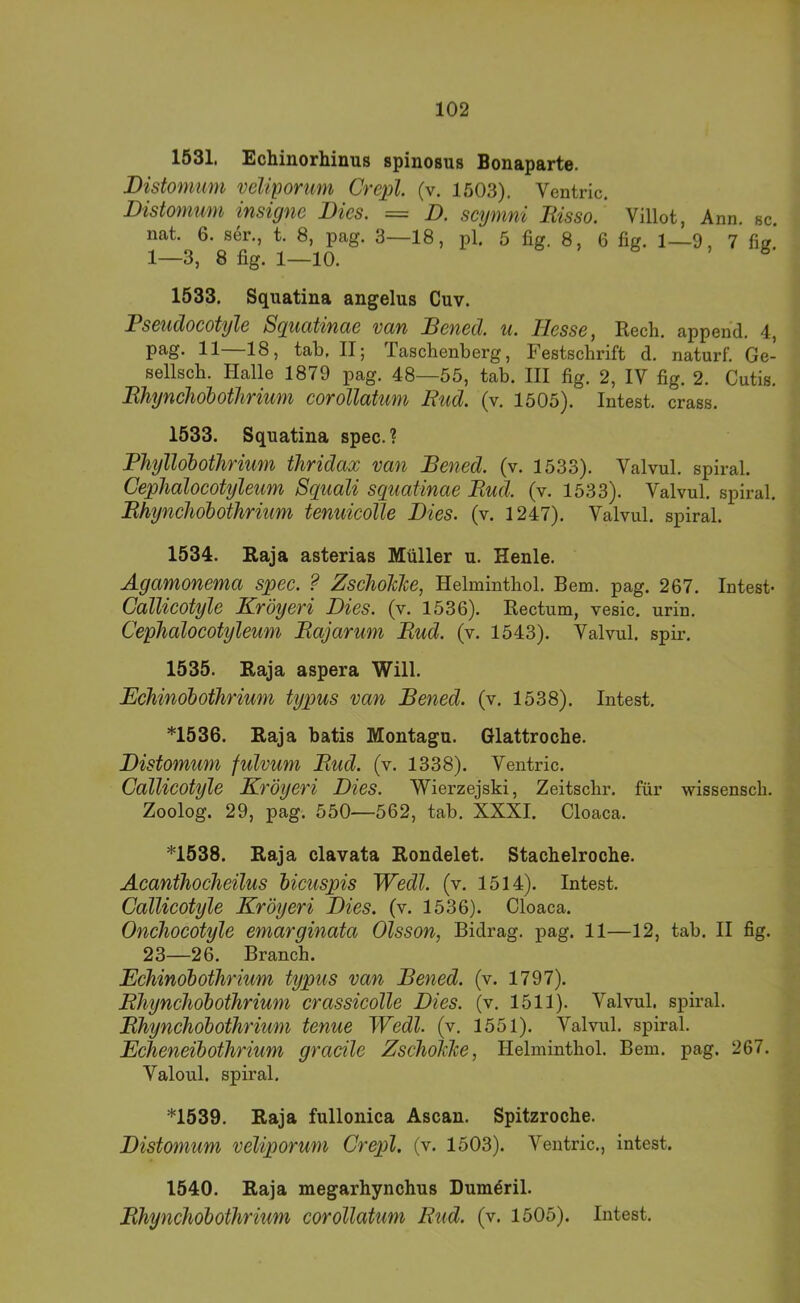 1531. Echinorhinus spinosus Bonaparte. Distommu veliporum Crcpl. (v. 1503). Ventric. Distomum insigne Dies. = D. scymni liisso. Villot, Ann. sc nat. 6. ser., t. 8, pag. 3—18, pl. 5 fig. 8, 6 fig. 1—9, 7 1—3, 8 fig. 1—10. ^ 1533. Squatina angelus Cuv. Pseudocotyle Squatinae van Bened. u. Hesse, Rech, append. 4, pag. 11—18, tab, II; Taschenberg, Festschrift d. naturf. Ge- sellsch. Halle 1879 pag. 48—55, tab. III fig. 2, IV fig. 2. Cutis. Bhyncliohotlirium eorollatum Rud. (v. 1505). Intest, crass. 1533. Squatina spec. ? Phylldbothrium thridax van Bened. (v. 1533). Valvul. spiral. Cephalocotyleum Squali squatinae Rud. (v. 1533). Valvul. spiral. Rhynchohothrium tenuieoUe Dies. (v. 1247). Valvul. spiral. 1534. Raja asterias Müller u. Henle. Agamonema spee. ? ZschoJcIce, Helminthol. Bern. pag. 267. Intest- Callicotyle Kröyeri Dies. (v. 1536). Rectum, vesic. urin. Cephaloeotyleum Rajarum Rud. (v. 1543). Valvul. spir. 1535. Raja aspera Will. Echinöbothrium typus van Bened. (v. 1538). Intest. *1536. Raja batis Montagu. Glattroche. Distomum fulvum Rud. (v. 1338). Ventric. Callicotyle Eröyeri Dies. Wierzejski, Zeitschr. für wissensch. Zoolog. 29, pag. 550—562, tab. XXXI. Cloaca. *1538. Raja clavata Rondelet. Stachelroche. Acanthocheilus hicuspis Wedl. (v, 1514). Intest. Callicotyle Kröyeri Dies. (v. 1536). Cloaca. Onchocotyle emarginata Olsson, Bidrag. pag. 11—12, tab. II fig. 23—26. Branch. Eehinobothrium typus van Bened. (v. 1797). Rhynehobothrium crassicolle Dies. (v. 1511). Valvul. spiral. RhyncJiobothrium tenue Wedl. (v. 1551). Valvul. spiral. Echeneibothrium gracile ZselioMe, Helminthol. Bern. pag. 267. Valoul. spiral. *1539. Raja fullonica Ascan. Spitzroche. Distomum veliporum Crepl. (v. 1503). Ventric., intest. 1540. Raja megarhynchus Dum^ril. Rhynehobothrium eorollatum Rud. (v. 1505). Intest.