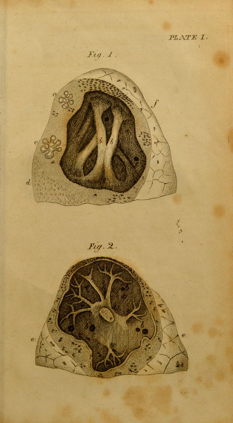 TLjSTU I