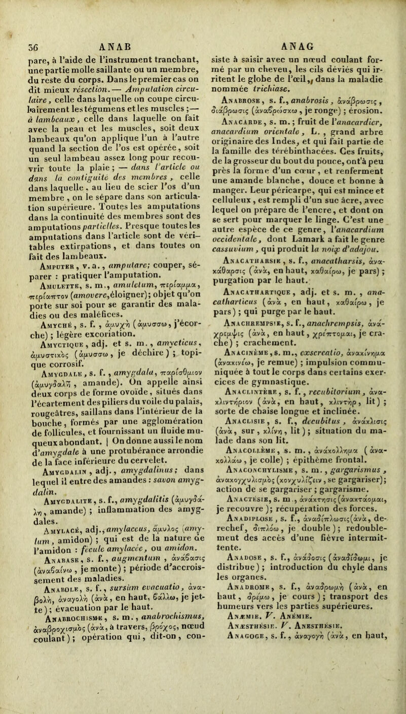 pare, à l’aide de l’instrument tranchant, une partie molle saillante ou un mem bre, du reste du corps. Danslepremiercas on dit mieux résection.— Amputation circu- laire, celle dans laquelle on coupe circu- hairement lestégumens et les muscles ;— à lambeaux, celle dans laquelle on fait avec la peau et les muscles, soit deux lambeaux qu’on applique l’un à l’autre quand la section de l’os est opérée, soit un seul lambeau assez long pour recou- vrir toute la plaie ; — dans l’article ou dans la contiguïté des membres, celle dans laquelle, au lieu de scier l’os d’un membre , on le sépare dans son articula- tion supérieure. Toutes les amputations dans la continuité des membres sont des amputations partielles. Presque toutes les amputations dans l’article sont de véri- tables extirpations , et dans toutes on fait des lambeaux. Amputer, v.a., amputare; couper, sé- parer : pratiquer l’amputation. Amulette, s. m., amulclum, itcptappa., azcplomrov (amoverc,éloigner); objet qu’on porte sur soi pour se garantir des mala- dies ou des maléfices. Amyché, s. f. , âp.vx'h ( àpxaaia, j’écor- che) ; légère excoriation. Amyctique, adj. et s. m. , amycticus, àpuffTtxoç (apurera), je déchire) £ topi- que corrosif. Amygdale , s. f. , amygdala, naplaOpiov (àpoySaXTi , amande), ün appelle ainsi deux corps de forme ovoïde, situés dans l’écartement des piliers du voile du palais, rougeâtres, saillans dans l’intérieur de la bouche, formés par une agglomération de follicules, et fournissant un fluide mu- queux abondant. | On donne aussi le nom d’amygdale à une protubérance arrondie de la face inférieure du cervelet. Amygdaun , adj., amygdalinus; dans lequel il entre des amandes : savon amyg- dalin. Amygdalite , s. f., amygdahtis (apvyàot- \n, amande) ; inflammation des amyg- dales. „ Amylacé, adj.,amylaccus, âpvAoç {amy- [um, amidon) ; qui est de la nature de l’amidon : fécule amylacée, ou amidon. Anabase, s. f., augmentum , àvàSaatç (àvaSaivti), je monte) ; période d’accrois- sement des maladies. ^ Anabole, s. f., sursùm evacuatio, ôva- (3o!dj, àvayoX-G (àvà, en haut, SàXXu, je jet- te); évacuation par le haut. Awabrochisme, s. m., anabrochismus, àva|3poxlff'u''0« (àv“»à travers’ fyo'xoç, nœud coulant); opération qui, dit-on, con- siste à saisir avec un nœud coulant for- mé par un cheveu, les cils déviés qui ir- ritent le globe de l’œil„ dans la maladie nommée trichiasc. Anabrosb, s. f., anabrosis , àva'|3pwa-t; , c?tctj3pci)o‘tç (àvaSpcoCTxw , je ronge) ; érosion. Anacarde, s. m. ; fruit de l’anacardier, anacardium orientale, L. , grand arbre originaire des Indes, et qui fait partie de la famille des térébinthacées. Ces fruits, de la grosseur du bout du pouce, ont'à peu près la forme d’un cœur , et renferment une amande blanche, douce et bonne à manger. Leur péricarpe, qui est mince et celluleux , est rempli d’un suc âcre, avec lequel on prépare de l’encre, et dont on se sert pour marquer le linge. C’est une autre espèce de ce genre, l‘anacardium occidentale, dont Lamark a fait le genre cassuvium, qui produit la noiqp d’adajou. Anacatharsie , s. f., anacatharsis, àva- xâSapo-iç (àvà, en haut, xaOafpw, je pars) ; purgation par le haut. Anacathartique , adj. et s. m. , ana- catharticus (àvà, en haut, xaGafpu, je pars ) ; qui purge par le haut. Anachrempsie, s. f., anachrempsis, àvà- Xp£p.\jnç (àvà, en haut, ^pE7tTop.ai, je cra- che) ; crachement. Anacinème,s. m., exscreatio, àvaxfvvjpa (àvaxiv£<i>, je remue) ; impulsion commu- niquée à tout le corps dans certains exer- cices de gymnastique. Anaclintèrb, s. f., recubitorium , àva- xXcvTvîpcov (àvà, en haut, xXiv-rvip, lit) ; sorte de chaise longue et inclinée. Anaclisie, s. f., dccubitus, àvàxXicrç (àvà, sur, xL’vv), lit); situation du ma- lade dans son lit. Anacollème, s. m. , àvàxoXXïjpwz ( àva- xoXXâto, je colle) ; épithème frontal. Anacojnchylisme , s. m., gargarismus , àvaxoyj(vXco-p.oç (xov^uXtÇsiv, se gargariser); action de se gargariser ; gargarisme. Anactésie, s. m., àvotxTvio-iç(àvaxràopat, je recouvre ); récupération des forces. Anadiplose , s. f., àva<îi7rX(DaTç(àvà, de- rechef, êmléoj, je double); redouble- ment des accès d’une fièvre intermit- tente. Anadose , s. f., àvxdW:; (à.vacîàjcüLu, je distribue) ; introduction du chyle dans les organes. Anadrome, s. f., àvaSpoip.Yi (àvà, en haut, Spipa, je cours); transport des humeurs vers les parties supérieures. Anæmie. V. Anémie. Anæsthésie. F. Anesthésie. Anagoge, s. f., àva.yoy'ri (àvà, en haut,