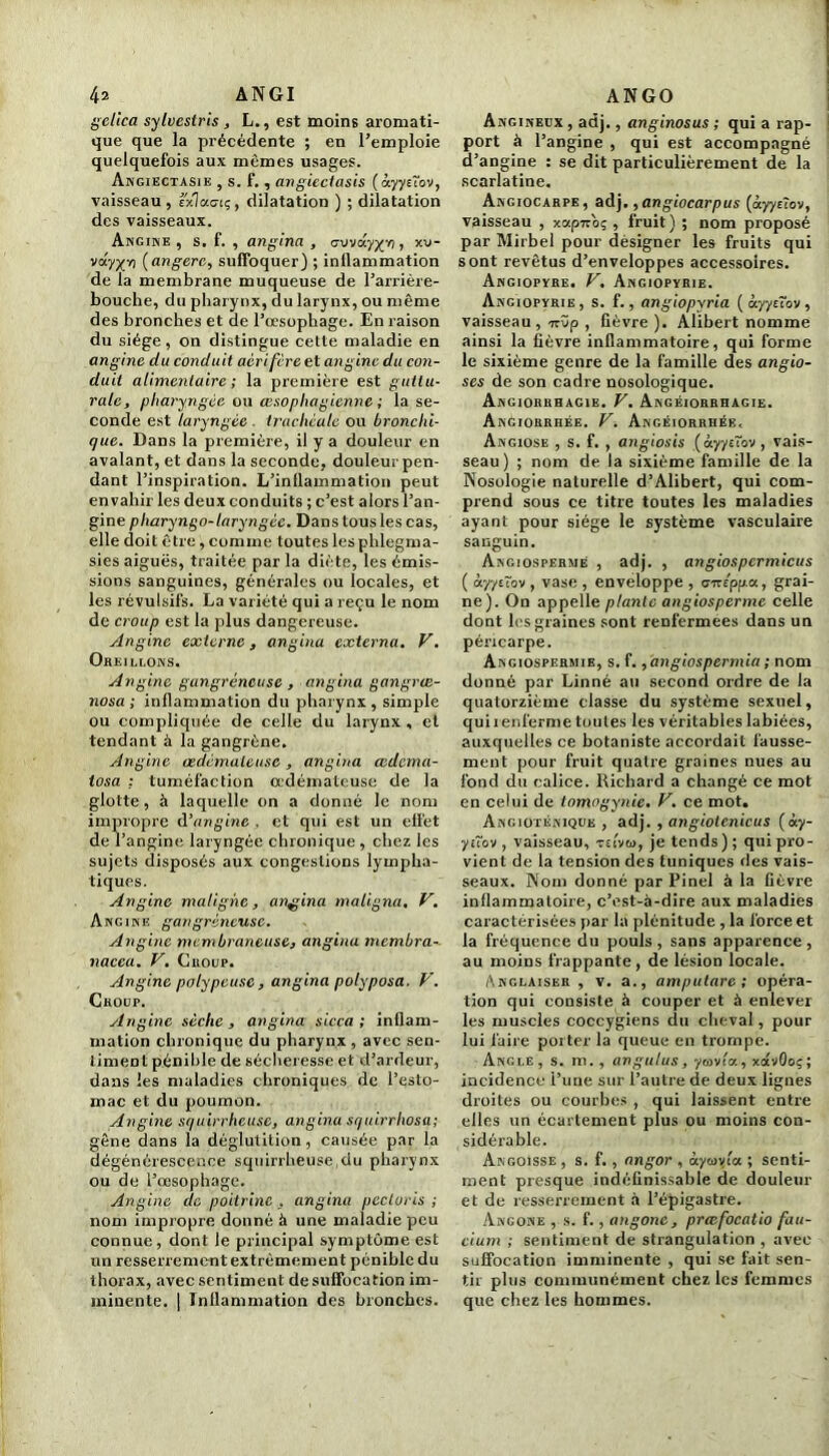 gelica sylvestris , L., est moins aromati- que que la précédente ; en l’emploie quelquefois aux mêmes usages. Angiectasie , s. f. , angicctasis (ctyyûov, vaisseau, i'xlacnç, dilatation ) ; dilatation des vaisseaux. Angine , s. f. , angina , aovdy^-n, xu- vtxyyn (angere, suffoquer) ; inllammation de la membrane muqueuse de l’arrière- bouche, du pharynx, du larynx, ou même des bronches et de l’oesophage. En raison du siège , on distingue cette maladie en angine du conduit acrifcre et angine du con- duit alimentaire ; la première est guttu- rale, pharyngée ou œsophagienne ; la se- conde est laryngée . trachéale ou bronchi- que. Dans la première, il y a douleur en avalant, et dans la seconde, douleurpen- dant l’inspiration. L’inflammation peut envahir les deux conduits ; c’est alors l’an- gine pharyngo-laryngéc. Dans tous les cas, elle doit être, comme toutes lesphlegma- sies aiguës, traitée par la diète, les émis- sions sanguines, générales ou locales, et les révulsifs. La variété qui a reçu le nom de croup est la plus dangereuse. Angine externe, angina externa. V. Oreillons. Angine gangréneuse , angina gangrœ- nosa ; inflammation du pharynx , simple ou compliquée de celle du larynx , et tendant à la gangrène. Angine œdémateuse, angina œdema- tosa : tuméfaction œdémateuse de la glotte, à laquelle on a donné le nom impropre d’angine , et qui est un effet de l’angine laryngée chronique , chez les sujets disposés aux congestions lympha- tiques. Angine maligne, angina maligna, V. Angine gangréneuse. Angine membraneuse, angina membra- nacca. V. Croup. Angine polypeuse, angina polyposa. V. Croup. Angine sèche, angina sicca ; inflam- mation chronique du pharynx , avec sen- timent pénible de sécheresse et d’ardeur, dans les maladies chroniques de l’esto- mac et du poumon. Angine squirrheuse, angina squirrhosa; gêne dans la déglutition, causée par la dégénérescence squirrheuse du pharynx ou de l’œsophage. Angine de poitrine , angina pectoris ; nom impropre donné à une maladie peu connue, dont le principal symptôme est un resserrement extrêmement pénible du thorax, avec sentiment de suffocation im- minente. | Inllammation des bronches. Angineux , adj., anginosus ; qui a rap- port à l’angine , qui est accompagné d’angine : se dit particulièrement de la scarlatine. Angiocarpe, adj. ,angiocarpus (àyyùov, vaisseau , xapTroç , fruit) ; nom proposé par Mirbel pour désigner les fruits qui sont revêtus d’enveloppes accessoires. Angiopyre. V, Angiopyrie. Angiopyrie, s. f., angiopyria [àyytTov, vaisseau, irùp , fièvre). Alibert nomme ainsi la fièvre inflammatoire, qui forme le sixième genre de la famille des angio- ses de son cadre nosologique. Angiorrhacib. V. Angéiorrhagie. Angiorrhée. V. Angéiorrhéb. Angiose , s. f. , angiosis (àyyt~ov , vais- seau ) ; nom de la sixième famille de la Nosologie naturelle d’Alibert, qui com- prend sous ce titre toutes les maladies ayant pour siège le système vasculaire sanguin. Angiosperme , adj. , angiospermicus ( àyytïov , vase , enveloppe , cir/ppa, grai- ne). On appelle plante angiosperme celle dont les graines sont renfermées dans un péricarpe. Angiospermie, s. f., angiospermia ; nom donné par Linné au second ordre de la quatorzième classe du système sexuel, quirenfermetoutes les véritables labiées, auxquelles ce botaniste accordait fausse- ment pour fruit quatre graines nues au fond du calice. Richard a changé ce mot en celui de tomogynie. V. ce mot. Angioténique , adj. , angioicnicus (ày- yuov , vaisseau, tsivio, je tends ) ; qui pro- vient de la tension des tuniques des vais- seaux. Nom donné par Pinel à la fièvre inflammatoire, c’est-à-dire aux maladies caractérisées par la plénitude , la force et la fréquence du pouls, sans apparence, au moins frappante, de lésion locale. Anglaiser , v. a., amputare ; opéra- tion qui consiste à couper et à enlever les muscles coccygiens du cheval, pour lui faire porter la queue en trompe. Angle , s. m., angulus, yasvla, xavQoç; incidence l’une sur l’autre de deux lignes droites ou courbes , qui laissent entre elles un écartement plus ou moins con- sidérable. Angoisse , s. f., angor , àycovt'a ; senti- ment presque indéfinissable de douleur et de resserrement à l’épigastre. Angone , s. f., angone, prœfocatio fau- cium ; sentiment de strangulation , avec suffocation imminente , qui se fait sen- tir plus communément chez les femmes que chez les hommes.