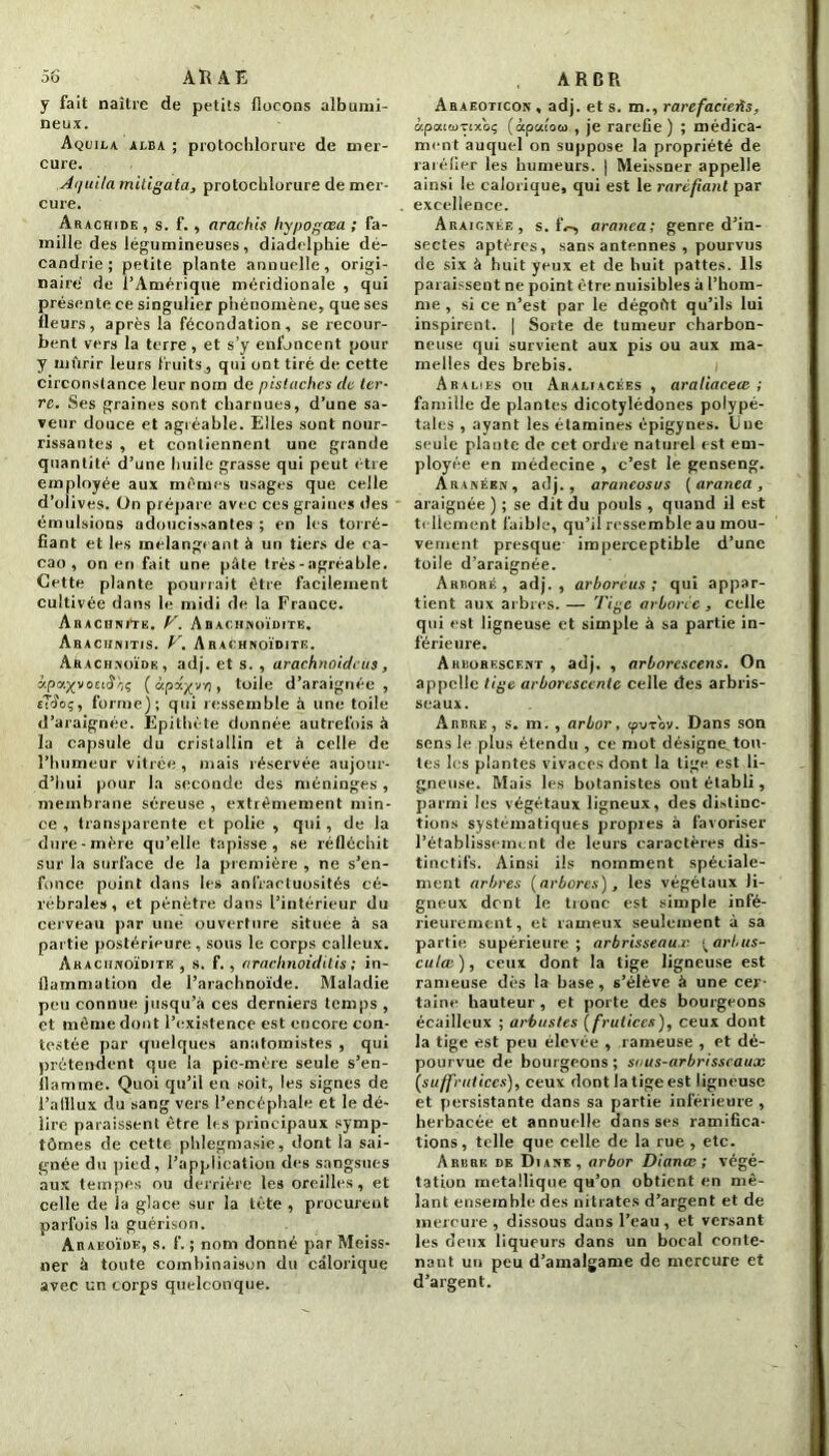 5ô Alt A E y fait naître de petits flocons albumi- neux. Aquila alba ; protochlorure de mer- cure. Ai/uila miligata, protochlorure de mer- cure. Arachide, s. f., arachis hypogœa ; fa- mille des légumineuses, diadelphie de- candrie ; petite plante annuelle, origi- naire de l’Amérique méridionale , qui présente ce singulier phénomène, que ses fleurs, après la fécondation, se recour- bent vers la terre, et s’y enfoncent pour y mûrir leurs fruits, qui ont tiré de cette circonstance leur nom de pistaches de ter- re. Ses graines sont charnues, d’une sa- veur douce et agréable. Elles sont nour- rissantes , et contiennent une grande quantité d’une huile grasse qui peut être employée aux mêmes usages que celle d’olives. On prépare avec ces graines des émulsions adoucissantes ; en les torré- fiant et les mélangeant à un tiers de ca- cao , on en fait une pâte très-agréable. Cette plante pourrait être facilement cultivée dans le midi de la France. ArachniTe. V. Abachnoïdite. Arachnitis. V. Arachnoïdite. Arachnoïde , adj. et s. , arachnoïde us, y.py.-^votiê'nç ( àpy./vY], toile d’araignée, sTtîo;, forme); qui ressemble à une toile d’araignée. Epithète donnée autrefois à la capsule du cristallin et à celle de l’humeur vitrée , mais réservée aujour- d’hui pour la seconde des méninges , membrane séreuse , extrêmement min- ce , transparente et polie , qui, de la dure-mère qu’elle tapisse, se réfléchit sur la surface de la première , ne s’en- fonce point dans les anfractuosités cé- rébrales , et pénètre dans l’intérieur du cerveau par une. ouverture située à sa partie postérieure, sous le corps calleux. Arachnoïdite , s. f. , arachnoidilis ; in- flammation de l’arachnoïde. Maladie peu connue jusqu’à ces derniers temps , et même dont l’existence est encore con- testée par quelques anatomistes , qui prétendent que la pie-mère seule s’en- flamme. Quoi qu’il en soit, les signes de l’afllux du sang vers l’encéphale et le dé- lire paraissent être les principaux symp- tômes de cette phlegmasie, dont la sai- gnée du pied, l’application des sangsues aux tempes ou derrière les oreilles, et celle de la glace sur la tète , procurent parfois la guérison. Araeoïde, s. f. ; nom donné par Meiss- ner à toute combinaison du calorique avec un corps quelconque. A R CR Araeoticon , adj. et s. m., rarefaciefis, àpaiwTtxoç (àpaîow , je raréfié ) ; médica- ment auquel on suppose la propriété de raréfier les humeurs. | Meissner appelle ainsi le calorique, qui est le raréfiant par excellence. Araignée, s. IV, aranca; genre d’in- sectes aptères, sans antennes , pourvus de six à huit yeux et de huit pattes. Ils paraissent ne point être nuisibles à l’hom- me , si ce n’est par le dégoût qu’ils lui inspirent. | Sorte de tumeur charbon- neuse qui survient aux pis ou aux ma- melles des brebis. A ralies ou Araliacées , araliaeece ; famille de plantes dicotylédones polypé- tales , ayant les étamines épigynes. Une seule plante de cet ordre naturel est em- ployée en médecine , c’est le genseng. Aranébn, adj., arancosus (aranea, araignée ) ; se dit du pouls , quand il est tellement faible, qu’il ressemble au mou- vement presque imperceptible d’une toile d’araignée. Arboré , adj. , arborais ; qui appar- tient aux arbres. — Tige arborée , celle qui est ligneuse et simple à sa partie in- férieure. Arborescent , adj. , arborcscens. On appelle tige arborescente celle des arbris- seaux. Arbre, s. m. , arbor, tpvrov. Dans son sens le plus étendu , ce mot désigne,tou- tes les plantes vivaces dont la lige est li- gneuse. Mais les botanistes ont établi, parmi les végétaux ligneux, des distinc- tions systématiques propres à favoriser l’établissement de leurs caractères dis- tinctifs. Ainsi ils nomment spéciale- ment arbres (arbores), les végétaux li- gneux dent le tronc est simple infé- rieurement, et rameux seulement à sa partie supérieure; arbrisseaux (_ arbus- culœ), ceux dont la tige ligneuse est rameuse dès la base , s’élève à une cer- taine hauteur , et porte des bourgeons écailleux ; arbustes (fruitées), ceux dont la tige est peu élevée , rameuse , et dé- pourvue de bourgeons ; saus-arbrisseaux (suffrutices), ceux dont la tige est ligneuse et persistante dans sa partie inférieure , herbacée et annuelle dans ses ramifica- tions, telle que celle de la rue , etc. Arbre de Di ane, arbor Dianœ ; végé- tation métallique qu’on obtient en mê- lant ensemble des nitrates d’argent et de mercure , dissous dans l’eau, et versant les deux liqueurs dans un bocal conte- nant un peu d’amalgame de mercure et d’argent.