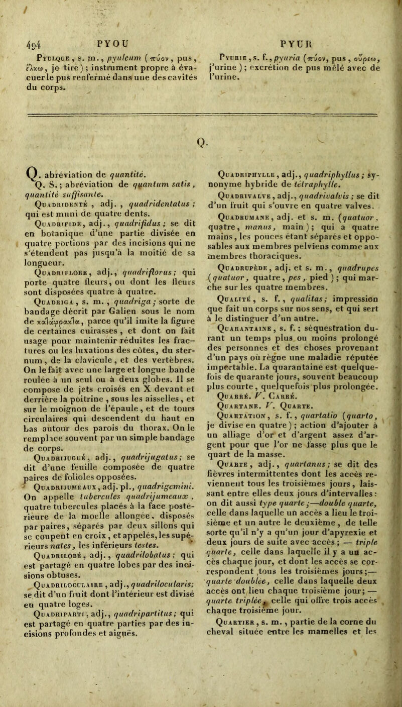 4s4 pyou Pyulque , s. ni., pyulcum ( irvov , pus, sXxu, je tire ) ; instrument propre à éva- cuer le pus renfermé dans une des cavités du corps. PYUIt PïiiniE , s. f., pyuria (itijov, pus, ouptw, j’urine ); excrétion de pus mêlé avec de l’urine. Q- Q. abréviation de quantité. Q. S.; abréviation de quantum satin, quantité suffisante. Quadridenté , adj. , quadridentatus ; qui est muni de quatre dents. Quadrifidf., adj., quadrifidus ; se dit en botanique d’une partie divisée en quatre portions par des incisions qui ne s'étendent pas jusqu’à la moitié de sa longueur. Quadriflore, adj., quadriflorus ; qui porte quatre fleurs, ou dont les Heurs sont disposées quatre à quatre. Quadriga , s. m. , quadriga; sorte de bandage décrit par Galien sous le nom de xalatppaxla, parce qu’il imite la figure de certaines cuirasses , et dont on fait usage pour maintenir réduites les frac- tures ou les luxations des côtes, du ster- num , de la clavicule, et des vertèbres. On le fait avec une large et longue bande roulée à un seul ou à deux globes. 11 se compose de jets croisés en X devant et derrière la poitrine , sous les aisselles, et sur le moignon de l’épaule, et de tours circulaires qui descendent du haut en bas autour des parois du thorax. On le remplace souvent par un simple bandage de corps. Quadrijugué , adj., quadrijugalus ; se dit d’une feuille composée de quatre paires de folioles opposées. Quadrijumeaux, adj. pl., quadrigcmini. On appelle tubercules quadrijumeaux, quatre tubercules placés à la face posté- rieure de la moelle allongée, disposés par paires, séparés par deux sillons qui sc coupent en croix, et appelés, les supé- rieurs notes, les inférieurs testes. Quadrilobé , adj., quadrilobalus ; qui est partagé en quatre lobes par des inci- sions obtuses. Quadriloculaire , adj., quadrilocularis; se dit d’un fruit dont l’intérieur est divisé eu quatre loges. Quadriparti , adj., quadripartitus; qui est partagé en quatre parties par des in- cisions profondes et aiguës. Quadriphylle , adj., quadripliytlus ; sy- nonyme hybride de tétrapliylle. Quadrivalve , adj., quadrivalvis ; se dit d’un fruit qui s’ouvre en quatre valves. Quadrumane , adj. et s. m. (quatuor . quatre, manus, main); qui a quatre mains, les pouces étant séparés et oppo- sables aux membres pelviens comme aux membres thoraciques. Quadrupède, adj. et s. m., quadrupes ( quatuor, quatre , pes, pied ) ; qui mar- che sur les quatre membres. Qualité, s. f., qualitas; impression que fait un corps sur nos sens, et qui sert à le distinguer d’un autre. Quarantaine, s. f. ; séquestration du- rant un temps plus ou moins prolongé des personnes et des choses provenant d’un pays où règne une maladie réputée importable. La quarantaine est quelque- fois de quarante jours, souvent beaucoup plus courte, quelquefois plus prolongée. Quarré. V. Carré. Quartane. V. Quarte. Quartation, s. f., quartatio (quarto, je divise en quatre); action d’ajouter à un alliage d’or et d’argent assez d’ar- gent pour que l’or ne fasse plus que le quart de la masse. Quarte, adj., quartanus ; se dit des fièvres intermittentes dont les accès re- viennent tous les troisièmes jours, lais- sant entre elles deux jours d’intervalles : on dit aussi type quarte ;—double quarte, celle dans laquelle un accès a lieu le troi- sième et un autre le deuxième, de telle sorte qu’il n’y a qu’un jour d’apyrexie et deux jours de suite avec accès ; — triple quarte, celle dans laquelle il y a un ac- cès chaque jour, et dont les accès se cor- respondent .tous les troisièmes jours;— quarte doublée, celle dans laquelle deux accès ont lieu chaque troisième jour; — quarte triplée^ celle qui ollfe trois accès chaque troisième jour. Quartier , s. m., partie de la corne du cheval située entre les mamelles et les