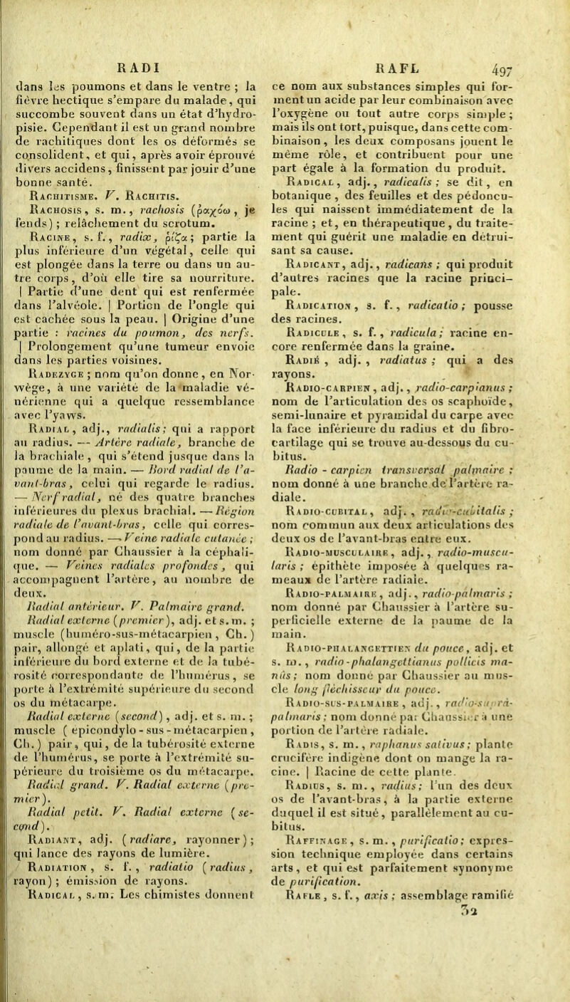 R ADI dans Icîs poumons et dans le ventre ; la fièvre hectique s’empare du malade, qui succombe souvent dans un état d’hydro- pisie. Cependant il est un grand nombre de rachitiques dont les os déformés se consolident, et qui, après avoir éprouvé divers accidens, finissent par jouir d’une bonne santé. Rachitisme. V. Rachitis. Rachosis, s. m., rachosis (p<x/o&>, je fends) ; relâchement du scrotum. Racine, s. f., radix, pîÇa ; partie la plus inférieure d’un végétal, celle qui est plongée dans la terre ou dans un au- tre corps, d’où elle tire sa nourriture. I Partie d’une dent qui est renfermée dans l’alvéole. | Portion de l’ongle qui est cachée sous la peau. | Origine d’une partie : racines du poumon, des nerfs. | Prolongement qu’une tumeur envoie dans les parties voisines. Radezyge ; nom qu’on donne, en Nor- wège, à une variété de la maladie vé- nérienne qui a quelque ressemblance avec l’yaws. Radial, adj., radialis ; qui a rapport au radius. — Artère radiale, branche de la brachiale, qui s’étend jusque dans la paume de la main. — Bord radial de l’a- vant-bras, celui qui regarde le radius. — Nerf radial, né des quatre branches inférieures du plexus brachial. —Région radiale de l’avant-bras, celle qui corres- pond au radius. —- Veine radiale cutanée ; nom donné par Chaussier à la céphali- que. — Veines radiales profondes, qui accompagnent l’artère, au nombre de deux. Radial antérieur. V. Palmaire grand. Radial externe (premier), adj. ets.m. ; muscle (huméro-sus-métacarpien, Ch.) pair, allongé et aplati, qui, de la partie inférieure du bord externe et de la tubé- rosité correspondante de l’humérus, se porte à l’extrémité supérieure du second os du métacarpe. Radial externe (second), adj. et s. m. ; muscle ( epicondylo - sus - métacarpien , Ch.) pair, qui, de la tubérosité externe de l’humérus, se porte à l’extrémité, su- périeure du troisième os du métacarpe. Radial grand. V. Radial externe (pre- mier). Radial petit. V. Radial externe ( se- cond). Radiant, adj. (radiare, rayonner); qui lance des rayons de lumière. Radiation, s. f. , radialio (radius, rayon) ; émission de rayons. Radical, s. m; Les chimistes donnent R A FL 497 ce nom aux substances simples qui for- ment un acide par leur combinaison avec l’oxygène ou tout autre corps simple ; mais ils ont tort, puisque, dans cette com- binaison , les deux composans jouent le même rôle, et contribuent pour une part égale à la formation du produit. Radical, adj., radicalis ; se dit, en botanique , des feuilles et des pédoncu- les qui naissent immédiatement de la racine ; et, en thérapeutique , du traite- ment qui guérit une maladie en détrui- sant sa cause. Radicant, adj., radicans ; qui produit d’autres racines que la racine princi- pale. Radication , s. f., radicaiio ; pousse des racines. Radicule, s. f., radicula ; racine en- core renfermée dans la graine. Radié , adj. , radiatus ; qui a des rayons. Radio-cahpien , adj., radio-carpianus ; nom de l’articulation des os scaphoïde, semi-lunaire et pyramidal du carpe avec la face inférieure du radius et du fibro- eartilage qui se trouve au-dessous du cu- bitus. Radio - carpicn transversal palmaire ; nom donné à une branche de'l’artère ra- diale. Radio-cubital, adj,, radâ’-cubitalis ; nom commun aux deux articulations des deux os de l’avant-bras entre eux. Radio-musculaire, adj., radio-muscu- laris ; épithète imposée à quelques ra- meaux de l’artère radiale. Radio-palmaire, adj., radio-palmaris ; nom donné par Chaussier à l’artère su- perficielle externe de la paume de la main. Radio-piialangettien du pouce, adj. et s. m., radio-phalangettianus pollicis ma- nûs; nom donné par Chaussier au mus- cle long fléchisseur du pouce. Radio-sus-palmaire , adj., radio-su rà- patmaris ; nom donné pai Chaussier à une portion de l’artère radiale. Radis, s. m., raphanus sativus ; plante crucifère indigène dont on mange la ra- cine. | Racine de cette plante. Radius, s. m., radius; l’un des deux os de l’avant-bras, â la partie externe duquel il est situé, parallèlement au cu- bitus. Raffinage, s. m. , purificalio; expres- sion technique employée dans certains arts, et qui est parfaitement synonyme de purification. Rafle , s. f., axis ; assemblage ramifié