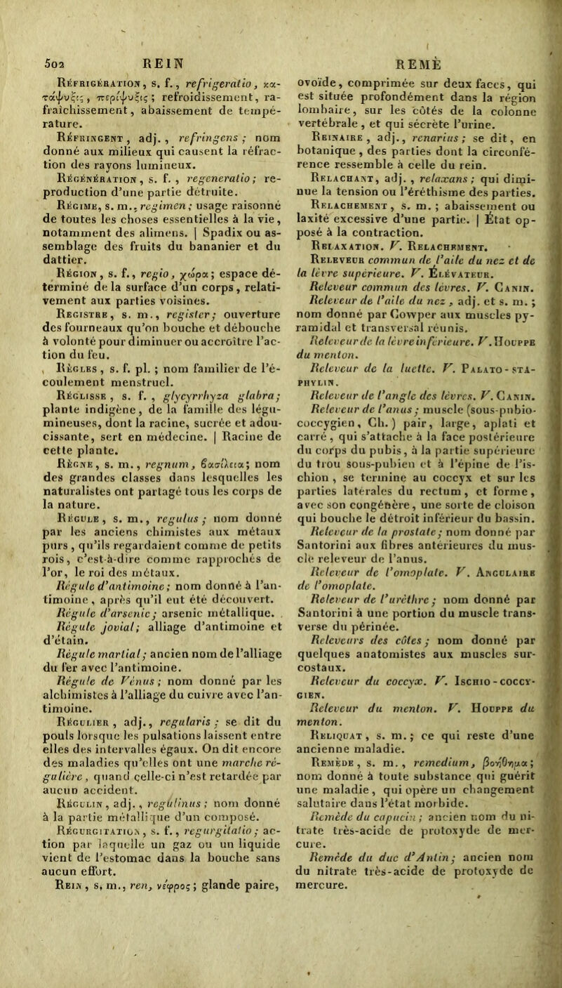 Réfrigération, s. f., réfrigérâtio, xot- Tai|/u?t;, -MptyvÇtç ; refroidissement, ra- fraîchissement, abaissement de tempé- rature. Réfringent , adj. , refringens ; nom donné aux milieux qui causent la réfrac- tion des rayons lumineux. Régénération, s. f. , regeneratio; re- production d’une partie détruite. Régime, s. m., regimen; usage raisonné de toutes les choses essentielles à la vie, notamment des alimens. | Spadix ou as- semblage des fruits du bananier et du dattier. Région, s. f., regio, espace dé- terminé de la surface d’un corps , relati- vement aux parties voisines. Registre, s. m., regisier ; ouverture des fourneaux qu’on bouche et débouche à volonté pour diminuer ou accroître l’ac- tion du feu. Règles , s. f. pl. ; nom familier de l’é- coulement menstruel. Réglisse , s. f. , glycyrrhyza glabra; plante indigène, de la famille des légu- mineuses, dont la racine, sucrée et adou- cissante, sert en médecine. | Racine de cette plante. Règne, s. m., regnum, ëaellsiaj nom des grandes classes dans lesquelles les naturalistes ont partagé tous les corps de la nature. Régule, s. m., regulus ; nom donné par les anciens chimistes aux métaux purs , qu’ils regardaient comme de petits rois, c’est-à-dire comme rapprochés de l’or, le roi des métaux. Régule d’antimoine ; nom donné à l’an- timoine, après qu’il eut été découvert. Régule d’arsenic ; arsenic métallique. Régule jovial; alliage d’antimoine et d’étain. Régule martial ; ancien nom de l’alliage du fer avec l’antimoine. Régule de Vénus ; nom donné par les alchimistes à l’alliage du cuivre avec l’an- timoine. Régulier, adj., regularis : se dit du pouls lorsque les pulsations laissent entre elles des intervalles égaux. On dit encore des maladies qu’elles ont une marche ré- gulière , quand çelle-ci n’est retardée par aucun accident. Régulin, adj., regulinus ; nom donné à la partie métallique d’un composé. Régurgitation, s. f., régurgitai io ; ac- tion par laquelle un gaz ou un liquide vient de l’estomac dans la bouche sans aucun effort. Rein , s, m., ren, vétppoç', glande paire, I ovoïde, comprimée sur deux faces, qui est située profondément dans la région lombaire, sur les côtés de la colonne vertébrale , et qui sécrète l’urine. Reinaire , adj., renarius ; se dit, en botanique , des parties dont la circonfé- rence ressemble à celle du rein. Relâchant, adj. , relaxans ; qui dimi- nue la tension ou l’éréthisme des parties. Relâchement, s. m. ; abaissement ou laxité excessive d’une partie. | État op- posé à la contraction. Relaxation. V. Relâchement. Releveur commun de l’aile du nez et de la lèvre supérieure. V. Élévateur. Releveur commun des lèvres. V. Canin. Releveur de l’aile du nez , adj. et s. m. ; nom donné par Cowper aux muscles py- ramidal et transversal réunis. Releveur de la lèvreinferieure. V.ll olppe du menton. Releveur de la luette. V. Palato-sta- PHYLIN . Releveur de l’angle des lèvres. V. Canin. Releveur de l’anus ; muscle (sous-pnbio- coccygien. Ch.) pair, large, aplati et carré, qui s’attache à la face postérieure du corps du pubis, à la partie supérieure du trou sous-pubien et à l’épine de l’is- chion , se termine au coccyx et sur les parties latérales du rectum, et forme, avec son congénère, une sorte de cloison qui bouche le détroit inférieur du bassin. Releveur de la prostate; nom donné par Santorini aux fibres antérieures du mus- clé releveur de l’anus. Releveur de l’omoplate. V. Angulaire de l’omoplate. Releveur de l’urèthre ; nom donné par Santorini à une portion du muscle trans- verse du périnée. Rclcvcurs des côtes; nom donné par quelques anatomistes aux muscles sur- costaux. Releveur du coccyx. V. Ischio - coccx- GIEN. Releveur du menton. V. Houppe du menton. Reliquat , s. m. ; ce qui reste d’une ancienne maladie. Remède, s. m. , remedium, (iofOnpa; nom donné à toute substance qui guérit une maladie, qui opère un changement salutaire dans l’état morbide. Remède du capucin ; ancien nom du ni- trate très-acide de protoxyde de mer- cure. Remède du duc d’Ânlin; ancien nom du nitrate très-acide de protoxyde de mercure.