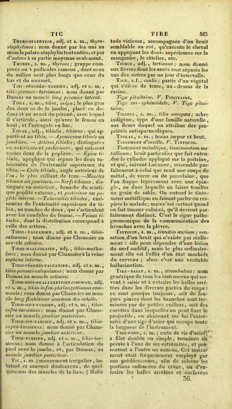 TIC Tryro-stapiiylin , adj. et s. m., thyro- slaphylinus ; nom donné par les uns au muscle palato-staphylin tout entier, et par d’autres à sa partie moyenne seulement. Thyrse, s. m., thyrsus ; grappe com- posée ou à pédicules rameux , dont ceux du milieu sont plus longs que ceux du bas et du sommet. ÏIEI-PÉRONEO-TARSIEN, adj. P.ts. m., iibi-peroneo- tarsianus ; nom donné par Dumas au musclé long péronier latéral. Tibia, s. m., tibia, xv/jpi; le plus gros des Jeux os de la jambe , placé en de- dans et en avant du péroné , avec lequel il s’articule , ainsi qu’avec le fémur en haut, et l’astragale en bas. Tibial, adj., tibialis, tibiceus ; qui. ap- partient au tibia. -—Aponévrose tibiale ou jambière. —Artères tibiales, distinguées en antérieure et postérieure, qui naissent toutes deux de la poplitée. — Épine ti- biale, apophyse qui sépare les deux tu- bérosités de l’extrémité supérieure du tibia. — Crète tibiale, angle antérieur de l’os, le plus saillant de tous.—Muscles tibiaux ou jambiers. — Nerfs tibiaux , dis- tingués en antérieur, branche du sciati- que poplité externe, et postérieur ou po- plité interne.—Tubérosités tibiales , émi- nences de l’extrémité supérieure du ti- bia, au nombre de deux, qui s’articulent avec les condyles du fémur. — Veines ti- biales, dont la distribution correspond à celle des artères. Tibio - calcanien , adj. et s. m., tibio- catcaneus; nom donné par Chaussier au inmcle soléaire. Tibio-mallkolaike, adj., tibin-malleo- laris ; nom donné par Chaussier à la veine saphène interne. TiBio-PEKONiii-cALCANiEx, adj. et s. m., tibio-peronei-calcanianus ; nom donné par Dumas au muscle soléaire. Tieio-sous-phalangettibncommun, adj. et s. m., tilno-infrà-phalangcttiunus com- muais; nom donné parChaussier au mus- cle long fléchisseur commun des orteils. Tibio-sous-tarsien , adj. et s. m., tibio- infrà-tarsianus ; nom donné parChaus- sier au muscle jambier postérieur. Tibio-sus-tarsien , adj. et s. m., tibio- suprà-tarsianus ; nom donné par Chaus- sier au muscle jambier antérieur. Tibio-tarsibn, adj. et s. m., tibio-tar- sianus; nom donné à l’articulation du pied avec la jambe, et, par Dumas, au muscle jambier postérieur. Tic , s. m. ; mouvement irrégulier, ha- bituel et souvent douloureux, de quel- ques-uns des muscles de la face. | Habi- T I RE 563 tude vicieuse, accompagnée d’un bruit semblable au rot, qu’exécute le cheval en appuyant les dents supérieures sur la mangeoire , le râtelier, etc. Tierce, adj., tertianus ; nom donné aux fièvres dont les accès sont séparés les uns des autres par un jour d’intervalle. Tige, s.f., caulis ; partie d’un végétal qui s’élève de terre, au-dessus de la racine. Tige pituitaire. V. Pituitaire. Tige sus - sphénoïdale. V. Tige pitui- taire. Tilleul, s. m., tilia europœa; arbre indigène, type d’une famille naturelle , aux fleurs duquel on attribue des pro- priétés antispasmodiques. Tinkal, s. m. ; borax impur et brut. Tintement d’oreille. V. Tintouin. Tintement métallique, tinnimentum me- iallicum; bruit particulier que fait enten- .dre le cylindre appliqué sur la poitrine, et qui, suivant Laënnec , ressemble par- faitement à celui que rend une coupe de métal, de verre ou de porcelaine , que l’on frappe légèrement avec une épin- gle, ou dans laquelle on laisse tomber un grain de sable. On entend le tinte- ment métallique en faisant parler ou res- pirer le malade; mais c’est surtout quand on fait tousser celui-ci, qu’il devient par- faitement distinct. C’est le signe patho- gnomonique de la communication des bronches avec la plèvre. Tintouin, s. m., tinnitus aurium ; sen- sation d’un bruit qui n’existe pas réelle- ment : elle peut dépendre d’une lésion du nerf auditif, mais le plus ordinaire- ment elle est l’effet d’un état morbide du cerveau ; alors c’est une véritable hallucination. Tire-balle, s. m., slrombulcus; nom générique de tous les instrumens qui ser- vent à saisir et à extraire les balles arrê- tées dans les diverses parties du corps : ce sont presque toujours , soit de lon- gues pinces dont les branches sont ter- minées par de petites cuillers, soit des curettes dans lesquelles on peut fixer le projectile, en abaissant sur lui l’extré- mité d’une tige d’acier qui occupe toute la longueur de l’instrument. Tire-fond, s. m.; sorte de vis d’acierJr à filet double ou simple, terminée en pointe à l’une de ses extrémités, et pré' sentant à l’autre un anneau. Cet instruJ ment était fréquemment employé par nos prédécesseurs, afin de relever les portions enfoncées du crâne, ou d’ex- traire les balles arrêtées et enclavées