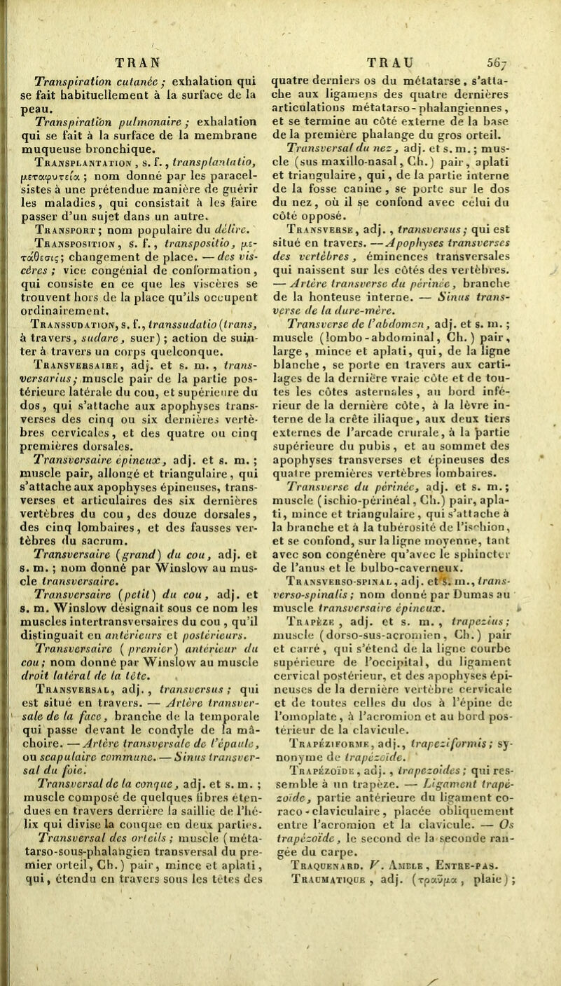 TR AN Transpiration cutanée; exhalation qui se fait habituellement à la surface de la peau. Transpiration pulmonaire ; exhalation qui se fait à la surface de la membrane muqueuse bronchique. Transplantation , s. f., trans plantatio, fASTacpvTsi'a ; nom donné par les paracel- sistes à une prétendue manière de guérir les maladies, qui consistait à les faire passer d’un sujet dans un autre. Transport; nom populaire du délire. Transposition, s. f., transpositio, p.s- Toldioiç; changement de place. —des vis- cères ; vice congénial de conformation, qui consiste en ce que les viscères se trouvent hors de la place qu’ils occupent ordinairement, Transsudation, s. f., transsudatio (trans, à travers, sudare, suer) ; action de suin- ter à travers un corps quelconque. Transversaire, adj. et s. m. , trans- versarius; muscle pair de la partie pos- térieure latérale du cou, et supérieure du dos, qui s’attache aux apophyses trans- verses des cinq ou six dernières vertè- bres cervicales, et des quatre ou cinq premières dorsales. Transversaire épineux, adj. et s. m. ; muscle pair, allongé et triangulaire , qui s’attache aux apophyses épineuses, trans- verses et articulaires des six dernières vertèbres du cou , des douze dorsales, des cinq lombaires, et des fausses ver- tèbres du sacrum. Transversaire {grand) du cou, adj. et s. m. ; nom donné par Winslow au mus- cle transversaire. Transversaire (petit) du cou, adj. et s. m. Winslow désignait sous ce nom les muscles intertransversaires du cou , qu’il distinguait en antérieurs et postérieurs. Transversaire ( premier) antérieur du cou; nom donné par Winslow au muscle droit latéral de la tête. Transversal, adj., transversus ; qui est situé en travers. — Artère transver- sale de la face, branche de la temporale qui passe devant le condyle de la mâ- choire. — Artère transversale de l’épaule, ou scapulaire commune. — Sinus transver- sal du foie '. Transversal de la conque, adj. et s. m. ; muscle composé de quelques libres éten- dues en travers derrière la saillie de l’hé- lix qui divise la conque en deux parties. Transversal des orteils; muscle (méta- tarso-sous-phalangien transversal du pre- mier orteil, Ch.) pair, mince et aplati, qui, étendu en travers sous les tètes des TR AU 56/ quatre derniers os du métatarse, s'atta- che aux ligamens des quatre dernières articulations métatarso-phalangiennes, et se termine au côté externe de la base de la première phalange du gros orteil. Transversal du nez, adj. et s. m. ; mus- cle (sus maxillo-nasal, Ch.) pair, aplati et triangulaire, qui, delà partie interne de la fosse canine , se porte sur le dos du nez, où il $e confond avec celui du côté opposé. Transverse, adj. , transversus ; qui est situé en travers. —Apophyses transverscs des vertèbres, éminences transversales qui naissent sur les côtés des vertèbres. — Artère transverse du périnée, branche de la honteuse interne. — Sinus trans- verse de la dure-mère. Transverse de l’abdomen, adj. et s. m. ; muscle (lombo-abdominal, Ch.) pair, large, mince et aplati, qui, de la ligne blanche, se porte en travers aux carti- lages de la dernière vraie côte et de tou- tes les côtes asternsles, au bord infé- rieur de la dernière côte, à la lèvre in- terne de la crête iliaque, aux deux tiers externes de l’arcade crurale, à la partie supérieure du pubis, et au sommet des apophyses transverses et épineuses des quatre premières vertèbres lombaires. Transverse du périnée, adj. et s. m.; muscle ( ischio-périnéal, Ch.) pair, apla- ti, mince et triangulaire, qui s’attache à la branche et à la tubérosité de l’ischion, et se confond, sur la ligne moyenne, tant avec son congénère qu’avec le sphincter de l’anus et le bulbo-caverneux. Transverso-spinal, adj. et’5. m., trans- verso-spinalis ; nom donné par Dumas au muscle transversaire épineux. Trapèze, adj. et s. m. , trapezius ; muscle ( dorso-sus-acromien , Ch.) pair et carré, qui s’étend de la ligne courbe supérieure de l’occipital, du ligament cervical postérieur, et des apophyses épi- neuses de la dernière vertèbre cervicale et de toutes celles du dos à l’épine de l’omoplate, à l’acromiun et au bord pos- térieur de la clavicule. Trapéziforme, adj., trapeziformis; sy- nonyme de trapézoïde. Trapézoïde , adj., irapezoides ; qui res- semble à un trapèze. —• Ligament irapé- zoidc, partie antérieure du ligament co- raco ■> claviculaire , placée obliquement entre l’acromion et la clavicule. — Os trapézoïde, le second de la seconde ran- gée du carpe. Traquenard. V. Amele , Entre-pas. Traumatique, adj. (rpaop-u , plaie);