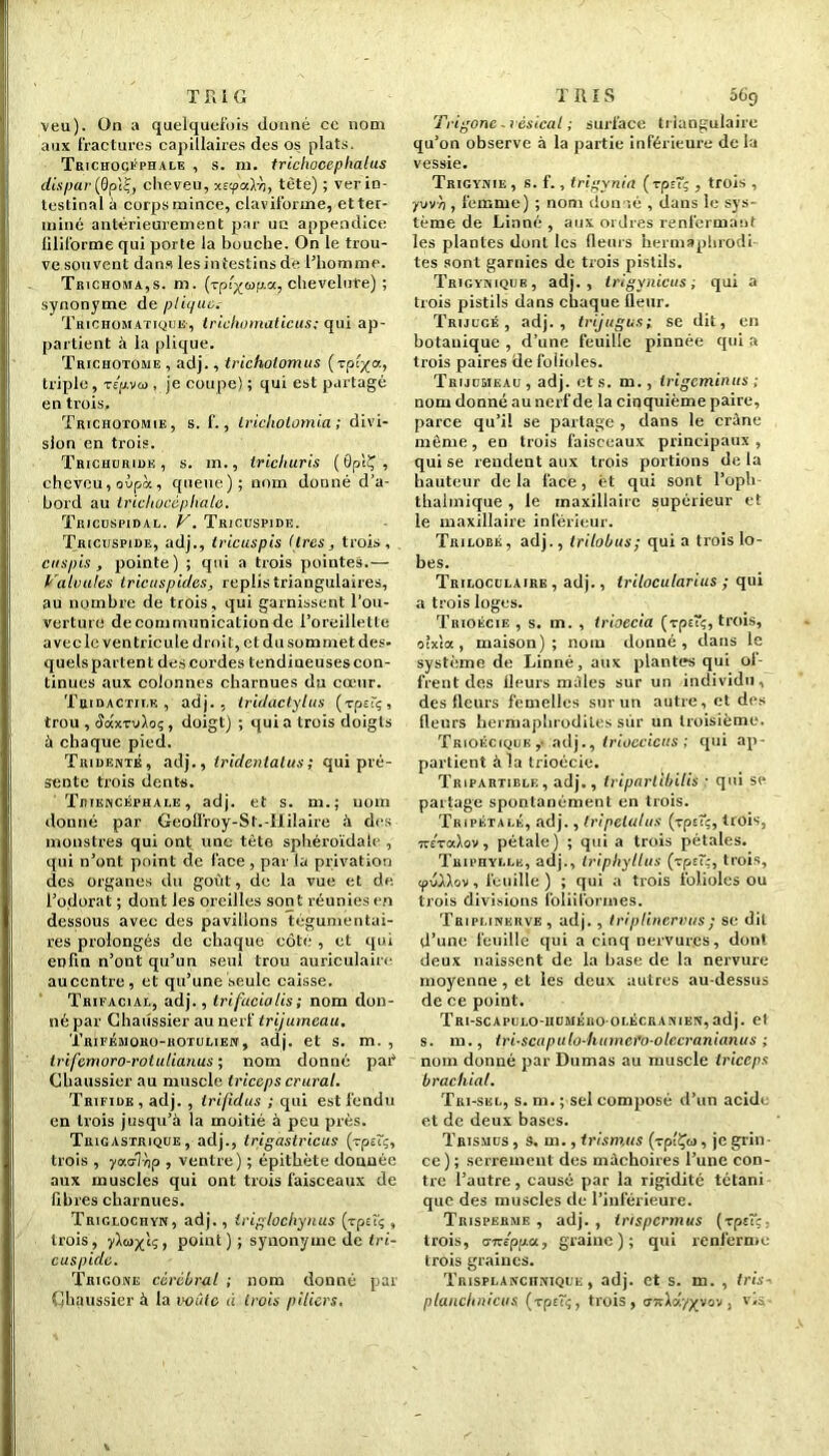T RI G veu). Un a quelquefois donné ce nom aux fractures capillaires des os plats. Trichocéphale , s. ni. trichpcephalus dispar (0p!Ç( clieveu, xripalvj, tète) ; ver in- testinal à corps mince, clavilbrme, et ter- miné antérieurement par ue appendice filiforme qui porte la bouche. On le trou- ve souvent dans lesintestinsde l’homme. Trichoma,s. m. (-rplyapa, chevelure) ; synonyme de plii/uc. Thichomatiquë-, trichomaticus; qui ap- partient à la plique. Trichotome , adj., tricholomus (rpi/a, triple, TEfivai, je coupe) ; qui est partagé en trois. Trichotomie, s. f., Iricliotomia; divi- sion en trois. Trichdriue , s. m., trichuris ( 0p!Ç , cheveu, oùpà, queue); nom donné d’a- bord au trichocéphale. Tricuspidal. V. Tricuspide. Tricuspide, adj., tricuspis (1res, trois, en spis , pointe) ; qui a trois pointes.— Valvules tricuspides, replis triangulaires, au nombre de trois, qui garnissent l’ou- verture decommunicationde l’oreillette avec le ventricule droit, et du sommet des- quelspartent descordes tendineuses con- tinues aux colonnes charnues du cœur. Tridactile , adj., tridactylus (rpzïç, trou , ddxTvIoç , doigt) ; qui a trois doigts à chaque pied. Tridenté, adj., tridentalus; qui pré- sente trois dents. Tdiencéphale , adj. et s. m.; uom donné par Geoffroy-St.-Hilaire à des monstres qui ont une tète sphéroïdale , qui n’ont point de face , par la privation des organes du goût, de la vue et de l’odorat ; dont les oreilles sont réunies en dessous avec des pavillons tégumentai- res prolongés de chaque côte , et qui enfin n’ont qu’un seul trou auriculaire au centre, et qu’une seule caisse. Trifacial, adj., trifacialis; nom don- né par Chadssier au nerf trijumeau. Trifémoro-hotulien, adj. et s. m. , trifemoro-rotulianus ; nom donné par Chaussier au muscle triceps crural. Trifide , adj. , trifidus ; qui est fendu en trois jusqu’à la moitié à peu près. Trigastrique , adj., trigastricus (-rpe'ç, trois , yacrT)ip , ventre) ; épithète donnée aux muscles qui ont trois faisceaux de libres charnues. Triglociiyn, adj., iriglochynus (vpeî'ç , trois, W, point) ; synonyme de tri- cuspide. Trigone cérébral ; nom donné par Chaussier à la voûte à trois piliers. TRIS 56j> Trigone. vésical ; surface triangulaire qu’on observe à la partie inférieure de la vessie. Trigynie, s. f., trigynia (rpuç , trois , yvvh , femme) ; nom donné , dans le sys- tème de Linné , aux ordres renfermant les plantes dont les fleurs hermaphrodi- tes sont garnies de trois pistils. Trigyniqdr, adj., irigynicus ; qui a trois pistils dans chaque fleur. Trijcgé , adj., trijugus; se dit, en botanique , d’une feuille pinnée qui a trois paires de folioles. Trijcsieau, adj. et s. m., trigeminus ; nom donné au nerf de la cinquième paire, parce qu’il se partage , dans le crâne même, en trois faisceaux principaux, qui se rendent aux trois portions de la hauteur delà face, èt qui sont l’oph- thalmique , le maxillaire supérieur et le maxillaire inférieur. Trilobé, adj., trilobus; quia trois lo- bes. Triloculaire , adj., trilocularius ; qui a trois loges. Tiuoécie , s. m. , trioecia (rpttç, trois, oîxla , maison); nom donné, dans le système de Linné, aux plantes qui ol- frent des fleurs mâles sur un individu, des fleurs femelles sur un autre, et des fleurs hermaphrodites sur un troisième. Trioécique adj., trioecicus ; qui ap- partient à la trioécie. Tripartiblf,, adj., triparlibilis : qui si* partage spontanément en trois. Tripétalé, adj., tripelulus (rpEtç, trois, •jrévafov, pétale) ; qui a trois pétales. Triphyllë, adj., triphyllus (vp£~;, trois, cpuXXov, feuille) ; qui a trois folioles ou trois divisions foliiformes. Triplinerve, adj. , triplincrvus; se dit d’une feuille qui a cinq nervures, dont deux naissent de la base de la nervure moyenne, et les deux autres au-dessus de ce point. TrI-SCAPULO-IIUMÉhO-OLÉCRANIEN, adj. et s. m., tri-scapulo-humefo-olecranianus ; nom donné par Dumas au muscle triceps brachial. Tri-sel, s. m. ; sel composé d’un acide et de deux bases. Trismus , s. m., trismus (vpiÇo, je grin- ce) ; serrement des mâchoires l’une con- tre l’autre, causé par la rigidité tétani que des muscles de l’inférieure. Trisperme , adj. , irispermus (rpt~ç, trois, a-Kippa., graine); qui renferme trois graines. Trisplanchnique , adj. et s. m. , tris- planchnicus (vp eTç, trois, cntXâyyvov t v«s-