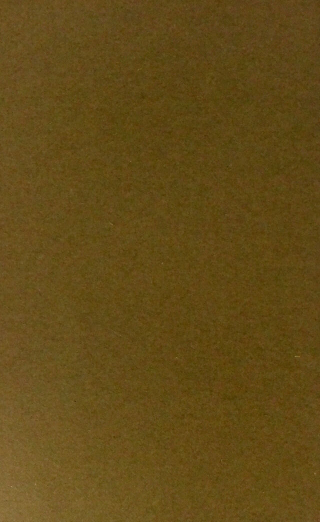 digitised image 2