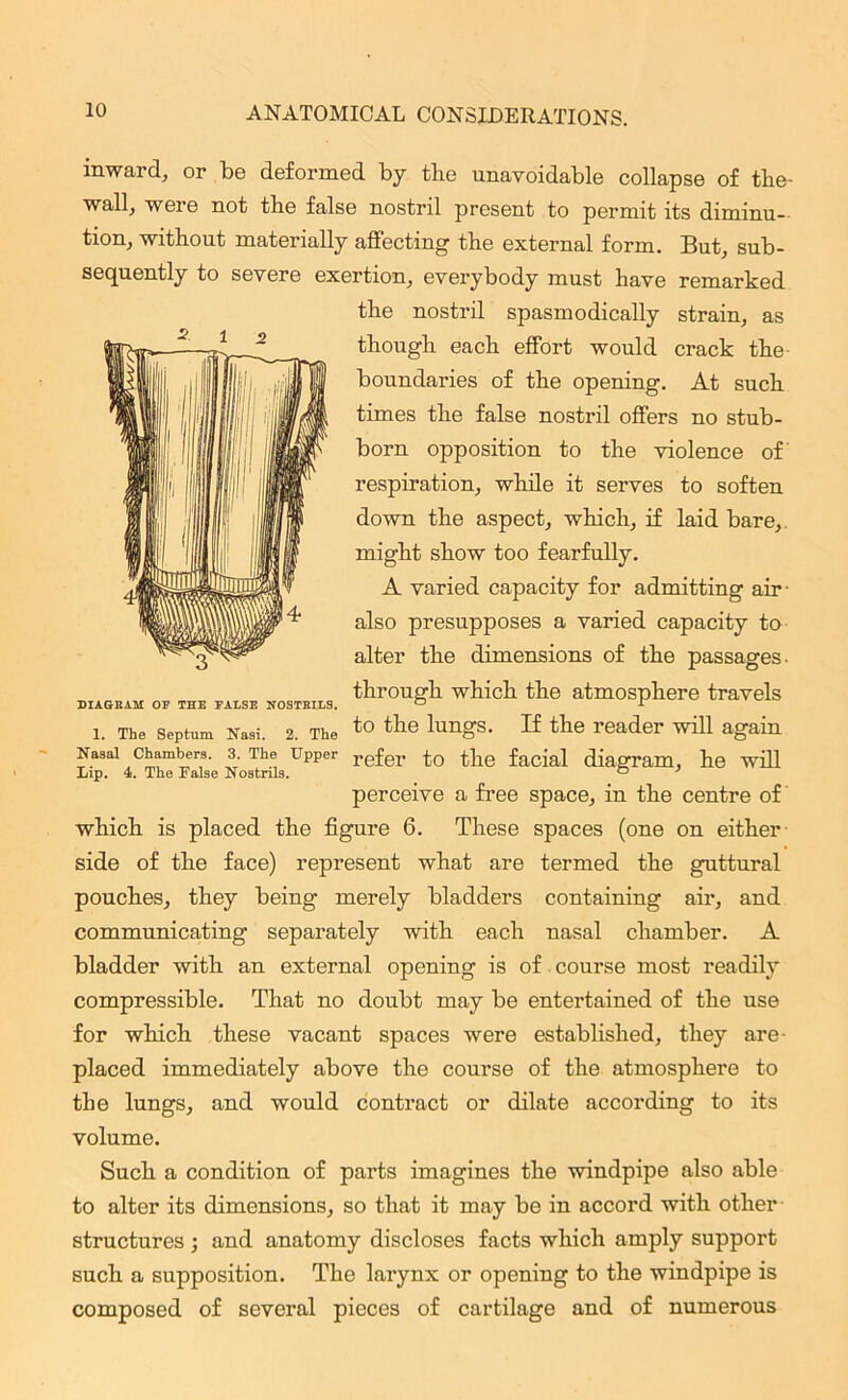 inward, or be deformed by the unavoidable collapse of the- wall, weie not the false nostril present to permit its diminu- tion, without materially affecting the external form. But, sub- sequently to severe exertion, everybody must have remarked the nostril spasmodically strain, as though each effort would crack the boundaries of the opening. At such times the false nostril offers no stub- born opposition to the violence of respiration, while it serves to soften down the aspect, which, if laid bare, might show too fearfully. A varied capacity for admitting air- also presupposes a varied capacity to alter the dimensions of the passages, through which the atmosphere travels 1. The Septum Nasi. 2. The to tlie lungs- If tlie reader will again Nasal chambers. 3. The Upper refor to the facial diagram, he will Lip. 4. The False Nostrils. G 7 DIAGRAM OF THE FALSE NOSTRILS. perceive a free space, in the centre of which is placed the figure 6. These spaces (one on either side of the face) represent what are termed the guttural pouches, they being merely bladders containing air, and communicating separately with each nasal chamber. A bladder with an external opening is of course most readily compressible. That no doubt may be entertained of the use for which these vacant spaces were established, they are- placed immediately above the course of the atmosphere to the lungs, and would contract or dilate according to its volume. Such a condition of parts imagines the windpipe also able to alter its dimensions, so that it may be in accord with other structures ; and anatomy discloses facts which amply support such a supposition. The larynx or opening to the windpipe is composed of several pieces of cartilage and of numerous