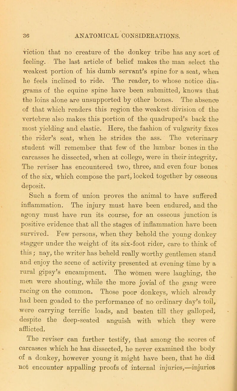 viction that no creature of the donkey tribe has any sort of feeling. The last article of belief makes the man select the ■weakest portion of his dumb servant’s spine for a seat, when he feels inclined to ride. The reader, to whose notice dia- grams of the equine spine have been submitted, knows that the loins alone are unsupported by other bones. The absence of that which renders this region the weakest division of the vertebrae also makes this portion of the quadruped’s back the most yielding and elastic. Here, the fashion of vulgarity fixes the rider’s seat, when he strides the ass. The veterinary student will remember that few of the lumbar bones in the carcasses he dissected, when at college, were in their integrity. The reviser has encountered two, three, and even four bones of the six, which compose the part, locked together by osseous deposit. Such a form of union proves the animal to have suffered inflammation. The injury must have been endured, and the agony must have run its course, for an osseous junction is positive evidence that all the stages of inflammation have been survived. Few persons, when they behold the young donkey stagger under the weight of its six-foot rider, care to think of this; nay, the writer has beheld really worthy gentlemen stand and enjoy the scene of activity presented at evening time by a rural gipsy’s encampment. The women were laughing, the men were shouting, while the more jovial of the gang were racing on the common. Those poor donkeys, which already had been goaded to the performance of no ordinary day’s toil, were carrying terrific loads, and beaten till they galloped, despite the deep-seated anguish with which they were afflicted. The reviser can further testify, that among the scores of carcasses which he has dissected, he never examined the body of a donkey, however young it might have been, that he did not encounter appalling proofs of internal injuries,—injuries
