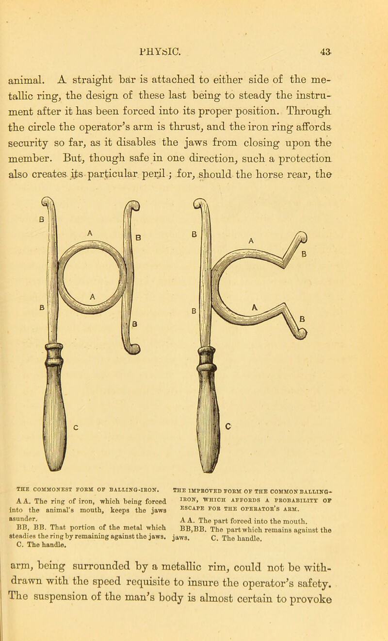 animal. A straight bar is attached to either side of the me- tallic ring, the design of these last being to steady the instru- ment after it has been forced into its proper position. Through the circle the operator’s arm is thrust, and the iron ring affords security so far, as it disables the jaws from closing upon the member. But, though safe in one direction, such a protection also creates its particular peril; for, should the horse rear, the THE COMMONEST FOHM OP PALLING-IRON. A A. The ring of iron, ■which being forced into the animal’s mouth, keeps tho jaws asunder. BB, BB. That portion of the metal which steadies the ring by remaining against the jaws. C. The handle. the improved poem op the common balling- IBON, WHICH APFOEDS A PROBABILITY OF ESCAPE POE THE OPERATOR'S ARM. A A. The part forced into the mouth. BB,BB. The part which remains against tho jaws. C. The handle. arm, being surrounded by a metallic rim, could not be with- drawn with the speed requisite to insure the operator’s safety. The suspension of the man’s body is almost certain to provoke