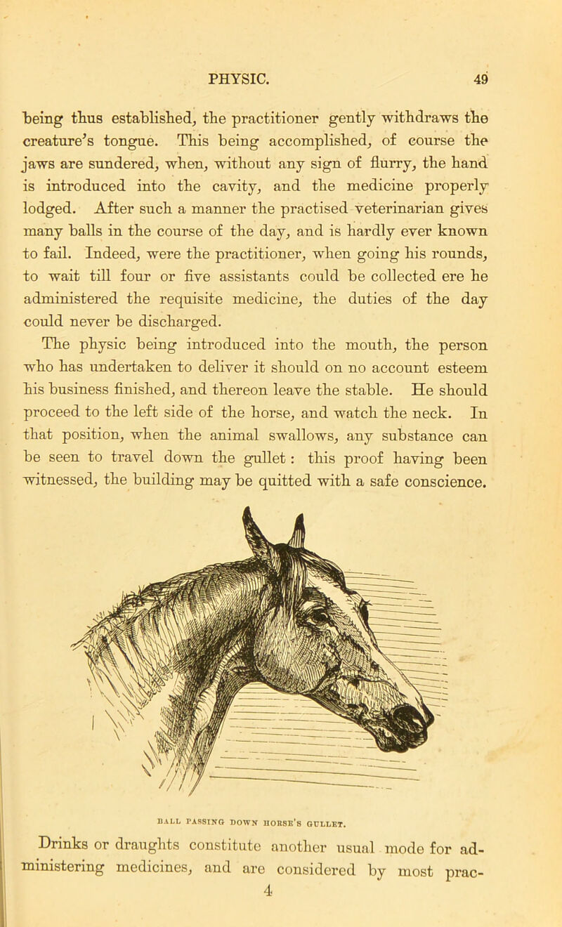 being thus established, the practitioner gently withdraws the creature’s tongue. This being accomplished, of course the jaws are sundered, when, without any sign of flurry, the hand is introduced into the cavity, and the medicine properly lodged. After such a manner the practised veterinarian gives many balls in the course of the day, and is hardly ever known to fail. Indeed, were the practitioner, when going his rounds, to wait till four or five assistants could be collected ere he administered the requisite medicine, the duties of the day could never be discharged. The physic being introduced into the mouth, the person who has undertaken to deliver it should on no account esteem his business finished, and thereon leave the stable. He should proceed to the left side of the horse, and watch the neck. In that position, when the animal swallows, any substance can be seen to travel down the gullet: this proof having been witnessed, the building may be quitted with a safe conscience. BALL rASSING DOWN IIOBSE’s GULLET. Drinks or draughts constitute another usual mode for ad- ministering medicines, and are considered by most prac- 4