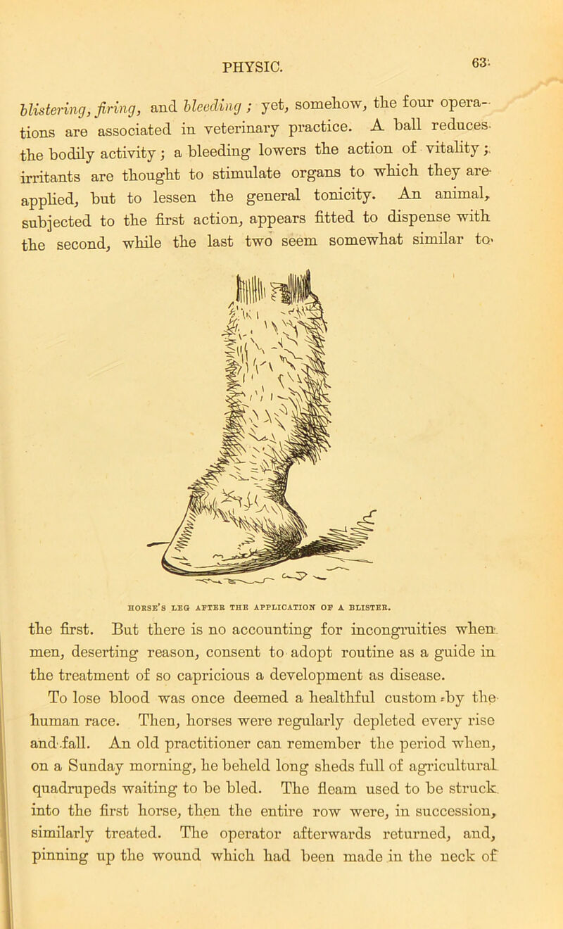 63'- blistering, firing, and bleeding ; yet, somehow, the four opera- tions are associated in veterinary practice. A ball reduces- the bodily activity; a bleeding lowers the action of vitality irritants are thought to stimulate organs to which they are- applied, but to lessen the general tonicity. An animal, subjected to the first action, appears fitted to dispense with the second, while the last two seem somewhat similar to< horse’s leg after the application of a blister. the first. But there is no accounting for incongruities when, men, deserting reason, consent to adopt routine as a guide in the treatment of so capricious a development as disease. To lose blood was once deemed a healthful custom .-by the human race. Then, horses were regularly depleted every rise ahd-.fall. An old practitioner can remember the period when, on a Sunday morning, he beheld long sheds full of agricultural quadrupeds waiting to be bled. The fleam used to be struck into the first horse, then the entire row were, in succession, similarly treated. The operator afterwards returned, and, pinning up the wound which had been made in the neck of