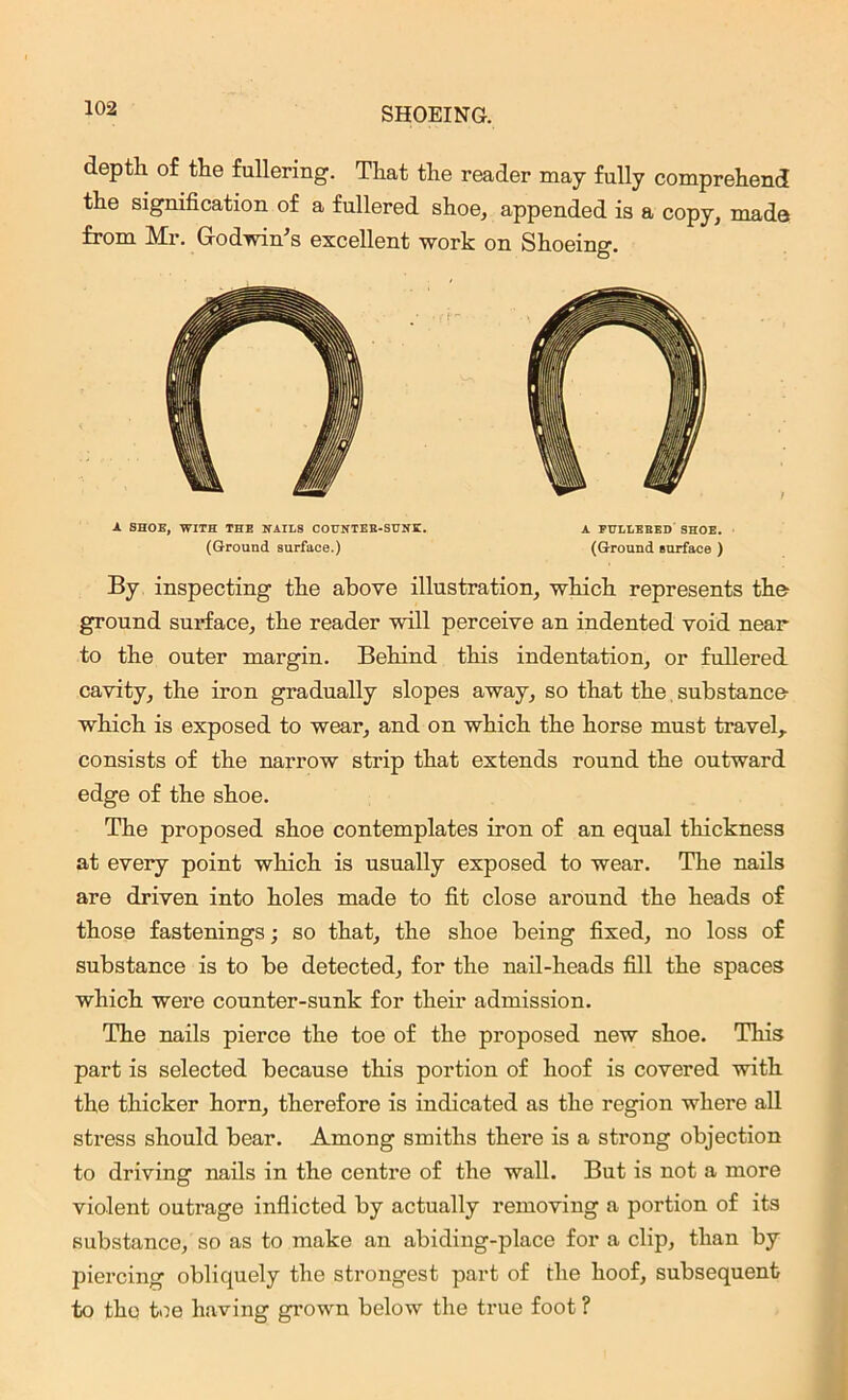 depth of the fullering. That the reader may fully comprehend the signification of a fullered shoe, appended is a copy, made from Mr. Godwin's excellent work on Shoeing. A SHOE, WITH THE NAILS COUNTER-SUNK. A FULLERED SHOE. (Ground surface.) (Ground surface ) By inspecting the above illustration, which represents the ground surface, the reader will perceive an indented void near to the outer margin. Behind this indentation, or fullered cavity, the iron gradually slopes away, so that the, substance which is exposed to wear, and on which the horse must travel,, consists of the narrow strip that extends round the outward edge of the shoe. The proposed shoe contemplates iron of an equal thickness at every point which is usually exposed to wear. The nails are driven into holes made to fit close around the heads of those fastenings; so that, the shoe being fixed, no loss of substance is to be detected, for the nail-heads fill the spaces which were counter-sunk for their admission. The nails pierce the toe of the proposed new shoe. This part is selected because this portion of hoof is covered with the thicker horn, therefore is indicated as the region where all stress should bear. Among smiths there is a strong objection to driving nails in the centre of the wall. But is not a more violent outrage inflicted by actually removing a portion of its substance, so as to make an abiding-place for a clip, than by piercing obliquely the strongest part of the hoof, subsequent to tho toe having grown below the true foot ?