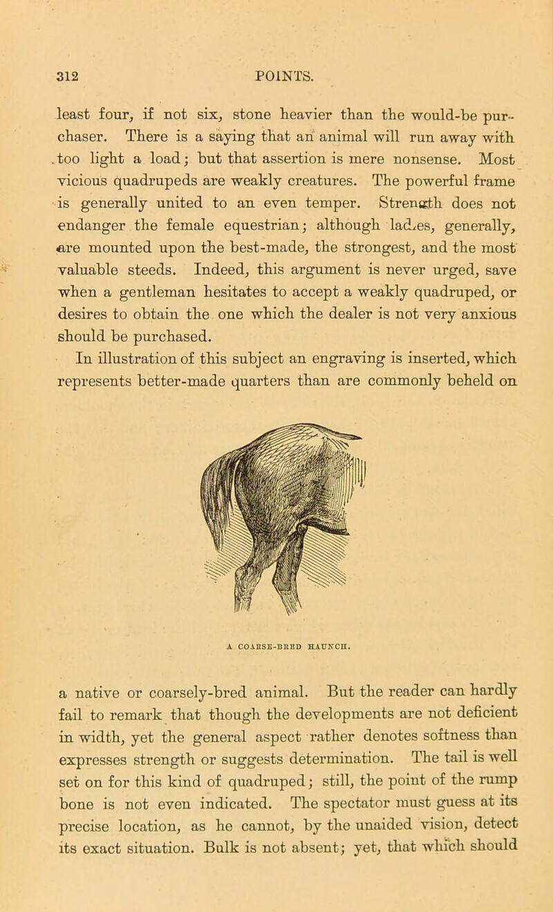 least four, if not six, stone heavier than the would-be pur- chaser. There is a saying that an animal will run away with . too light a load; but that assertion is mere nonsense. Most vicious quadrupeds are weakly creatures. The powerful frame is generally united to an even temper. Strength does not endanger the female equestrian; although laches, generally, are mounted upon the best-made, the strongest, and the most valuable steeds. Indeed, this argument is never urged, save when a gentleman hesitates to accept a weakly quadruped, or desires to obtain the one which the dealer is not very anxious should be purchased. In illustration of this subject an engraving is inserted, which represents better-made quarters than are commonly beheld on A COARSE-BRED HAUNCH. a native or coarsely-bred animal. But the reader can hardly fail to remark that though the developments are not deficient in width, yet the general aspect rather denotes softness than expresses strength or suggests determination. The tail is well set on for this kind of quadruped; still, the point of the rump bone is not even indicated. The spectator must guess at its precise location, as he cannot, by the unaided vision, detect its exact situation. Bulk is not absent; yet, that which should