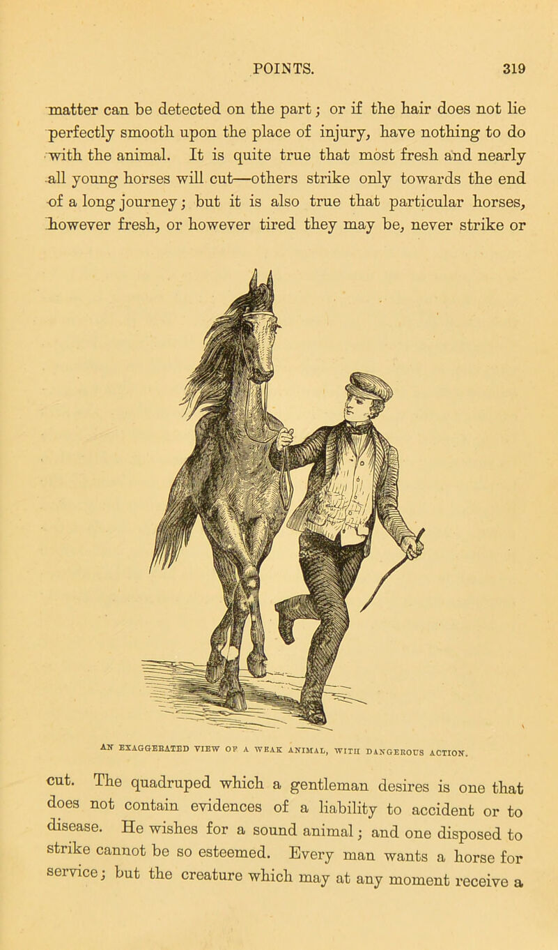 matter can be detected on the part; or if the hair does not lie perfectly smooth upon the place of injury, have nothing to do with the animal. It is quite true that most fresh and nearly all young horses will cut—others strike only towards the end of a long journey; but it is also true that particular horses, however fresh, or however tired they may be, never strike or an exaggerated view of a weak animal, witii dangerous action. cut. The quadruped which a gentleman desires is one that does not contain evidences of a liability to accident or to disease. He wishes for a sound animal; and one disposed to strike cannot be so esteemed. Every man wants a horse for service; but the creature which may at any moment receive a