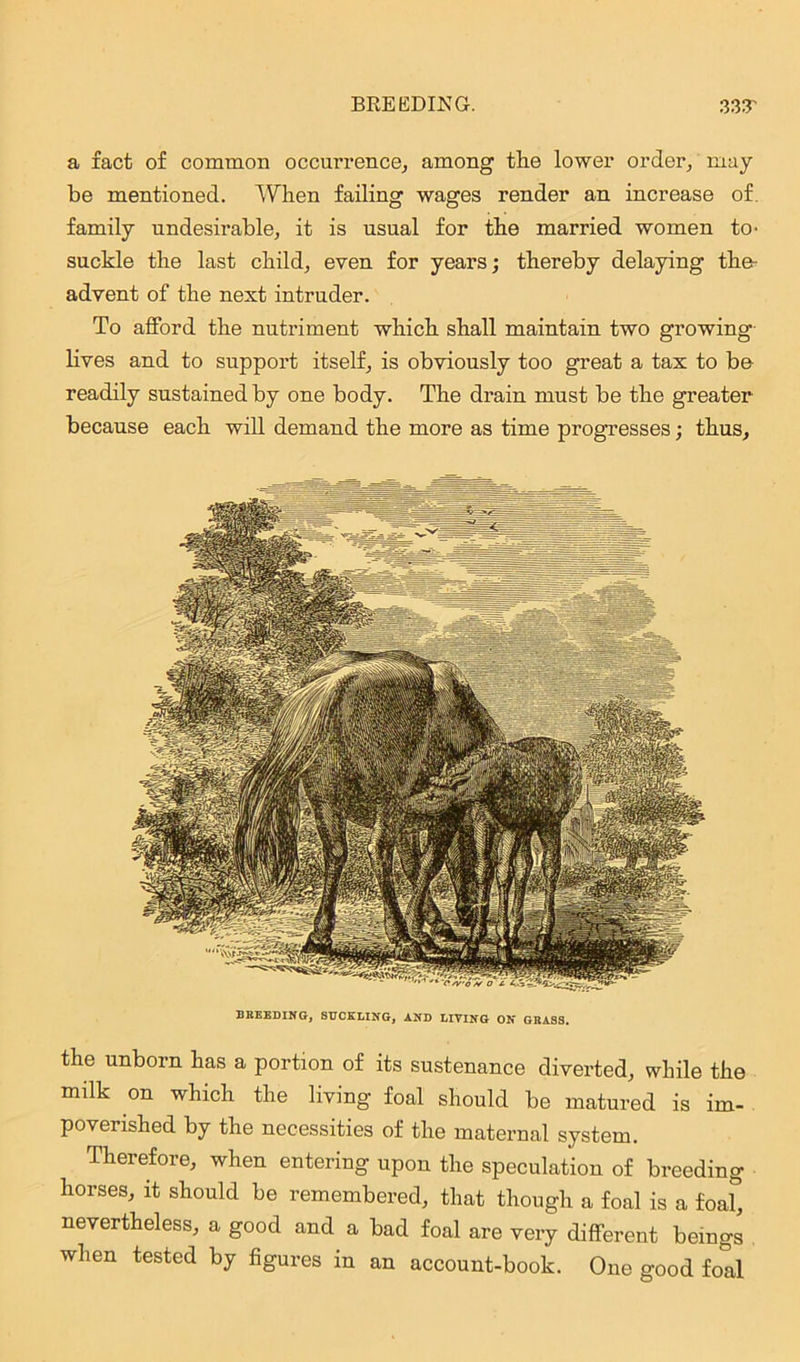 a fact of common occurrence, among the lower order, may be mentioned. When failing wages render an increase of. family undesirable, it is usual for the married women to- suckle the last child, even for years; thereby delaying tlie- advent of the next intruder. To afford the nutriment which shall maintain two growing lives and to support itself, is obviously too great a tax to be- readily sustained by one body. The drain must be the greater because each will demand the more as time progresses; thus. BREEDING, SUCKLING, AND LIVING ON GRASS. the unborn has a portion of its sustenance diverted, while the milk on which the living foal should be matured is im- poverished by the necessities of the maternal system. Therefore, when entering upon the speculation of breeding horses, it should be remembered, that though a foal is a foal0, nevertheless, a good and a bad foal are very different beings when tested by figures in an account-book. One good foal