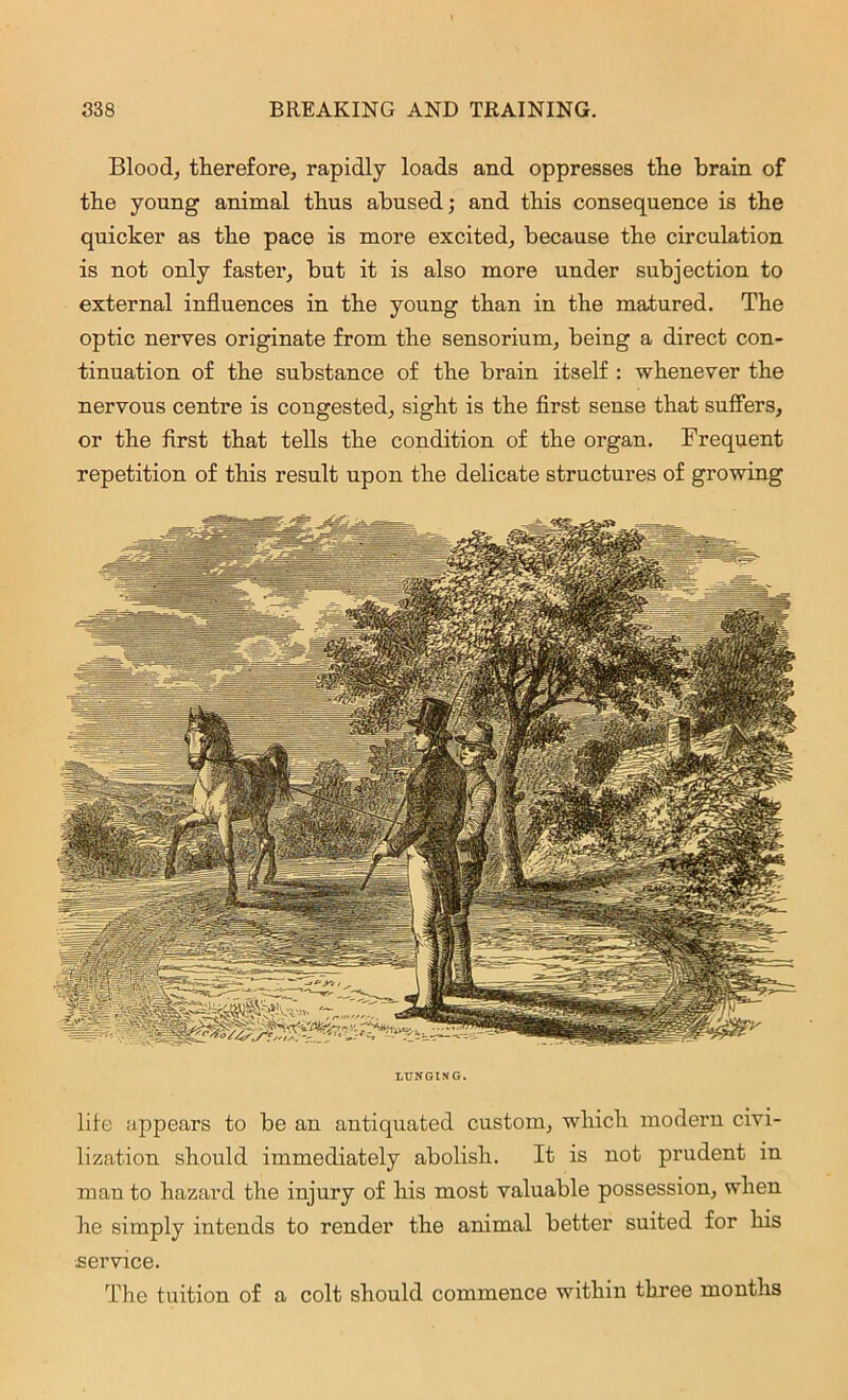 Blood, therefore, rapidly loads and oppresses the brain of the young animal thus abused; and this consequence is the quicker as the pace is more excited, because the circulation is not only faster, but it is also more under subjection to external influences in the young than in the matured. The optic nerves originate from the sensorium, being a direct con- tinuation of the substance of the brain itself : whenever the nervous centre is congested, sight is the first sense that suffers, or the first that tells the condition of the organ. Frequent repetition of this result upon the delicate structures of growing LUNGING. life appears to be an antiquated custom, which modern civi- lization should immediately abolish. It is not prudent in man to hazard the injury of his most valuable possession, when he simply intends to render the animal better suited for his service. The tuition of a colt should commence within three months