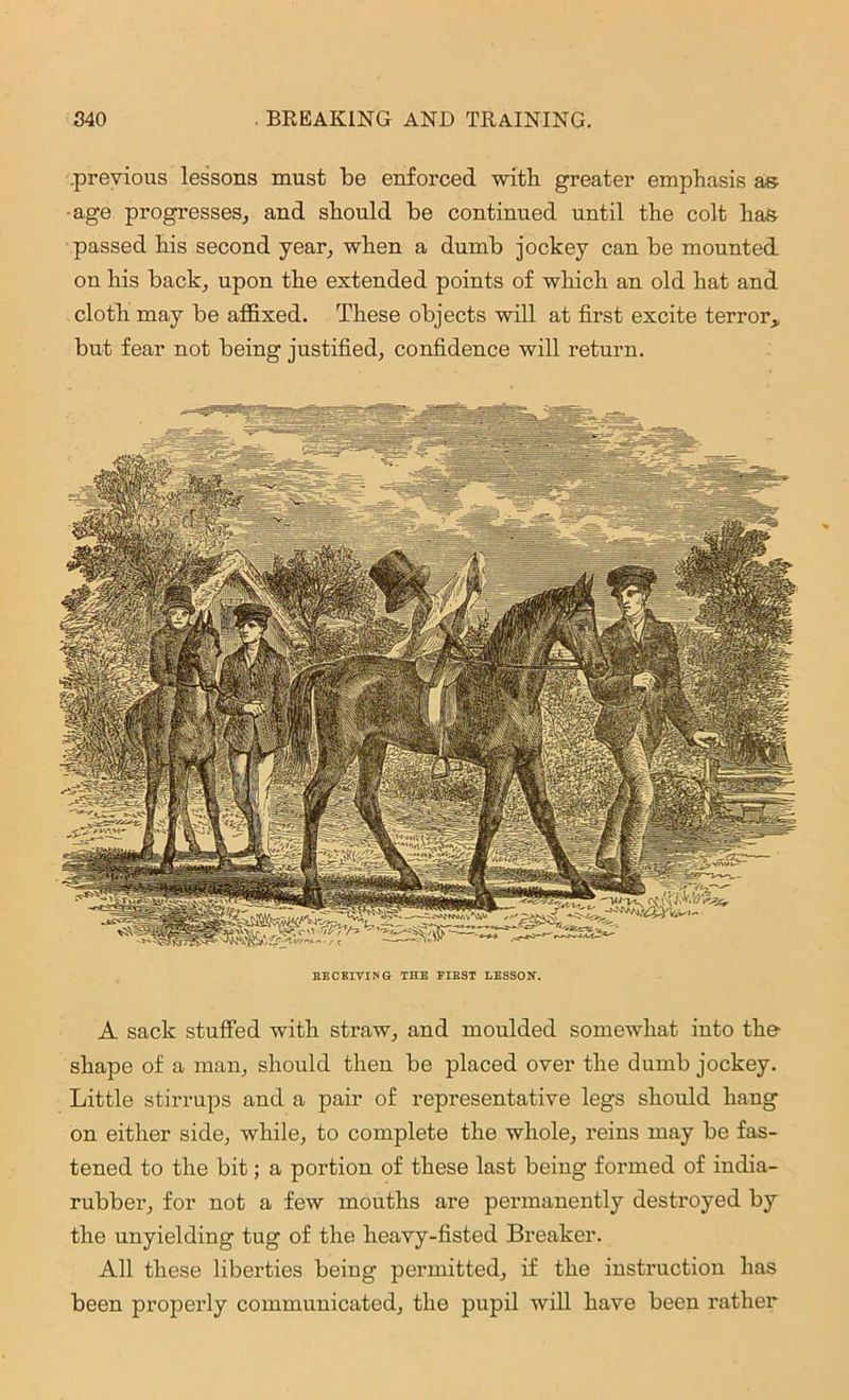 previous lessons must be enforced with greater emphasis as age progresses, and should be continued until the colt has passed his second year, when a dumb jockey can be mounted on his back, upon the extended points of which an old hat and cloth may be affixed. These objects will at first excite terror* but fear not being justified, confidence will return. RECEIVING THE FIRST LESSON. A sack stuffed with straw, and moulded somewhat into the- shape of a man, should then be placed over the dumb jockey. Little stirrups and a pair of representative legs should hang on either side, while, to complete the whole, reins may be fas- tened to the bit; a portion of these last being formed of india- rubber, for not a few mouths are permanently destroyed by the unyielding tug of the heavy-fisted Breaker. All these liberties being permitted, if the instruction has been properly communicated, the pupil will have been rather