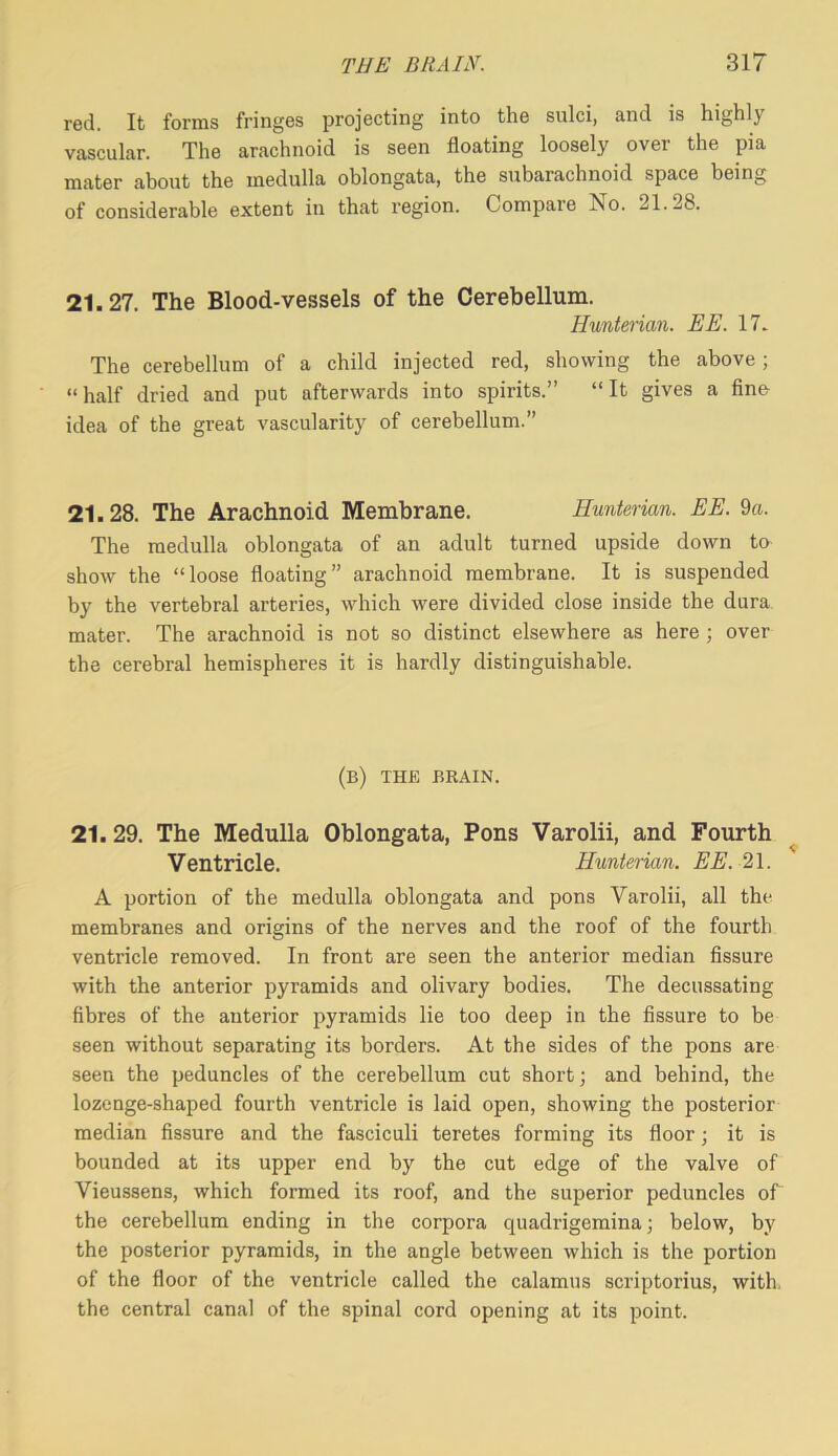red. It forms fringes i^rojecting into the sulci, and is highly vascular. The arachnoid is seen floating loosely over the pia mater about the medulla oblongata, the subarachnoid space being of considerable extent in that region. Compare No. 21.28. 21.27. The Blood-vessels of the Cerebellum. Hunterian. EE. 17. The cerebellum of a child injected red, showing the above; “ half dried and put afterwards into spirits.” “ It gives a fine- idea of the great vascularity of cerebellum.” 21.28. The Arachnoid Membrane. Hunterian. EE. 9a. The medulla oblongata of an adult turned upside down to show the “loose floating” arachnoid membrane. It is suspended by the vertebral arteries, which were divided close inside the dura mater. The arachnoid is not so distinct elsewhere as here; over the cerebral hemispheres it is hardly distinguishable. (b) the brain. 21. 29. The Medulla Oblongata, Pons Varolii, and Fourth Ventricle. Hunterian. EE. 2\. A portion of the medulla oblongata and pons Varolii, all the membranes and origins of the nerves and the roof of the fourth ventricle removed. In front are seen the anterior median fissure with the anterior pyramids and olivary bodies. The decussating fibres of the anterior pyramids lie too deep in the fissure to be seen without separating its borders. At the sides of the pons are seen the peduncles of the cerebellum cut short; and behind, the lozenge-shaped fourth ventricle is laid open, showing the posterior median fissure and the fasciculi teretes forming its floor; it is bounded at its upper end by the cut edge of the valve of Vieussens, which formed its roof, and the superior peduncles of the cerebellum ending in the corpora quadrigemina; below, by the posterior pyramids, in the angle between which is the portion of the floor of the ventricle called the calamus scriptorius, with, the central canal of the spinal cord opening at its point.