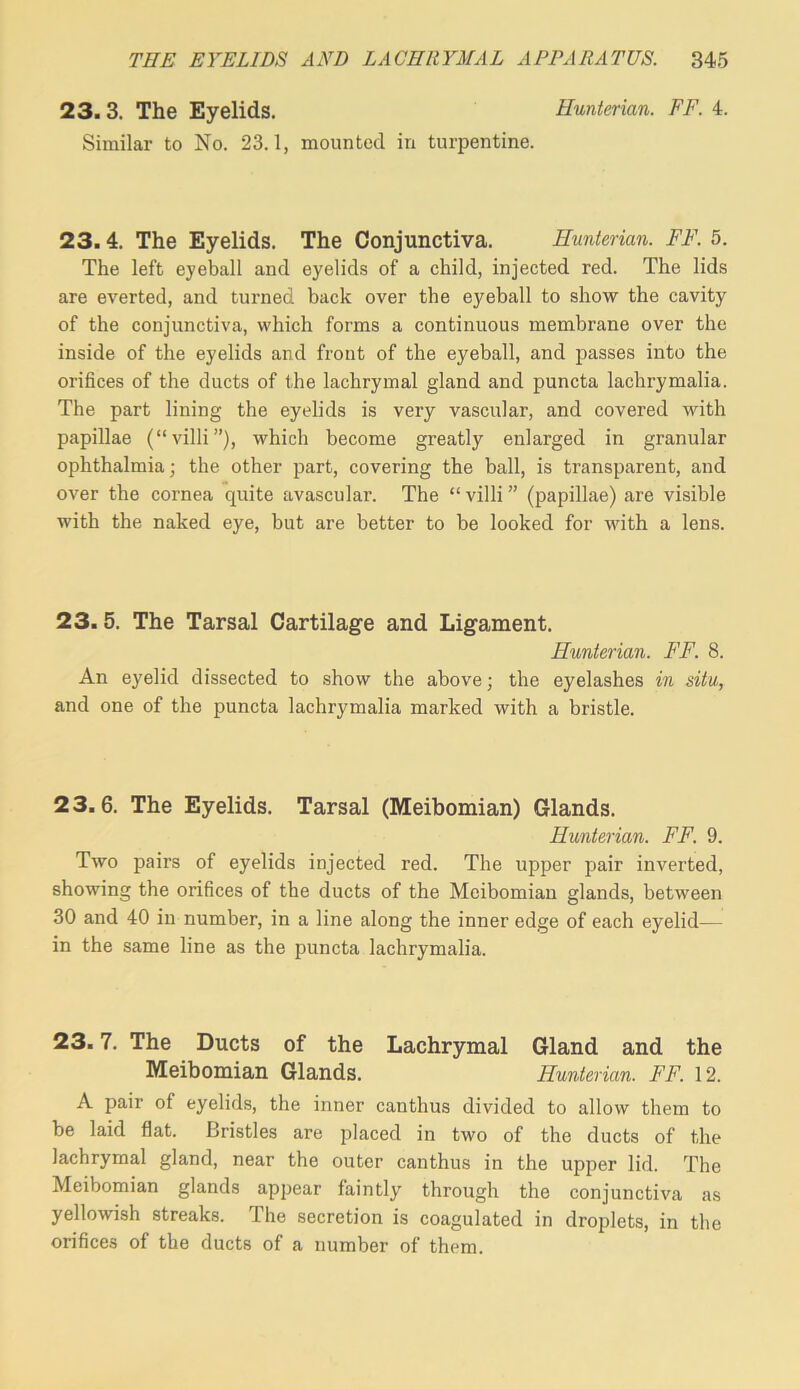 23. 3. The Eyelids. Hunterian. FF. 4. Similar to No. 23.1, mounted in turpentine. 23.4. The Eyelids. The Conjunctiva. Hunterian. FF. 5. The left eyeball and eyelids of a child, injected red. The lids are everted, and turned back over the eyeball to show the cavity of the conjunctiva, which forms a continuous membrane over the inside of the eyelids and front of the eyeball, and passes into the orifices of the ducts of the lachrymal gland and puncta lachrymalia. The part lining the eyelids is very vascular, and covered with papillae (“villi”), which become greatly enlarged in granular ophthalmia; the other part, covering the ball, is transparent, and over the cornea quite avascular. The “villi” (papillae) are visible with the naked eye, but are better to be looked for with a lens. 23.5. The Tarsal Cartilage and Ligament. Hunterian. FF. 8. An eyelid dissected to show the above; the eyelashes in situ, and one of the puncta lachrymalia marked with a bristle. 23.6. The Eyelids. Tarsal (Meibomian) Glands. Hunterian. FF. 9. Two pairs of eyelids injected red. The upper pair inverted, showing the orifices of the ducts of the Meibomian glands, between 30 and 40 in number, in a line along the inner edge of each eyelid— in the same line as the puncta lachrymalia. 23.7. The Ducts of the Lachrymal Gland and the Meibomian Glands. Hunterian. FF. 12. A pair of eyelids, the inner canthus divided to allow them to be laid flat. Bristles are placed in two of the ducts of the lachrymal gland, near the outer canthus in the upper lid. The Meibomian glands appear faintly through the conjunctiva as yellowish streaks. The secretion is coagulated in droplets, in the orifices of the ducts of a number of them.