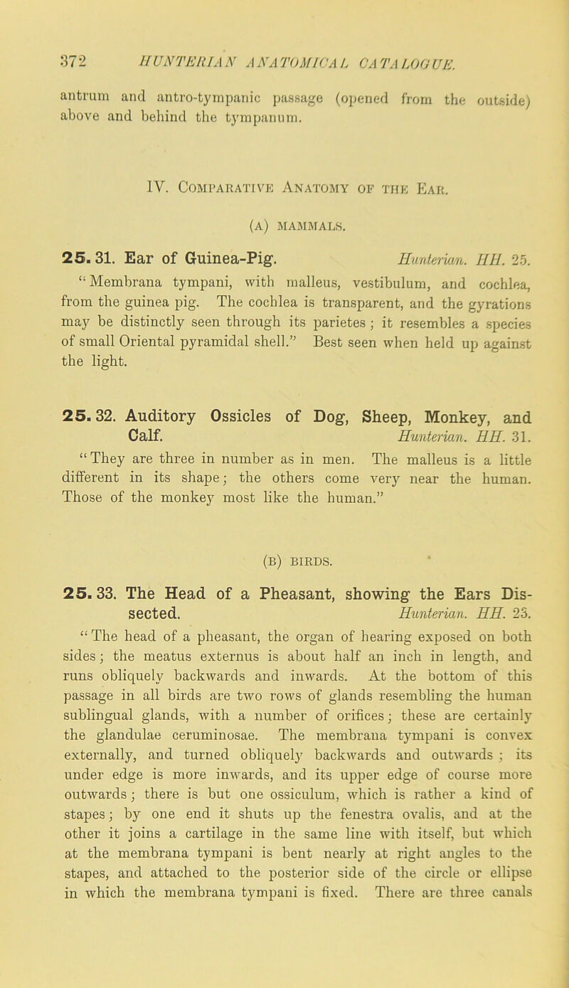 antrum and antro-tyinpanic passage (opened from the outside) above and behind tlie tympanum. IV. Comparative Anatomy of the Ear. (a) mammals. 25. 31. Ear of Guinea-Pig. Hunterian. IlH. 25. “Membrana tympani, with malleus, vestibulum, and cochlea, from the guinea pig. The cochlea is transparent, and the gyrations may be distinctly seen through its parietes; it resembles a .species of small Oriental pyramidal shell.” Best seen when held up against the light. 25.32. Auditory Ossicles of Dog, Sheep, Monkey, and Calf. Hunterian. HH. 31. “They are three in number as in men. The malleus is a little different in its shape; the others come A'ery near the human. Those of the monkey most like the human.” (b) birds. 25.33. The Head of a Pheasant, showing the Ears Dis- sected. Hunterian. HH. 23. “ The head of a pheasant, the organ of hearing exposed on both sides; the meatus externus is about half an inch in length, and runs obliquely backwards and inwards. At the bottom of this passage in all birds are two rows of glands resembling the human sublingual glands, with a number of orifices; these are certainly the glandulae ceruminosae. The membraua tympani is convex externally, and turned obliquely backwards and outwards ; its under edge is more inwards, and its upper edge of course more outwards; there is but one ossiculum, which is rather a kind of stapes j by one end it shuts up the fenestra ovalis, and at the other it joins a cartilage in the same line with itself, but which at the membrana tympani is bent nearly at right angles to the stapes, and attached to the posterior side of the circle or ellipse in which the membrana tympani is fixed. There are three canals