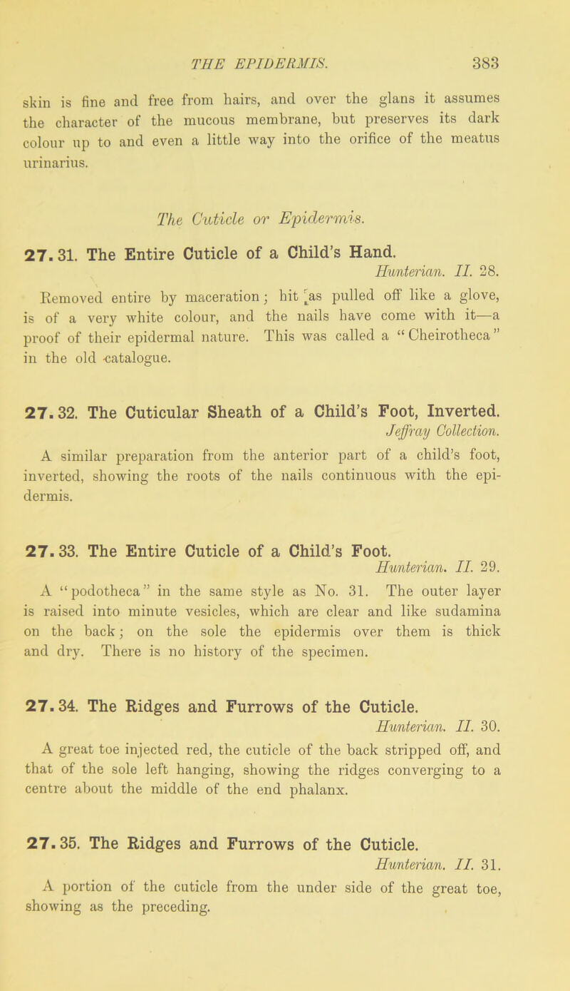 skin is fine and free from hairs, and over the glans it assumes the character of the mucous membrane, but preserves its dark colour up to and even a little way into the orifice of the meatus urinarius. The Cuticle or Epidermis. 27.31. The Entire Cuticle of a Child’s Hand. Hunterian. II. 28. Removed entire by maceration; hit [as pulled off like a glove, is of a very white colour, and the nails have come with it—a proof of their epidermal nature. This was called a “ Cheirotheca ” in the old catalogue. 27.32. The Cuticular Sheath of a Child’s Foot, Inverted. Jeffray Collection. A similar preparation from the anterior part of a child’s foot, inverted, showing the roots of the nails continuous with the epi- dermis. 27.33. The Entire Cuticle of a Child’s Foot. Hunterian. II. 29. A “podotheca” in the same style as No. 31. The outer layer is raised into minute vesicles, which are clear and like sudamina on the back; on the sole the epidermis over them is thick and dry. There is no history of the specimen. 27.34. The Ridges and Furrows of the Cuticle. Hunterian. II. 30. A great toe injected red, the cuticle of the back stripped off, and that of the sole left hanging, showing the ridges converging to a centre about the middle of the end phalanx. 27.35. The Ridges and Furrows of the Cuticle. Hunterian. II. 31. A portion of the cuticle from the under side of the great toe, showing as the preceding.