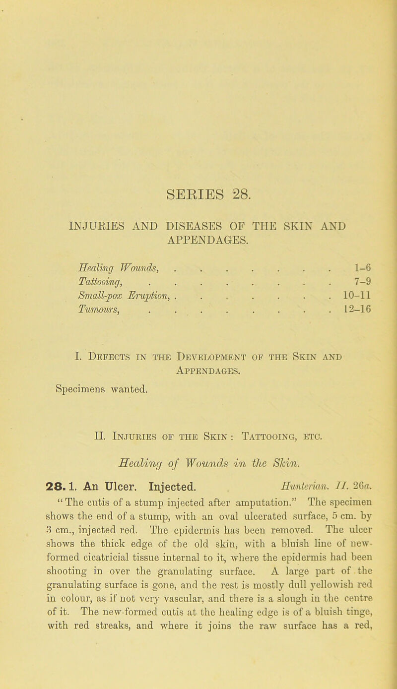 SEKIES 28. INJUEIES AND DLSEASES OF TPIE SKIN AND APPENDAGES. Healing Wounds, ....... 1-6 Tattooing, . . . . . . . . 7-9 Small-pox Eruption, ....... 10-11 Tumours, ........ 12-16 I. Defects in the Development of the Skin and Appendages. Specimens wanted. II. Injuries of the Skin : Tattooing, etc. Healing of Wounds in the Skin. 28.1. An Ulcer. Injected. Huntcrkm. II. 26a. “The cutis of a stump injected after amputation.” The specimen shows the end of a stump, with an oval ulcerated surface, 5 cm. by •3 cm., injected red. The epidermis has been removed. The ulcer shows the thick edge of the old skin, with a bluish line of new- formed cicatricial tissue internal to it, where the epidermis had been shooting in over the granulating surface. A large part of the granulating surface is gone, and the rest is mostly dull yellowish red in colour, as if not very vascular, and there is a slough iu the centre of it. The new-formed cutis at the healing edge is of a bluish tinge, with red streaks, and where it joins the raw surface has a red,