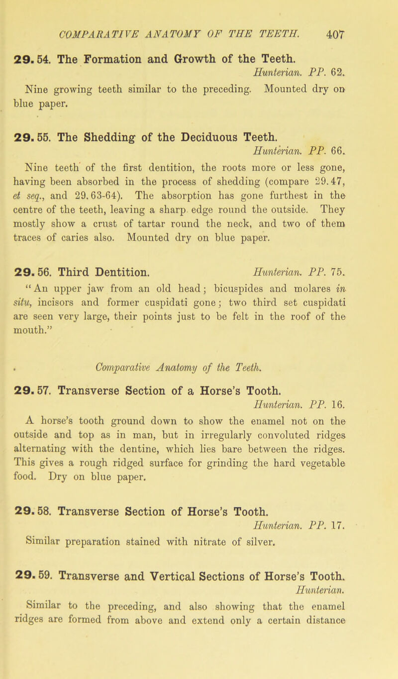 29.54. The Formation and Growth of the Teeth. Hunterian. PP. 62. Nine growing teeth similar to the preceding. Mounted dry on blue paper. 29.55. The Shedding1 of the Deciduous Teeth. Hunterian. PP. 66. Nine teeth of the first dentition, the roots more or less gone, having been absorbed in the process of shedding (compare 29.47, et seq., and 29.63-64). The absorption has gone furthest in the centre of the teeth, leaving a sharp, edge round the outside. They mostly show a crust of tartar round the neck, and two of them traces of caries also. Mounted dry on blue paper. 29. 56. Third Dentition. Hunterian. PP. 75. “An upper jaw from an old head; bicuspides and molares in situ, incisors and former cuspidati gone; two third set cuspidati are seen very large, their points just to be felt in the roof of the mouth.” . Comparative Anatomy of the Teeth. 29.57. Transverse Section of a Horse’s Tooth. Hunterian. PP. 16. A horse’s tooth ground down to show the enamel not on the outside and top as in man, but in irregularly convoluted ridges alternating with the dentine, which lies bare between the ridges. This gives a rough ridged surface for grinding the hard vegetable food. Dry on blue paper. 29.58. Transverse Section of Horse’s Tooth. Hunterian. PP. 17. Similar preparation stained with nitrate of silver. 29. 59. Transverse and Vertical Sections of Horse’s Tooth. Hunterian. Similar to the preceding, and also showing that the enamel ridges are formed from above and extend only a certain distance