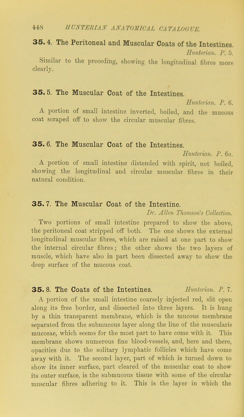 35. 4. The Peritoneal and Muscular Coats of the Intestines. Hunterian. P. 5. Similar to the preceding, showing the longitudinal fibres more clearly. 35.5. The Muscular Coat of the Intestines. Hunterian. P. 6. A portion of small intestine inverted, boiled, and the mucous coat scraped off to show the circular muscular fibres. 35. 6. The Muscular Coat of the Intestines. Hunterian. P. 6a. A portion of small intestine distended with spirit, not boiled, showing the longitudinal and circular muscular fibres in their natural condition. 35.7. The Muscular Coat of the Intestine. Dr. Allen Thomson’s Collection. Two portions of small intestine prepared to show the above, the peritoneal coat stripped off both. The one shows the external longitudinal muscular fibres, which are raised at one part to show the internal circular fibres; the other shows the two layers of muscle, which have also in part been dissected away to show the deep surface of the mucous coat. 35. 8. The Coats of the Intestines. Hunterian, P. 7. A portion of the small intestine coarsely injected red, slit open along its free border, and dissected into three layers. It is hung by a thin transparent membrane, which is the mucous membrane separated from the submucous layer along the line of the muscularis mucosae, which seems for the most part to have come with it. This membrane shows numerous fine blood-vessels, and, here and there, opacities due to the solitary lymphatic follicles which have come away with it. The second layer, part of which is turned down to show its inner surface, part cleared of the muscular coat to show its outer surface, is the submucous tissue with some of the circular muscular fibres adhering to it. This is the layer in which the