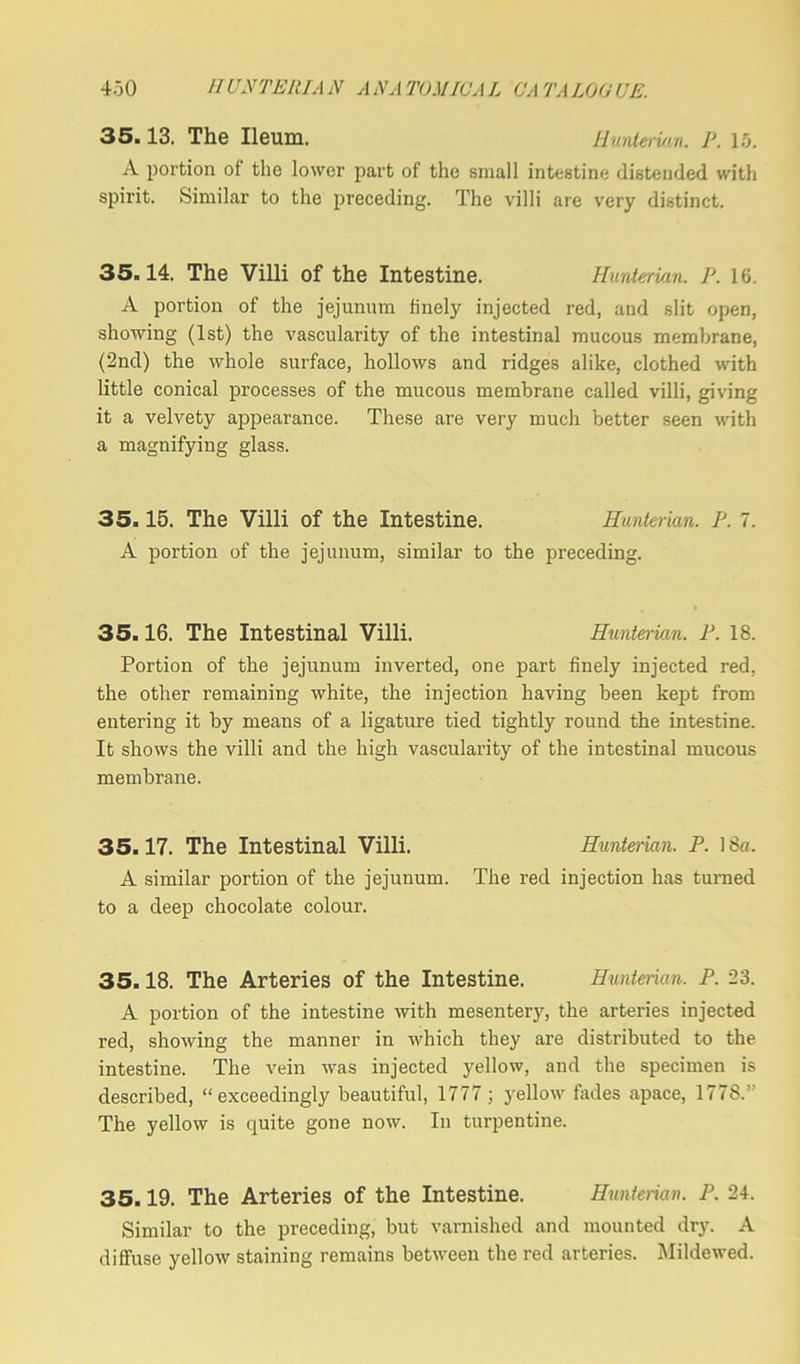 35.13. The Ileum. Hunterian. P. 15. A portion of the lower part of the small intestine distended with spirit. Similar to the preceding. The villi are very distinct. 35.14. The Villi of the Intestine. Hunterian. P. 16. A portion of the jejunum finely injected red, and slit open, showing (1st) the vascularity of the intestinal mucous membrane, (2nd) the whole surface, hollows and ridges alike, clothed with little conical processes of the mucous membrane called villi, giving it a velvety appearance. These are very much better seen with a magnifying glass. 35.15. The Villi of the Intestine. Hunterian. P. 7. A portion of the jejunum, similar to the preceding. 35.16. The Intestinal Villi. Hunterian. P. 18. Portion of the jejunum inverted, one part finely injected red, the other remaining white, the injection having been kept from entering it by means of a ligature tied tightly round the intestine. It shows the villi and the high vascularity of the intestinal mucous membrane. 35.17. The Intestinal Villi. Hunterian. P. 18a, A similar portion of the jejunum. The red injection has turned to a deep chocolate colour. 35.18. The Arteries of the Intestine. Hunterian. P. 23. A portion of the intestine with mesentery, the arteries injected red, showing the manner in which they are distributed to the intestine. The vein was injected yellow, and the specimen is described, “exceedingly beautiful, 1777 ; yellow hides apace, 1778.” The yellow is quite gone now. In turpentine. 35.19. The Arteries of the Intestine. Hunterian. P. 24. Similar to the preceding, but varnished and mounted dry. A diffuse yellow staining remains between the red arteries. Mildewed.